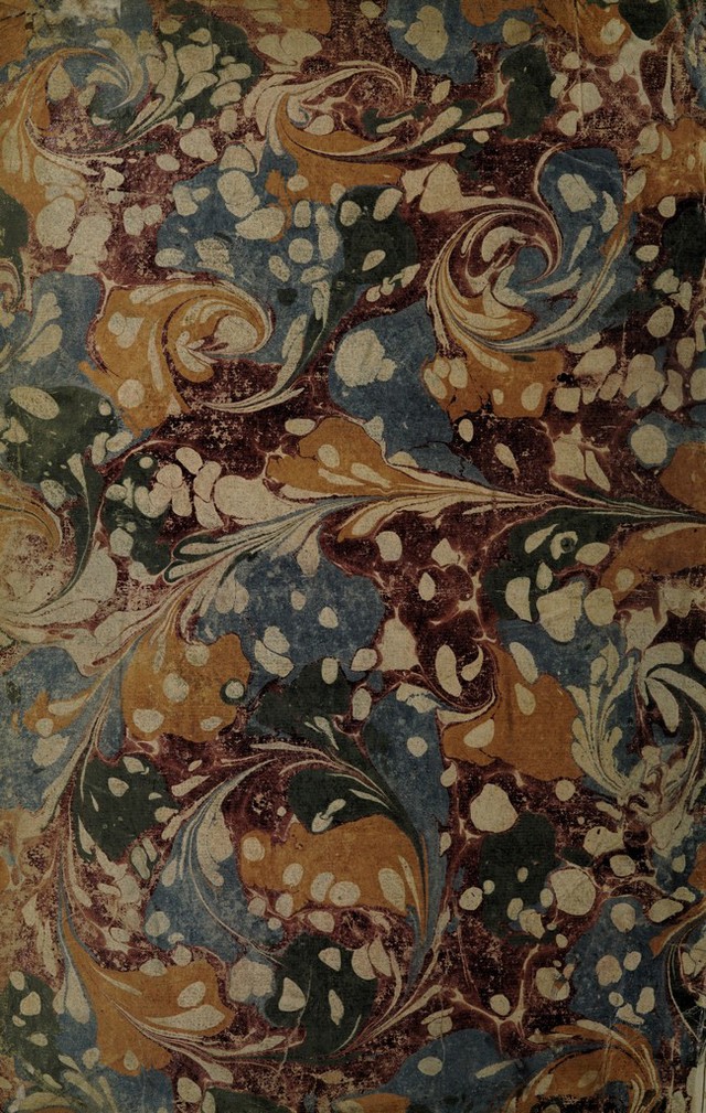 No text description is available for this image