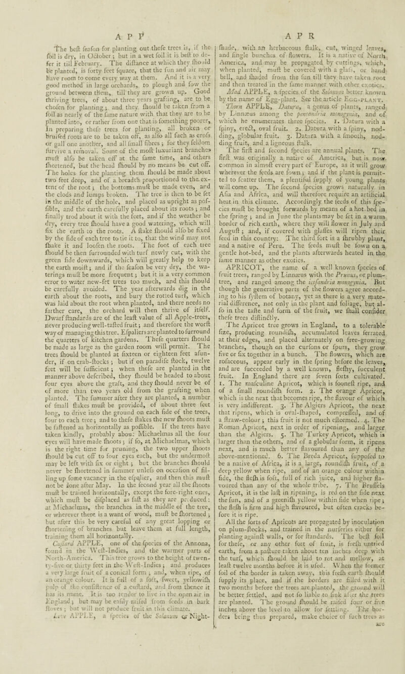 The belt feafon for planting out thefe trees is, if the foil is dry, in October ; but in a wet foil it is belt to de¬ fer it till February. The diftance at which they fho.ild be planted, is forty feet fquare, that the lun and air may have reom to come every way at them. And it is a very good method in large orchards, to plough and fovv the ground between them, till they are grown up. Good thriving trees, of about three years grafting, are to be chofen for planting ; and they fhould be taken from a foil as nearly of the fame nature with that they are to be planted into, or rather from one that is fomething poorer. In preparing thefe trees for planting, all broken or bruifed roots are to be taken off, as alio all fuch as crofs or gall one another, and all fmall fibres ; for they felJom lurvive a removal. Some of the moft luxunant branches muff alfo be taken oil’ at the fame time, and others fhortened, but the head fhould by no means be cut off. The holes for the planting them fhould be made about two feet deep, and of a breadth proportioned to the, ex¬ tent of the root; the bottoms muff be made even, and the clods and lumps broken. The tree is then to be fet in the middle of the hole, and placed as upright as pof- fible, and the earth carefully placed about its roots ; and finally trod about it with the feet, and if the weather be dry, every tree fhould have a good watering, which will fix the earth to the roots. A flake fhould alio be fixed by the fide of each tree to tie it to, that the wind may not fbake it and loofen the roots. The foot of each tree fhould be then furrounded with turf newly cut, with the green fide downwards, which will greatly help to keep the earth moift; and if the feafon be very dry, the wa¬ terings muff be more frequent; but it is a very common error to water new-fet trees too much, and this fhould be carefully avoided. The year afterwards dig in the earth about the roots, and bury the rotted turf, which was laid about the root when planted, and there needs no farther care, the orchard will then thrive of itfelf. Dwarf ffandards are of the leaft value of all Apple-trees, never producing well-tailed fruit; and therefore the worft way of managing this tree. Efpaliersare planted toiurround the quarters of kitchen gardens. I hefe quarters fhould be made as large as the garden room will permit. I he trees fhould be planted at iixteen or eighteen feet afun- der, if on crab-ffocks ; but if on paradife flock, twelve feet will be fufficient ; when thefe are planted in the manner above deferibed, they fhould be headed to about four eyes above the graft, and they fhould never be of of more than two years old from the grafting when planted. The fummer after they are planted, a number of fmall flakes muft be provided, of about three feet long, to drive into the ground on each fide ot the trees, four to each tree ; and to thefe flakes the new fhoots muft be fattened as horizontally as poftible. If the trees have taken kindly, probably about Michaelmas all the four eyes will have made fhoots; if fo, at Michaelmas, which is the right time for pruning, the two upper fhoots fhould be cut off to four eyes each, but the undermofl may be left with fix or eight ; but the branches fhould never be fhortened in fummer unlefs on occafion of fil¬ ling up fome vacancy in the efpalier, and then this muft not be done after May. In the fccond year all the fhoots muft be trained horizontally, except the fore-right ones, which muft be difplaced as faft as they arc produced: at Michaelmas, the branches in the middle of the tree, or wherever there is a want of wood, muft be fhortened ; but after this be very careful of any great lopping or fhortening of branches but leave them at full length, training them all horizontally. Cujiard APPLE, one of the fpecics of the Annona, found in the Weft-Indies, and the warmer parts of North-America. This tree grows to the height of twen¬ ty -five or thirty feet in the Weft-Indies ; and produces - very large fruit of a conical form ; and, when ripe, of an orange colour. It is full of a foft, fweet, yellowifh i 'dp of the confiftence of a cuftard, and from thence it has its name. It is too tender to live in the open air in England ; but may be eafily railed from feeds in bark floves ; but will not produce fruit in this climate. L. < APPLE, a fpecics of the Solar.urn or Night- ftnude, with an herbaceous ftalk, cut, winged leaves, and fingle bunches of flowers. It is a native of North America, and may be propagated by cuttings, which, when planted, muft be covered with a glafs, or band bell, and lhaded from the fun till they have taken root and then treated in the fame manner with other exotics. Mad APPLE, a fpecies of the Solan; n better known bythenameof Egg-plant. Sec the article Egg-plant. 'Thorn APPLE, Datura, a genus of plants, ranged by Linnaeus among the pentandria monogynia, and of which he enumerates three fpecies. I. Datura with a fpiny, ere£l, oval fruit. 2. Datura with a fpiny, nod¬ ding, globular fruit. 3. Datura with a fmocth, nod¬ ding fruit, and a ligneous ftalk. The firft and fecond fpecies are annual plants. The firft was originally a native of America, but is now common in almoft every part of Europe, as it will grow wherever the feeds are ibwn ; and if the plant is permit¬ ted to fcatter them, a plentiful fupply of young plants will come up. The fccond fpecies grows naturally in Afia and Africa, and will therefore require an artificial heat in this climate. Accordingly the feeds of this fpe¬ cies muft be brought forwards by means of a hot-bed in the fpring ; and in June theplantsmay be fet in a warm border of rich earth, where they will flower in July and Auguft ; and, if covered with glaffes will ripen their feed in this country: The third fort is a fhrubby planr, and a native of Peru. The feeds muft be fown on a gentle hot-bed, and the plants afterwards heated in the fame manner as other exotics. APRICOT, the name of a well known fpecies of fruit trees, ranged by L innaeus with the Ptunus, or plum- tree, and ranged among the icofandria monogynia. But though the generative parts of the flowers agree accord¬ ing to his fyilem of botany, yet as there is a very mate¬ rial difference, not only in the plant and foliage, but al¬ fo in the tafte and form of the fruit, we Ihall confider thefe trees diftindtly. The Apricot tree grows in England, to a tolerable fize, producing roundifti, accumulated leaves ferrated at their edges, and placed alternately on free-growing branches, though on the curfons or fpurs, they grow five or fix together in a bunch. The flowers, which are rofaceous, appear early in the fpring before the leaves, and are fucceeded by a well known, fleftiy, fucculent fruit. In England there are feven forts cultivated. 1. The mafeuline Apricot, which is fooneft ripe, and of a fmall roundifti form. 2. The orange Apricot, which is the next that becomes ripe, the flavour of which is very indifferent. 3. The Algiers Apricot, the next that ripens, which is oval-fhaped, compreffed, and of a flraw-colour; this fruit is not much efteemed. 4. The Roman Apricot, next in order of ripening, and larger than the Algiers. 5. The Turkey Apricot, which is larger than the others, and of a globular form, it ripens next, and is much better flavoured than any of the above-mentioned. 6. The Breda Apricot, fuppofed to be a native of Africa, it is a large, roundifti fruit, of a deep yellow when ripe, and of an orange colour within fide, the flefti is foft, full of rich juice, and higher fla¬ voured than any of the whole tribe, y. The Bruflels Apricot, it is the laft in ripening, is red on the fide next the fun, and of a greenifh yellow within fide when ripe; the flefti is firm and high flavoured, but often cracks be¬ fore it is ripe. All the forts of Apricots are propagated by inoculation on plum-ftocks, and trained in the nurferies either for planting againft walls, or for ftandards. The beft foil for thefe, or any other fort of fruit, is frefb untried earth, from a pafture taken about ten inches deep with the turf, which ftiould be laid to rot and mellow, at leaft twelve months before it is ufed. \\ hen the former foil of the border is taken away, this freffi earth fhould fupply its place, and if the borders are filled with it two months before the trees are planted, the ground will be better fettled, and not fo liable to fink after the trees are planted. The ground ftiould be railed four or five inches above the level to allow for fettling. The hol¬ ders being thus prepared, make choice of fueh trees as are
