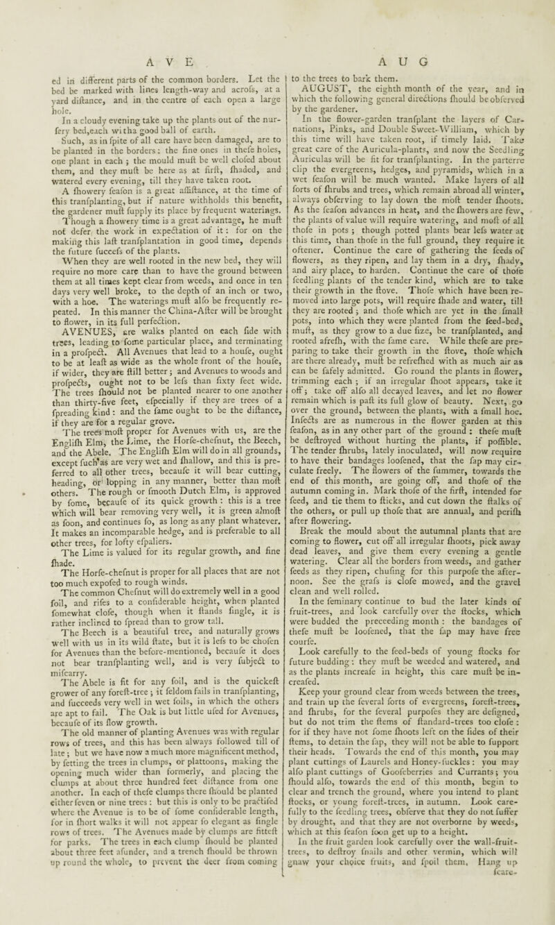 ed in different parts of the common borders. Let the bed be marked with lines length-way and acrofs, at a yard diftance, and in the centre of each open a large hole. In a cloudy evening take up the plants out of the nur- fery bed,each witha good ball of earth. Such, as in fpite of all care have been damaged, are to be planted in the borders: the fine ones in thefe holes, one plant in each ; the mould muff be well doled about them, and they muff be here as at fil'd, (haded, and watered every evening, till they have taken root. A (howery fealbn is a gieat affiftance, at the time of this tranfplanting, but if nature withholds this benefit, the gardener mull fupply its place by frequent waterings. Though a (howery time is a great advantage, he muff not defer the work in expe&ation of it: for on the making this lad tranfplantation in good time, depends the future fuccefs of the plants. When they are well rooted in the new bed, they will require no more care than to have the ground between them at all times kept clear from weeds, and once in ten days very well broke, to the depth of an inch or two, with a hoe. The waterings muff alfo be frequently re¬ peated. In this manner the China-After will be brought to flower, in its full perfection. AVENUES, £re walks planted on each fide with trres, leading to fome particular place, and terminating in a orofpedl. All Avenues that lead to a houfe, ought to be* at lead as wide as the whole front of the houfe, if wider, they are Hill better; and Avenues to woods and profpetts, ought not to be lefs than fixty feet wide. The trees fhould not be planted nearer to one another than thirty-five feet, efpecially if they are trees of a fpreading kind: and the fame ought to be the diftance, if they are for a regular grove. The trees moft proper for Avenues with us, are the Englilh Elm, the Lime, the Horfe-chefnut, the Beech, and°the Abele. The Englilh Elm will do in all grounds, except fiich*as are very wet and (hallow, and this is pre¬ ferred to all bther trees, becaufe it will bear cutting, heading, or' lopping in any manner, better than moft others. The rough or fmooth Dutch Elm, is approved by fome, becaufe of its quick growth : this is a tree which will bear removing very well, it is green almoft as foon, and continues fo, as long as any plant whatever. It makes an incomparable hedge, and is preferable to all other trees, for lofty efpaliers. The Lime is valued for its regular growth, and fine lhade. The Horfe-chefnut is proper for all places that are not too much expofed to rough winds. The common Chefnut will do extremely well in a good foil, and rifes to a confiderable height, when planted fomewhat clofe, though when it (lands fingle, it is rather inclined to ipread than to grow tall. The Beech is a beautiful tree, and naturally grows well with us in its wild (late, but it is lefs to be chofen for Avenues than the before-mentioned, becaufe it does not bear tranfplanting well, and is very fubjeCl to mifearry. The Abele is fit for any foil, and is the quickeft grower of any foreft-tree ; it feldom fails in tranfplanting, and fucceeds very well in wet foils, in which the others are apt to fail. The Oak is but little ufed for Avenues, becaufe of its flow growth. The old manner of planting Avenues was with regular rows of trees, and this has been always followed till of late ; but we have now a much more magnificent method, by fetting the trees in clumps, or plattoons, making the opening much wider than formerly, and placing the clumps at about three hundred feet diftance from one another. In each of thefe clumps there fhould be planted cither feven or nine trees: but this is only to be praftifed where the Avenue is to be of fome confiderable length, for in (hort walks it will not appear fo elegant as fingle rows of trees. The Avenues made by clumps are fitted for parks. The trees in each clump (hould be planted about three feet afunder, and a trench fhould be thrown up round the whole, to prevent the deer from coming to the trees to bark them. AUGUST, the eighth month of the year, and in which the following general directions fhould beobferved by the gardener. In the flower-garden tranfplant the layers of Car¬ nations, Pinks, and Double Sweet-William, which by this time will have taken root, if timely laid. Take great care of the Auricula-plants, and now the Seedling Auriculas will be fit for tranfplanting. In the parterre clip the evergreens, hedges, and pyramids, which in a wet feafon will be much wanted. Make layers of all forts ot (lirubs and trees, which remain abroad all winter, always obferving to lay down the moft tender (hoots. As the feafon advances in heat, and the (bowers are few, the plants of value will require watering, and mod of all thofe in pots ; though potted plants bear lefs water at this time, than thofe in the full ground, they require it oftener. Continue the care of gathering the feeds of flowers, as they ripen, and lay them in a dry, (hady, and airy place, to harden. Continue the care of thofe feedling plants of the tender kind, which are to take their growth in the (love. Thofe which have been re¬ moved into large pots, will require (hade and water, till they are rooted ; and thofe which are yet in the (mall pots, into which they were planted from the feed-bed, mud, as they grow to a due fize, be tranfplanted, and rooted afrelh, with the fame care. While thefe are pre¬ paring to take their growth in the (love, thofe which are there already, mult be refrefhed with as much air as can be fafely admitted. Go round the plants in flower, trimming each ; if an irregular (hoot appears, take it off; take off alfo all decayed leaves, and let no flower remain which is paft its full glow of beauty. Next, go over the ground, between the plants, with a fmall hoe. InfeCls are as numerous in the flower garden at this feafon, as in any other part of the ground : thefe mud be deftroyed without hurting the plants, if pofiible. The tender (hrubs, lately inoculated, will now require to have their bandages loofened, that the fap may cir¬ culate freely. The flowers of the fummer, towards the end of this month, are going off, and thofe of the autumn coming in. Mark thofe of the firft, intended for feed, and tie them to (licks, and cut down the ftalks of the others, or pull up thofe that are annual, and peri(h after flowering. Break the mould about the autumnal plants that are coming to flower, cut off all irregular (hoots, pick away dead leaves, and give them every evening a gentle watering. Clear all the borders from weeds, and gather feeds as they ripen, chufing for this purpofe the after¬ noon. See the grafs is clofe mowed, and the gravel clean and well rolled. In the feminary continue to bud the later kinds of fruit-trees, and look carefully over the (locks, which were budded the preceeding month : the bandages of thefe mull be loofened, that the fap may have free courfe. Look carefully to the feed-beds of young (locks for future budding : they mult be weeded and watered, and as the plants increafe in height, this care mull be in- creafed. Keep your ground clear from weeds between the trees, and train up the feveral forts of evergreens, forell-trees, and (hrubs, for the feveral purpofes they are defigned, but do not trim the Items of (landard-trees too clofe : for if they have not fome (hoots left on the fides of their (terns, to detain the fap, they will not be able to fupport their heads. Towards the end of this month, you may plant cuttings of Laurels and Honey-fuckles : you may alfo plant cuttings of Goofeberries and Currants; you (hould alfo, towards the end of this month, begin to clear and trench the ground, where you intend to plant (locks, or young forelt-trces, in autumn. Look care¬ fully to the feedling trees, obferve that they do not fuffer by drought, and that they are not overborne by weeds, which at this feafon foon get up to a height. In the fruit garden look carefully over the wall-fruit- trees, to deftroy fnails and other vermin, which will gnaw your choice fruits, and fpoil them. Hang up fcare-