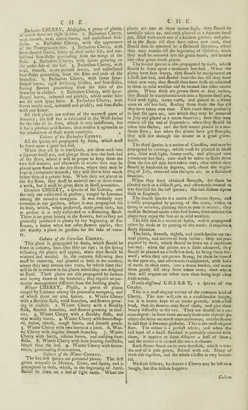 CUE garbages CHERRY, Malpighia, a genus of plants, of which there are eight fpecies. I. Barbadoes Cherry, with fmooth, oval, entire leaves, and umbellated foot- Balks. 2. Barbadoes Cherry, with the appearance of the Pomegranate-tree. 3. Barbadoes Cherry, with fpear-fhaped leaves, hoary on their under fide, and um¬ bellated foot-ftalks proceeding from the wings of the ftalk. 4. Barbadoes Cherry, with fpines growing on the under fide of the leaf. 5* Barbadoes Cherry, with oval, fmooth, acute-pointed leaves, and umbellated foot-ftalks proceeding from the fides and ends of the branches. 6. Barbadoes Cherry, with linear fpear- Ihaped leaves, rigid declining briftles, and foot-ftalks, having flowers proceeding from the fides of the branches in clufters. 7. Barbadoes Cherry, with fpear- fhaped leaves, indented and prickly, whole under lides are fet with fpiny hairs. 8. Barbadoes Cherry, with leaves nearly oval, indented and prickly, and foot-ftalks with one flower. All thefe plants are natives of the warmeft parts of America ; the firft fort is cultivated in the Weft-Indies for the fake of its fruit, which is very indifferent, but it has a pleafant acid flavour, that renders it agreeable to the inhabitants of thofe warm countries. Culture of the Barbadoes Cherry. All the fpecies are propagated by feeds, which muft be fown upon a good hot-bed. • When they are lit to tranfplant, put them each into a feparate fmall pot, and plunge them into the bark-bed of the ftove, where it will be proper to keep them the two firft winters, and afterwards in winter they may be placed upon ftands in the dry-ftove, where they may be kept in a temperate warmth ; they will thrive here much better than in a greater heat. When they are placed in the dry ftove, they muft be watered two or three times a week, but it muft be given them in fmall quantities. Cornelian CHERRY, a fpecies of the Cornus, and the only one cultivated in gardens; ranged by Linnaeus among the letandria monogynia. It was formerly very common in our gardens, where it was propagated for its fruit, which, when preferved, made good tarts, but at prefent it is only cultivated as a flowering fhrub. There is no great beauty in the flowers, but as they are generally produced in plenty by the beginning of Fe¬ bruary, a feafon when few other flowers appear, they are worthy a place in gardens for the fake of varie¬ ty- Culture of the Cornelian Cherry. This plant is propagated by feeds, which fhould be fown in autumn, foon after they are ripe ; in the fpring following the plants will appear, when they fhould be watered and weeded. In the autumn following they muft be removed, and planted in beds in the nurfery, where they may remain two years, by which time they will be fit to remove to the places where they are defigned to ftand. Thefe plants are alfo propagated by fuckers and laying down of the branches; they require no par¬ ticular management different from the feedling plants. IVinter CHERRY, Phvfilis, a genus of plants ranged by Linnaeus among the pentandria monogynia., and of which there are nine fpecies. 1. Winter Cherry with a fhrubby ftalk, creel branches, and flowers grow¬ ing in clufters. 2. Winter Cherry with a fhrubby ftalk, flexible branches, and flowers growing in cluf¬ ters. 3. Winter Cherry with a fhrubby ftalk, and oval woolly leaves. 4. Winter Cherry with heart-fhap- ed, entire, obtufe, rough leaves, and fmooth petals. 5. Winter Cherry with two leaves at a joint. 6. Win¬ ter Cherry with angular fmooth branches. 7. Winter Cherry with hairy, vifeous leaves, and nodding foot- ftalks. 8. Winter Cherry with fruit bearing footftalks, longer than the leaf. 9. Winter Cherry with farina¬ ceous, germinating divarications. Culture of the IVinter Cherry. The five firft fpecies are perennial plants. The firft grows naturally in Mexico, Crete, and Spain, and is propagated by feeds, which, in the beginning of April, ftiould be fowu on a bed of light earth. When the C H E plants are two or three inches high, they fhould be carefully taken up, and each planted in a feparate fmall pot, filled with earth out of a kitchen garden, and plac¬ ed in the fhade till they have taken new root, they fhould then be removed to a flickered fituation, where they may remain till the beginning of October, when they muft be removed into the green-houfe, and treated like other green-houfe plants. The fecond fpecies is alfo propagated by feeds, which fhould be fown upon a moderate hot-bed. , When the plants have four leaves, they fhould be tranfplanted on a frefh hot-bed, and fhaded from the fun till they have taken new root, they fhould then have frefh air admitted to them in mild weather and be treated like other exotic plants. When thefe are grown three or four inches, they fhould be tranfplanted each into a feparate fmall pot, filled with light, loamy earth, and placed in a frame upon an old hot-bed, fhading them from the fun till they have taken new root. Then inure them gradually to bear the open air, into which they may be removed in July and placed in a warm fituation ; here they may remain till the end of September, when they fhould be taken into fhelter, and the firft winter placed in a mo¬ derate ftove ; but when the plants have got ftrength, they will live through the winter in a good green- houfe. The third fpecies is a native of Curaffao, and maybe propagated by cuttings, which muft be planted in fmall pots, filled with light, loamy earth, and plunged into a moderate hot-bed ; care muft be taken to fhade them from the fun till they have taken root; after which they fhould be hardened by degrees, and, about the begin¬ ning of July, removed into the open air, in a fheltered fituation. When they have obtained ftrength, let them be planted each in a diftiniEt pot, and afterwards treated as was directed for the laft fpecies ; this fort leldom ripens feeds in England. The fourth fpecies is a native of Buenos Ayres, and is eafily propagated by parting of the roots, either in fpring or autumn, planting them in pots in winter ; they muft be fheltered under a hot-bed frame, from whence tha plants may enjoy the free air in mild weather. The fifth fort is a native.of India, and is propagated either by feeds or by parting of the roots : it requires a. fhady fituation. The fixth, feventh, eighth, aud ninth fpecies are an¬ nual plants, and natives of both Indies: they are pro¬ pagated by feeds, which fhould be fown on a moderate hot-bed : when the plants are a little advanced, they fhould be planted on a frefh hot-bed, to bring them for¬ ward ; when they are grown ftrong, let them be inured to the open air, and afterwards tranfplanted, with balls of eaith to their roots, into a warm border, and water them gently till they have taken root; aftef which they will require no other care than being kept clear from weeds. D ouble-bloffomed CHERRY, a fpecies of the Cerafus. This is a moft elegant variety of the common kind of Cherry. The tree will rife to a confiderable height, but it is better kept to an under growth, with a full head, that its flowers may ftand clofe, and give their beauty diftin&ly to the eye. They aie double in a va¬ rious degree : in fome there are only three rows of petals ;jm others the feries are much more numerous, and the flower fo full that it becomes globular. This is the moft elegant ftate. The colour is a perfect white; and when the full head of a fmall ftandard is profufely covered with them, it appears at fome diftance a ball of fnow; and the nearer it is viewed the more it charms. Each flower ftands on its own footftalk, which is ten¬ der and of a pale green, ftained with red. Many of thefe rife together, and the whole clufter is very beauti¬ ful. No fruit follows, by chance a Cherry may be left on a bough, but this feldom happens. Cult lift