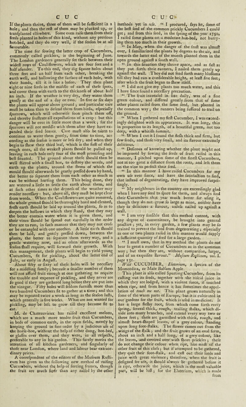 If the plants thrive, three of them will be fufficient in a hole; and then the reft of them may be plucked up, or tranfplanted elfewhere. Some even raife them from their feeds planted in holes of this kind, without any previous hot-bed, and they do very well, if the feafon be at all favourable. The time for fowing the latter crop of Cucumbers, commonly called picklers, is the beginning of June. The London gardeners generally fet thefe between their wideft rows of Cauliflowers, which are four feet and a half afunder. To this end, they dig fquare holes about three feet and an half from each other, breaking the earth well, and hollowing the furface of each hole, with their hands, till it is like a bafon. They then plant eight or nine feeds in the middle of each of thefe fpots, and cover them with earth to the thicknefs of about half an inch. If the weather is very dry, they water them gently at the end of a day or two. In five or fix days the plants wiil appear above ground ; and particular care muft be taken then to defend them from birds, efpecially fparrows, which will otherwife foon pinch them off, and thereby fruftrateall expectations of a crop : but this danger will be over in little more than a week ; for the fparrows will not meddle with them after they have ex¬ panded their feed leaves. Care muft alfo be taken to continue to water them gently, from time to time, ac¬ cording as the feafon is more or lefs dry; and when they begin to fhew their third leaf, which is the firft of their rough ones, all the weakeft plants fhould be pulled up, leaving in each hole only four of the moft promifing and beft fituated. The ground about thefe fhould then be well ftirred with a fmall hoe, to deftroy the weeds, and earth up the plants, around the Items of which the mould fhould afterwards be gently preffed down by hand, the better to feparate them from each other as much as can be without hurting them. This being done, they are watered a little to fettle the earth about them, and at fuch other times as the drynefs of the weather may render neceffary : but, above all, they muft be kept clear from weeds. When the Cauliflowers are quite removed, the whole around fhould be thoroughly hoed and cleaned, frefh earth fhould be laid up around the plants, fo as to deepen the hollows in which they ftand, that they may the better contain water when it is given them, and their vines fhould be fpread out carefully in the order they are to run, in fuch manner that they may not crofs or be entangled with one another. A little eaith fhould then be laid, and gently preffed down, between the plants, the better to feparate them every way, and a gentle watering now, and as often afterwards as the feafon fhall require, will forward their growth. With this management, thefe plants will begin to yield young Cucumbers, fit for pickling, about the latter end of July, or early in Auguft. About fifty or fixty of thefe holes will be neceffary for a middling family; becaufe a fmaller number of them will not afford fruit enough at one gathering to requite the trouble and expence of pickling, and they never are fo good if they are gathered long before they are put into the vinegar. Fifty holes will feldom furnifh more than two hundred Cucumbers fit to gather at a time; and this may be repeated twice a week as long as the feafon lafts, which generally is five weeks. What are not wanted for pickling, may be left to grow till they become fit to cat. M. de Chateauvieux has raifed excellent melons, which are a much more tender fruit than Cucumbers, in beds of common earth, in the open fields, merely by keeping the ground in fine order by a judicious ufe of the horfe-hoe, without the help of either dung, hot-bed, or glaffes over them, and they were, in all refpedls, preferable to any in his garden. This furely merits the attention of all kitchen gardeners, and Angularly of thofe near London, where land and labour bear extraor¬ dinary prices. A correfpondent of the editors of the Mufeum Rufti- cum has given us the following new method of raifing Cucumbers, without the help of forcing frames, though the fruit are much fiuer than any raifed by the other methods yet in ufe. “ I procured, fays he, fome of the beft feed of the common prickly Cucumbers I could get; and from this feed, in the fpring of the year 1750, I raifed fome plants on a moderate hot-bed, not hurry¬ ing them too much in their growth. “ In May, when the danger of the froft was almoft over, I familiarized the plants by degrees to the air, and towards the latter end of the month planted them in the open ground againft a fouth wall. “ In this fituation they throve apace, and as faft as they put forth their runners, I nailed them gently up againft the wall. They did not fend forth many bloffoms till they had run a confiderable height, at leaft five feet; after which the fruit began to fhew itfelf. “ I did not give my plants too much water, and this I have fince found a neceffary precaution. “ The fruit increafed in fize daily, was of a fine green colour, and differed greatly from that of fome other plants raifed from the fame feed, but planted in the common way; the runners being fuffered to trail on the ground. “ When I gathered my firft Cucumber, I was exceed¬ ingly delighted with its appearance. It was long, thin in proportion to its length, of a beautiful green, not too deep, with a whitifh fummit. “ When I cut it I found the flefli thick and firm, but few feeds, and thofe very fmall, and its flavour extremely delicious. “ Defirous of knowing whether the plant might not be improved by fowing the feeds of fruit raifed in this manner, I pitched upon fome of the fineft Cucumbers, not at too great a diftance from the roots, and left them on the vine to perfect their feed. “ In this manner I have raifed Cucumbers for my own ufe ever fince, and have the fatisfadlion to find, that inftead of degenerating, they have improved furpri- fingly. “ My neighbours in the country are exceedingly glad when I have any feed to fpare for them, and always find their Cucumbers that year much better for ufing it, though they do not grow fo large as mine, neither have they fo delicious a flavour, unlefs nailed up againft a wall. “ I am very fenfible that this method cannot, with any degree of convenience, be brought into general pradlice ; yet, in every garden, a few plants may be fo trained to prevent the feed from degenerating ; efpecially as one or two plants raifed in this manner would f'upply a fufficient quantity of feed for a large garden. “ I muft own, that in my method the plants do not bear fo great a number of Cucumbers as in the common way ; but then they are, without comparifon, larger, and of an exquifite flavour.” Mufeum Riflicum, vol. I. page 131. Wild CUCUMBER, Elaterium, a fpecies of the Momordica, or Male Balfam Apple. This plant is alfo called Spurting Cucumber, from its calling out its feeds, together with the vifcid juice in which they are lodged, with a violent force, if touched when ripe, and from hence it has fometimes the appel¬ lation of touch me not. This plant grows naturally in fome of the warm parts of Europe, but it is cultivated in our gardens for the fruit, which is ufed in medicine. It has a large flefhy root, from which come forth every fpring, feveral thick, rough, trailing ftalks, which di¬ vide into many branches, and extend every way two or three feet ; thefe are garnifhed with thick, rough, and almoft heart-fhaped leaves, of a grey colour, ftanding upon long foot-ftalks. The flower comes out from the wings of the ftalk ; and the fruit grows of an oval form, about an inch and a half long, of a grey colour, like the leaves, and covered over with fhort prickles ; thefe do not change their colour when ripe, like moft of the other fruit of this clafs ; but if attempted to be gathered, they quit their foot-ftalk, and caft out their feeds and juice with great violence; therefore, when the fruit is defigned for ufe, it fhould always be gathered before it is ripe, otherwife the juice, which is the moft valuable part, will be loft ; for the Elaterium, which is made from