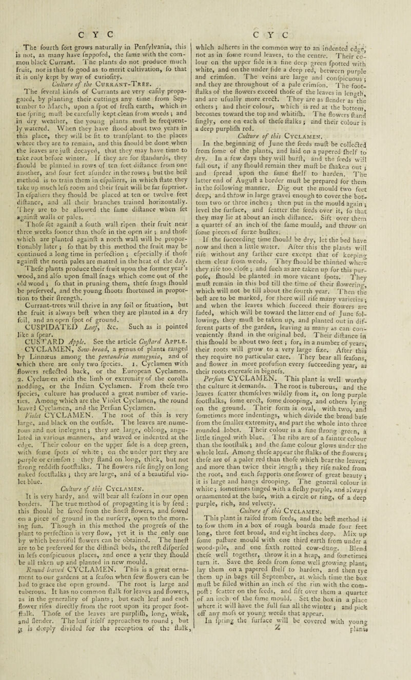 CYC The fourth fort grows naturally in Penfylvania, this is not, as many have fnppofed, the fame with the com¬ mon black Currant. The plants do not produce much fruit, nor is that fo good as to merit cultivation, fo that it is only kept by way of curiofity* Culture of the Currant-Tree. The feveral kinds of Currants are very eafily propa¬ gated, by planting their cuttings any time from Sep¬ tember to March, upon a fpot of freih earth, which in the fpring mult be carefully kept clean from weeds ; and in dry weather, the young plants mull be frequent¬ ly watered. When they have ftood about two years in this place, they will be fit to tranfplant to the places where they are to remain, and this fhould be done when the leaves are iuft decayed, that they may have time to take root before winter. If they are for ftandards, they faould be planted in rows of ten feet diftance from one another, and four feet afunder in the rows; but the bell method is to train them in efpaliers, in which ftate they take up much lefs room and their iruit will be far luperior. In efpaliers they fhould be placed at ten or twelve feet diftance, and all their branches trained horizontally. They are to be allowed the fame diftance when fet again!! walls or pales. Thofe fet againft a fouth wall ripen their fruit near three weeks fooner than thofe in the open air ; and thofe which are planted againft a north wall will be propor- tionably later ; fo that by this method the fruit may be continued a longtime in perfection ; efpecially if thofe againft the north pales are matted in the heat of the day. Thefe plants produce their fruit upon the former year’s wood, and alio upon fmall fnags which come out of the old wood ; fo that in pruning them, thefe fnags fhould be preferved, and the young (hoots fhortened in propor¬ tion to their ftrength. Currant-trees will thrive in any foil or fituation, but the fruit is always beft when they are planted in a dry foil, and an open fpot of ground. CUSPIDATED Leaf be. Such as is pointed like a fpear. CUS EAR.D Apple. See the article Cujlard Apple. CYCLAMEN, Sow bread, a genus of plants ranged by Linmeus among the pentandria rnonogyma, and of which there are only two fpecies. i. Cyclamen with flowers refle&ed back, or the European Cyclamen. 2. Cyclamen with the limb or extremity of the corolla nodding, or the Indian Cyclamen. From thefe two fpecies, culture has produced a great number of varie¬ ties. Among which are the Violet Cyclamen, the round leavel Cyclamen, and the Perfian Cyclamen. Violet CYCLAMEN. The root of this is very large, and black on the outftde. The leaves are nume¬ rous and not inelegant ; they are large, oblong, angu- lated in various manners, and waved or indented at the edge. Their colour on the upper fide is a deep green, ■with feme fpots of white ; on the under part they are purple orcrimfon : they Hand on long, thick, but not ilrong reddiih footftalks. The flowers rife fingly on long naked footftalks ; they are large, and of a beautiful vio¬ let blue. Culture of this Cyclamen. It is very hardy, and will bear all feafons in our open borders. The true method of propagating it is by feed : this fhould be faved from the fineft flowers, and fowed on a piece of ground in the nurfery, open to the morn¬ ing fun. Though in this method the progrefs of the plant to perfection is very flow, yet it is the only one by which beautiful flowers can be obtained. The fineft are to be preferved for the diftinCl beds, the reft difperfed in lefs confpicuous places, and once a year they fhould be all taken up and planted in new mould. Round leaved CYCLAMEN. This is a great orna¬ ment to our gardens at a feafon when few flowers can he bad to grace the open ground. The root is large and tuberous. It has no common ftalk for leaves and itowers, as in the generality of plants; but each leaf and each flower rifes direCtly from the root upon its proper foot- ftalk. Thofe of the leaves are purplifli, long, weak, and (lender. The leaf itfelf approaches to round ; but :t js deeply divided for the reception of the ftalk, C Y C which adheres in the common way to an indented edge not as in fome round leaves, to the centre. Their co¬ lour on the upper fide is a fine deep green fpotted with white, and on the under fide a deep red, between purple and crimfon. The veins are large and confpicuous • and they are throughout of a pale crimfon. The foot¬ ftalks of the flowers exceed thofe of the leaves in lem>tb, and are ufually more ereCt. They are as (lender as°the others ; and their colour, which is red at the bottom becomes toward the top and whitifh. The flowers (land fingly, one on each of thefe flalks ; and their colour is a deep purplifh red. Culture of this Cyclamen. In the beginning of June the feeds muft be collected from fome of the plants, and laid on a papered fhelf to dry. In a few days they will b.urft, and the feeds will fall out, if any fhould remain thev muft be fhaken out ; and fpread upon the fame fhelf to harden. The latter end of Auguft a border muft be prepared for them in the following manner. Dig out the mould two feet deep, and throw in large gravel enough to cover the bot¬ tom two or three inches; then put in the mould again ; level the furface, and fcatter the feeds over it, fo that they may lie at about an inch diftance. Sift over them a quarter of an inch of the fame mould, and throw on fome pieces of furze bufties. If the fucceeding time fhould be dry, let the bed have now and then a little water. After this the plants will rife without any farther care except that of keepin- them clear from weeds. They fhould be thinned where they rife too clofe ; and fuch as are taken up for this pur- pofe, fhould be planted in more vacant fpots. They muft remain in this bed till the time of their flowering, which will not be till about the fourth year. .Then the beft are to be marked, for there will rife many varieties ; and when the leaves which fuccecd their flowers are faded, which will be toward the latter end of June fol¬ lowing, they muft betaken up, and planted out in dif¬ ferent parts of the garden, leaving as many as can con¬ veniently (land in the original bed. Their diftance in this fhould be about two feet ; for, in a number of years, their roots will grow to a very large fize. After this they require no particular care. They bear all feafons and flower in more profufion every fucceeding year, as their roots encreafe in bignefs. Perfian CYCLAMEN. This plant is well worthy the culture it demands. The root is tuberous, and the leaves fcatter themfelves wildly from it, on long purple footftalks, fome ereCt, fome drooping, and others lyin'- on the ground. Their form is ova], with two, and fometimes more indentings, which divide the broad bale from the fmaller extremity, and part the whole into three rounded lobes. Their colour is a fine ftrong sreen, a little tinged with blue. The ribs are of a fainter colour than thefootftalk; and the fame colour glows under the v\ hole leaf. Among thefe appear the ftalks of the flowers ; thefe are of a paler red than thofe which hearths leaves, and more than twice their length ; they rife naked from the root, and each fupports one flower of great beauty ; it is large and hangs drooping. The general colour is white; lometimes tinged with a flefhy purple, and always ornamented at the bale, with a circle or ring, of a deep purple, rich, and velvety. Culture of this Cyclamen. This plant is raifed from feeds, and the beft method is to fow them in a box of rough boards made four feet long, three feet broad, and eight inches deep. Mix up fome pafture mould with one third earth from under a wood-pile, and one fixth rotted cow-dung;. Blend thefe well together, throw it in a heap, andfometimes turn it. Save the feeds from fome well growing plant, lay them on a papered fhelf to harden, and then tye them up in bags till September, at which time the box muft be filled within an inch of the rim with the com¬ port: fcatter on the feeds, and fift over them a quarter of an inch of the fame mould. Set the box in a place where it will have the full fun all the winter ; and pick plants