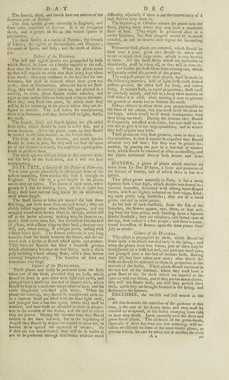 The fccond, third, and fourth forts are natives of the foiKhern parts of Europe. The filth ipecies grows naturally in England, and fome other countries of Europe, it is an evergreen ilirub, and is proper to fill up the vacant fpaces in plantations. The fixth fpecies is a native of Pontus ; the feventh of China; the eighth of Switzerland, and Hungary; the ninth of Spain, and Italy ; and the tenth of Ethio¬ pia. Culture of the Daphne. The fir ft and eighth fpecies are propagated by feeds which fhould be fown on a border expofed to the eaft, foon after the berries are ripe. When the plants come up they will require no other care than being kept clean from weeds : they may continue in the feed-bed for two fummers, but mud be thinned where they grow too clofe ; then at Michaelmas, when the leaves are fhed- ding, they muft be carefully taken up, and planted in a nurlery, in rows, about lixteen inches afunder, and eight or nine inches diftance from each other in the rows. Here they may ftand two years, by which time they will be fit for removing to the places where they are de- frgned to remain. The bcft leafon for tranfplanting them is in Autumn, and they thrive beft in light, fandy, dry earth. The fccond, third, and fourth fpecies are alfo raifed from feeds, which fhould be fown in a dry foil, and a warm iituation. After the plants come up they fhould be treated in tlv* fame manner as the former forts. The feeds of the fixth, feventh, and ninth fpecies fhould be fown,in pots, for they will not bear the open air of our climate in winter, but muft have a good green- houfe to preferve them. The tenth fpecies w ill not thrive in this country with¬ out the help of the bark-ftove, and it will not bear tranfplanting, DATE-TREE, a fpecies of the Palma or Palm-tree. Thefe trees grows plentifully in Africa and fome of the eaftern countries, from whence the fruit is brought to England. They rife- to a great height in the places where they are native. The leaves of thefe trees, when grown to a fize for bearing fruit, are fix or eight feet long; thefe have-narrow long leaves fet on alternately their whole length. The fmall leaves or lobes are toward the bafe three feet long, and little more than one inch broad ; they are clofcly folded together when they firft appear, and are wrapped round with brown fibres or threads, which fall off as the leaves advance, making way for them to ex¬ pand ; thefe never open fiat, but are hollow like the keel of a boat, with a fliarp ridge on their back ; they are very fiitff, and, when young, of a bright green, ending with a fliarp black fpire. The flowers come out in very long bunches from the trunk between the leaves, and are co¬ vered with a fpatha or flieath which opens and withers. They have no ftamina but have a roundifli germen which afterwards becomes an oval berry, with a thick pulp inclofing a hard oblong ftone, with a deep furrow running longitudinally. The bunches of fruit are fometimes very large. Culture of the Date-tree. Thefe plants may eafily be produced from the feeds taken out of the fruit, provided they are frefli, which fhould be fown in pots tilled with light rich earth, and plunged into a moderate hot-bed of tanners bark, which fhould be kept in a moderate temperature of heat, and the earth frequently refrefhed with water. When the plants are come up, they fhould be tranfplanted each in¬ to a feparate fmall pot filled with the fame light earth, and plunged into a hot-bed again, where they muft be watered, and have frefh air admitted to them in propor¬ tion to the warmth of the feafon, a.id the bed in which they are placed. During the fummer time they fhould remain in the fame hot-bed, but in the beginning of Auguft they fhould by degrees be inured to more air, to harden tffm againft the approach of winter; for if they are too much forced, they will be fo tender as mot to be preferved through that feafon without much difficulty, efpecially if there is not the conveniency of a bark ftoveto keep them in. The beginning of October remove the plants into the ftove, placing them where they may have a moderate fhare of heat. They might be preferved alive in a cooler fituation, but their progrefs would be fo much retarded, as not to recover their vigour the fucceedin^ fummer. Whenever thefe plants are removed, which fhould be done once a year, great care fhould be taken not to cut or injure their large roots, which is very hurtful to them. All the fmall fibres which are inclinable to mouldinefs, muft be taken off, or they will in time de¬ cay, and hinder the frefh fibres from coming out, which will greatly retard the growth of the plants. The compoft proper for thefe plants, muft be made in the following manner; half of light frefh earth from a pafture ground, the other half fea fand, and rotten dung, or tanners bark, in equal proportion ; thefe muft be carefully mixed, and laid in a heap three months at leaft before it is ufed, often turning it over to prevent the growth of weeds and to fweeten the earth. Always obferve to allow them pots proportionable to the fizes of the plants, but you muft never let them be too large, which would be of worfe confequence than their being too fmall. During the fummer they fhould be frequently refrefhed with water, but care muft be ta¬ ken not to give it in too large quantities, and in winter they will require very little. 'fhefe plants are very flow growers, even in their na¬ tive countries, fo that it cannot be expected they fhould advance very faft here; but they may be greatly for¬ warded, by placing the pots in a hot-bed of tanners bark, which fhould be renewed as often as neceffary, and the plants continued therein both winter and fum¬ mer. D’AYENA, a genus of plants which receives its name from Le Due D’Ayen, a lover and promoter of the fcience of botany, and of which there is but one fpecies. This plant grows naturally in Peru, it has a weak ligneous ftalk a foot high, which divides intofeveral ho¬ rizontal branches, decorated with oblong heart-fhaped leaves, which are (lightly indented on their edges, Hand¬ ing upon pretty long footftalks ; they are of a lucid green, and end in acute points. At the bafe of each footftalk, from the fide of the branches, the flowers appear, two, three, or four arif- ing from the fame point, each Handing upon a feparate flender footftalk ; they are tubulous, and fpread open at the top, their colour is a fine purple ; and there is a con¬ tinual fucceffion of flowers upon the fame plants from July to winter. Culture of the D'ayena. This plant is propagated by feeds, which fhould be fown upon a moderate hot-bed early in the fprin^ ; and when the plants have four leaves, part of them may be tranfplanted on a frefh hot-bed, and part into fmall pots, and plunged into a hot-bed of tanners bark, fliadin^ them till they have taken new root ; after which the frefli air fhould be admitted to them in proportion to the warmth of the feafon. Thefe plants fhould continue in the hot-bed all the fummer, where they muft have a great fhare of air, for thofe which are expofed to the open air will not thrive, and if they are too much drawn, they will not flower well, nor will they perfeeft their feeds, unlefs they are brought forward in the ipring, and fheltered.in the fummer. DECEMBER, the twelfth and laft month in the year. All that demands the attention of the gardener at this time, is the care of his flower beds, and they muft be covered up or opened, as the feafon changing from cold to heat- may diredt. Look carefully over the ftove and green-houfe plants. The clofenefs of the green-houfe, efpecially if there has been too free watering, will oc- cafion mouldinefs on fome of the more tender plants, to prevent which, let care be taken not to moiften the clofe A a >ir