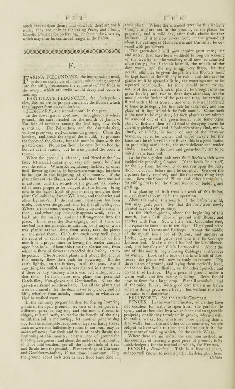 much heat to ripen them ; and wherever there are north walls, they are, only fit for baking Pears, and Plums, Morello Cherries for preferving, or fome duke Cherries, which may thus be continued longer in the feafon. xxxx'axm;*x*&x:o::c«xxxjo::«c F. FARINA FCECUNDANS, the impregnating meal, or duft on the apices of flowers, which being dropped into the pifti), foecundates the rudiments of the feeds in the ovary, which otherwife would decay and come to nothing. FASTIGIATE PEDUNCLES, &c. fuch pedun¬ cles, &c. as are fo proportioned that the flowers which they fupport form an even furface. FEBRUARY, the fecond month in the year. In the flower garden continue, throughout the whole ground, the care directed for the month of January. For fear of accident among the feedlings, fow frefh quantities. The Polianthus, and the Auricula feed, will yet grow very well on common ground. Clean the borders, and break the top of the mould, to promote thefhootsof the plants; but this muft be done with the greateft care. No perfon fhould be entrufted to hoe the borders at this feafon, but he who planted the roots in them. When the ground is cleaned, and ftirred at the fur- face, let a lmall quantity of very rich mould be fitted over the roots. Where Rofes, Honey-fuckles, or other fmall flowering fhrubs, in borders are wanting, let them be brought in the beginning of this month. If the plantations of the fibrous rooted kinds have been omitted in autumn, or if the wetnefs of the ground has render¬ ed it more proper to be delayed till this feafon, bring now in the feveral kinds of golden rods; and after thefe plant Columbines, Sweet Williams, and the fcarlet and other Lychnis’s. If the autumn plantation has been made, look over the ground and fee that all holds good. Where a root feems decayed, take it up and place ano¬ ther ; and where any one only appears weak, take it back into the nurfery, and put a ftrongerone into the place. Look over the Box-edgings, and if there be any bad part not amended in autumn, or if any of what was planted at that time feem weak, take the pieces up and mend them. Clofe the earth very well about the roots of what is new planted, d he middle of this month is a proper time for lowing the tender annuals upon hot-beds. About this time the Carnations, from which a fhew of flowers is expedled this feafon, are to be potted. The Auricula plants will about the end of this month, fhew their buds for flowering: ftir the earth lightly, on the furface, in all the pots. See if any thing has miffed, which was planted in autumn, or if there be any vacancy which was left unfupplied at that time. In fuch places now plant the perennial Catch-flies, Fox-gloves and Gentianellas. Clean the gravel-walksand roll them hard. Let all the plants and trees be cleaned ; let the dead leaves be picked, and all filth, whether from infedts, mouldinefs, or whatfoever kind be wafhed away. In the feminary prepare borders for fowing flowering plants in the open ground ; let two or three pieces in different parts be dug up, and the mould thrown in ridges, eaft and weft, to receive the benefit of the air; whilft this foil is mellowing, let another piece be dug up, for the immediate reception of layers of hardy trees ; fuch as were not fufficiently rooted in autumn, may be taken off now; fow feeds and fruits of hardy fhrubs the beginning of this month ; clear a piece of ground for planting evergreens : and about the middle, of this month, if it be mild weather, get all the hardy kinds of trees and fhrubs into the ground. Plant cuttings of Currants and Goofeberry-bufhes, if not done in autumn. Dig the ground about fuch trees as have flood fome time in their place. Where the intended trees for this fcafon’s tranfplanting are not in the ground, let the places be prepared, and a mild day, after itoft, chofen for that bufinefs. If it be now fevere froft, let the ground all about the cuttings of Goofeberries and Currants, be co¬ vered with peafe-ftraw. The green-houfc will now require great care; air and water, that have been withheld fo long on account of the feverity of the weather, muft now be admitted more freely ; for if the air be mild, the middle of the days warm, and the nights i^t very fharp, let this needful affiftance be given the plants ; the fhooters muft be kept back for the firft day or two : and the next the glaffes muft be opened a little ; the waterings are to be repeated occafionally ; let fome mould fuited to the nature of the feveral kinds of plants, be brought into the green-houfe ; and two or three days after that, let the mould on the furface of the pots and tubs, be carefully ftirred with a blunt trowel : and when it is well loofened to fome little depth, let fo much be taken off, and the place of it fupplied with the frefli mould. Cleanlinefs is the next to be regarded ; lef fuch plants as are tainted be removed out of the green-houfe, into fome other place of fhelter : then let all dead or decaying leaves be carefully picked off; and if foulneffes of any kind, moul¬ dinefs, or infedls, be found on any of the leaves or branches, let it be wafhed and wiped away ; let the fame care be obferved in the ftove: this is a good feafon for producing new plants ; the more delicate and tender kinds, intended for the ftove and green-houfe, are to be railed in the bark-bed. In the fruit-garden look over thofe flocks which were budded the preceding fummer. If the heads be cut off, fee the fap from the w'ound do not run upon the bud ; thofe not cut off before muft be cut now. Go over the efpaliers lately repaired, and fee that every thing keep firm. Sow the ftones of Plums and other hardy, fruit, for raifing flocks for the future fervice of budding and grafting. . v The planting of fruit-trees is a work of this feafon, and no care is too much in the operation. About the end of this month, if the feafon be mild, you may graft pears. See that the fruit-trees newly planted have a right pruning. In the kitchen-garden, about the beginning of this month, fow a frefh piece of ground with Beans, and another with Peas. Sow a little frefh Cucumber-feed, and repeat the fame once in ten days. Dig a good piece of ground for Carrots and Parfneps. About the middle of the month fow a bed of Onions, and another of Leeks. Lay a fmall piece level and fine for Cabbage Lettuce-feed. Make a fmall hot-bed for Cauliflower - feed, and fow Cos and Silefia Lettuce-feed. About the end of this month, begin fowing Cabbages and Savoys for winter. Look to the beds of the finer kinds of Let¬ tuces ; the plants will now be ready to remove. Dig three pieces of ground, and laying them perfectly level, on the one fow Raddifh-feed, on the other Spinach, and on the third Lettuce. Dig a piece of ground under a warm wall, and fow young fallading. Beets fhould now be fown for a large crop. Plant Rocombole, and all the onion kinds ; with good care there is no feafon wherein things grow more freely : but without this care no feafon is fo dangerous. FELLWORT. See the article Gentian. FENCES. In the warmer climates, where they have not occafion for walls to ripen fruit, the gardens lie open, and are bounded bv a water fence and an agreeable profpedl; orelfe they terminate in groves, adorned with fountains, walks, &c. which are more pleafing than a dead wall; but in this and other colder countries, we are obliged to have walls to ripen and fhelter our fruit: for the manner of building which, fee the article Wall. Where there are no walls, the common method, in this country, of fencing a good piece of ground, is by quick-hedges; for the method of which, fee Hedges. FENNKL, Fcentculum. This is a biennial plant, and too well known to need a particular defeription here. Culture
