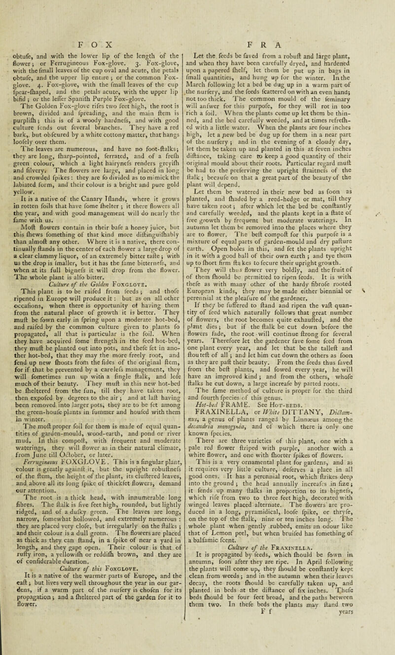 FOX obtufe, and with the lower lip of the length of the flower; or Ferrugineous Fox-glove. 3. Fox-glove, with the fmall leaves of the cup oval and acute, the petals obtufe, and the upper lip entire ; or the common Fox¬ glove. 4. Fox-glove, with the fmall leaves of the cup fpear-fhaped, and the petals acute, with the upper lip bifid ; or the lefler Spanilh Purple Fox-glove. The Golden Fox-glove rifes two feet high, the root is brown, divided and fpreading, and the main Item is purplifh ; this is of a woody hardnefs, and with good culture fends out feveral branches. They have a red bark,, but obfcured by a white cottony matter, that hangs loofely over them. The leaves are numerous, and have no foot-ftalks; they are long, ftiarp-pointed, ferrated, and of a frefti green colour, which a light hairynefs renders greyifh and filvery. The flowers are large, and placed in long and crowded fpikes: they are fo divided as tomimickthe labiated form, and their colour is a bright and pure gold yellow. It is a native of the Canary Jflands, where it grows in rotten foils that have fome fhelter ; it there flowers all the year, and with good management will do nearly the fame with us. Mod flowers contain in their bafe a honey juice, but th is Ihews fomething of that kind more diftinguifhably than alrnoft any other. Where it is a native, there con¬ tinually Hands in the center of each flower a large drop of a clear clammy liquor, of an extremely bitter tafte ; with us the drop is (mailer, but it has the fame bitternefs, and when at its full bignefs it will drop from the flower. The whole plant is alfo bitter. Culture of the Golden Foxglove. This plant is to be raifed from feeds ; and thofe ripened in Europe will produce it : but as on all other occafions, when there is opportunity of having them from the natural place of growth it is better. They muft be fown early in fpring upon a moderate hot-bcd, and raifed by the common culture given to plants fo propagated, all that is particular is the foil. When they have acquired fome ftrength in the feed hot-bed, they mult be planted out into pots, and thefe fet in ano¬ ther hot-bed, that they may the more freely root, and fend up new Ihoots from the fides of the original Item, for if that be prevented by a carelefs management, they will fometimes run up with a Angle ftalk, and lcl'e much of their beauty. They muft in this new hot-bed be flickered from the fun, till they have taken root, then expofed by degrees to the air; and at laft having been removed into larger pots, they are to be fet among the green-houfe plants in fummer and houfed with them in winter. The moft proper foil for them is made of equal quan¬ tities of garden-mould, wood-earth, and pond or river mud. In this compolf, with frequent and moderate waterings, they will flower as in their natural climate, from June till Oiftober, or later. Ferrugineous FOXGLOVE . This is a Angular plant, colour is greatly againft it, but the upright robuftnefs of the Item, the height of the plant, its cluftered leaves, and above all its long fpike of thickfet flowers, demand our attention. The root is a thick head, with innumerable long fibres. The ftalk is five feet high, rounded, but lightly ridged, and of a dufky green. The leaves are long, narrow, fomewhat hollowed, and extremely numerous : they are placed very clofe, but irregularly on the ftalks ; and their colour is a dull green. The flowers are placed as thick as they can ftand, in a fpike of near a yard in length, and they gape open. Their colour is that of rufty iron, a yellowifh or reddilh brown, and they are of confiderable duration. Culture of this Foxglove. It is a native of the warmer parts of Europe, and the eaft ; but lives very well throughout the year in our gar¬ dens, if a warm part of the nurfery is chofen for its propagation ; and a Iheltered part of the garden for it to flower. FRA Let the feeds be faved from a robuft and large plant, and when they have been carefully dryed, and hardened upon a papered Ihelf, let them be put up in bags in fmall quantities, and hung up for the winter. In the March following let a bed be dug up in a warm part of the nurfery, and the feeds fcattered on with an even hand; not too thick. The common mould of the feminary will anfwer for this purpofe, for they will rot in too rich a foil. When the plants come up let them be thin¬ ned, and the bed carefully weeded, and at times refrefh- ed with a little water. When the plants are four inches high, let a new bed be dug up for them in a near part of the nurfery ; and in the evening of a cloudy day, let them be taken up and planted in this at feven inches diftance, taking care to keep a good quantity of their original mould about their roots. Particular regard muft; be had to the preferving the upright ftraitnefs of the ftalk; becaufe on that a great part of the beauty of the plant will depend. Let them be watered in their new bed as foon as planted, and Ihaded by a reed-hedge or mat, till they have taken root; after which let the bed be conftantly and carefully weeded, and the plants kept in a ftate of free growth by frequent but moderate waterings. In autumn let them be removed into the places where they are to flower. The beft compoft for this purpofe is a mixture of equal parts of garden-mould and dry pafture earth. Open holes in this, and fet the plants upright in it with a good ball of their own earth ; and tye them up to fhort firm fta kes to fecure their upright growth. They will thus flower very boldly, and the fruit of of them fliould be permitted to ripen feeds. It is with thefe as with many other of the hardy fibrofe rooted European kinds, they may be made either biennial or s perennial at the pleafure of the gardener. If they be fuffered to ftand and ripen the vaft quan¬ tity of feed which naturally follows that great number of flowers, the root becomes quite exhaufted, and the plant dies; but if the ftalk be cut down before the flowers fade, the root will continue ftrong for feveral years. Therefore let the gardener fave fome feed from one plant every year, and let that be the tailed and ftouteft of all ; and let him cut down the others as foon as they are paft their beauty. From the feeds thus faved from the beft plants, and fowed every year, he will have an improved kind ; and from the others, whofe ftalks he cut down, a large increafe by parted roots. The fame method of culture is proper for the third and fourth fpecies of this genus. Hot-bed FRAME. See Hot-beds. FRAXINELLA, or White DITTANY, Diclam- nus, a genus of plants ranged by Linnams among the decanclria monogynies, and of which there is only one known fpecies. There are three varieties of this plant, one with a pale red flower ftriped with purple, another with a white flower, and one with fhorter fpikes of flowers. This is a very ornamental plant for gardens, and as it requires very little culture, deferves a place in all good ones. It has a perennial root, which ftrikes deep into the ground ; the head annually increafes in fize; it fends up many ftalks in proportion to its bignefs, which rife from two to three feet high, decorated wuth winged leaves placed alternate. The flowers are pro¬ duced in a long, pyramidical, loofe fpike, or thryfe, on the top of the ftalk, nine or ten inches long. The whole plant when gently rubbed, emits an odour like that of Lemon peel, but when bruifed has fomething of a balfamic feent. Culture of the Fraxinella. It is propagated by feeds, which fhould be fown in antumn, foon after they are ripe. In April following the plants will come up, they fhould be conftantly kept clean from weeds; and in the autumn when their leaves decay, the roots fliould be carefully taken up, and planted in beds at the diftance of fix inches. Thefe beds fhould be four feet broad, and the paths between them two. In thefe beds the plants may ftand two F f years