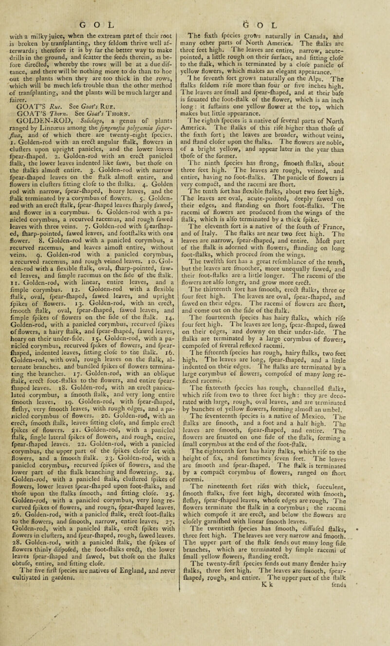 with a milky juice, when the extream part of their root is broken by transplanting, they feldom thrive well af¬ terwards ; therefore it is by far the better way to make drills in the ground, and fcatter the feeds therein, as be¬ fore directed, whereby the rows will be at a due dif- tance, and there will be nothing more to do than to hoe out the plants when they are too thick in the rows, which will be much lefs trouble than the other method of tranfplanting, and the plants will be much larger and fairer. GOAT’S Rue. See Goafs Rue. GOAT’S Thorn. See Goafs Thorn. GOLDEN-ROD, Solidago, a genus of plants ranged by Linnaeus among the fyngenejia polygamia fuper~ jlua, and of which there are twenty-eight lpecies. i. Golden-rod with an eredt angular ftalk, flowers in clufters upon upright panicles, and the lower leaves fpear-fhaped. 2. Golden-rod with an eredt panicled ftalk, the lower leaves indented like faws, but thofe on the ftalks almoft entire. 3. Golden-rod with narrow fpear-fhaped leaves on the ftalk almoft entire, and flowers in clufters fitting clofe to the {talks. 4. Golden rod with narrow, fpear-ftiaped, hoary leaves, and the ftalk terminated by a corymbus of flowers. 5. Golden- rod with an eredt ftalk, fpear-ftiaped leaves Iharply fawed, and flower in a corymbus. 6. Golden-rod with a pa¬ nicled corymbus, a recurved racemus, and rough fawed leaves with three veins. 7. Golden-rod with fpearftiap- ed, {harp-pointed, fawed leaves, and footftalks with one flower. 8. Golden-rod with a panicled corymbus, a recurved racemus, and leaves almoft entire, without veins. 9. Golden-rod with a panicled corymbus, a recurved racemus, and rough veined leaves, xo. Gol¬ den-rod with a flexible ftalk, oval, {harp-pointed, faw¬ ed leaves, and fimple racemus on the fide of the ftalk. II. Golden-rod, with linear, entire leaves, and a fimple corymbus. 12. Golden-rod with a flexible ftalk, oval, fpear-ftiaped, fawed leaves, and upright fpikes of flowers. 13. Golden-rod, with an eredt, fmooth ftalk, oval, fpear-fhaped, fawed leaves, and fimple fpikes of flowers on the fide of the ftalk. 14. Golden-rod, with a panicled corymbus, recurved fpikes of flowers, a hairy ftalk, and fpear-ftiaped, fawed leaves, hoary on their under-fide. 15. Golden-rod, with a pa¬ nicled corymbus, recurved fpikes of flowers, and fpear- fliaped, indented leaves, fitting clofe to the ftalk. 16. Golden-rod, with oval, rough leaves on the ftalk, al¬ ternate branches, and bundled (pikes of flowers termina¬ ting the branches. 17. Golden-rod, with an oblique ltalk, eredt foot-ftalks to the flowers, and entire fpear- ftiaped leaves. 18. Golden-rod, with an eredt panicu- lated corymbus, a fmooth ftalk, and very long entire fmooth leaves, 19. Golden-rod, with fpear-ftiaped, flefliy, very fmooth leaves, with rough edges, and a pa¬ nicled corymbus of flowers. 20. Golden-rod, with an eredt, fmooth ftalk, leaves fitting clofe, and fimple eredt fpikes of flowers. 21. Golden-rod, with a panicled ftalk, Angle lateral fpikes of flowers, and rough, entire, fpear-fhaped leaves. 22. Golden-rod, with a panicled corymbus, the upper part of the fpikes clofer fet with flowers, and a fmooth ftalk. 23. Golden-rod, with a panicled corymbus, recurved fpikes of flowers, and the lower part of the ftalk branching and flowering. 24. Golden-rod, with a panicled ftalk, cluftered fpikes of flowers, lower leaves fpear-fhaped upon foot-ftalks, and thofe upon the {talks fmooth, and fitting clofe. 25. Golden-rod, with a panicled corymbus, very long re¬ curved fpikes of flowers, and rougn, fpear-ftiaped leaves. 26. Golden-rod, with a panicled ftalk, eredt foot-ftalks to the flowers, and fmooth, narrow, entire leaves. 27. Golden-rod, with a panicled ftalk, eredt fpikes with flowers in clufters, and fpear-fhaped, rough, fawed leaves. 28. Golden-rod, with a panicled ftalk, the fpikes of flowers thinly difpofed, the foot-ftalks eredt, the lower leaves fpear-ftiaped and fawed, but thofe on the ftalks obtufe, entire, and fitting clofe. The five firft fpecies are natives of England, and never cultiyated in gardens. The fixth fpccies groflvs naturally in Canada, and many other parts of North America. The ftalks are three feet high. The leaves are entire, narrow, acute- pointed, a little rough on their furface, and fitting clofe to the ftalk, which is terminated by a clofe panicle of yellow flowers, which makes an elegant appearance. I he feventh fort grows naturally on the Alps. The ftalks feldom rife more than four or five inches high. The leaves are fmall and fpear-fhaped, and at their bafe is fituated the foot-ftalk of the flower, which is an inch long : it fuftains one yellow flower at the top, which makes but little appearance. The eighth fpecies is a native of fevCral parts of North America. The ftalks of this rife higher than thofe of the fixth fort; the leaves are broader, without veins, and ftand clofer upon the ftalks. The flowers are noble, of a bright yellow, and appear later in the year than thofe of the former. The ninth fpecies has ftrong, fmooth ftalks, about three feet high. The leaves are rough, veined, and entire, having no foot-ftalks. The panicle of flowers is very compadt, and the racemi are ftiort. The tenth fort has flexible ftalks, about two feet high. The leaves are oval, acute-pointed, deeply fawed on their edges, and Handing on ftiort foot-ftalks. The racemi of flowers are produced from the wings of the ftalk, which is aifo terminated by a thick fpike. The eleventh fort is a native of the fouth of'France, and of Italy. The ftalks are near two feet high. The leaves are narrow, fpear-fhaped, and entire. Moft part of the ftalk is adorned with flowers, {landing on long foot-ftalks, which proceed from the wings. The twelfth fort has a great refemblance of the tenth, but the leaves are fmooiher, more unequally fawed, and their foot-ftalks are a little longer. The racemi of the flowers are alfo longer, and grow more eredt. The thirteenth iort has fmooth, eredt ftalks, three or four feet high. The leaves are oval, fpear-fhaped, and fawed on their edges. The racemi of flowers are fhort, and come out on the fide of the ftalk. The fourteenth fpecies has hairy ftalks, which rife four feet high. The leaves are long, fpear-fhaped, fawed on their edges, and downy on their under-iide. The ftalks are terminated by a large corymbus of flowers, compofed of feveral reflexed racemi. rl he fifteenth fpecies has rough, hairy ftalks, two feet high. The leaves are long, fpear-ftiaped, and a little indented on their edges. The ftalks are terminated by a large corymbus of flowers, compofed of many long re¬ flexed racemi. The fixteenth fpecies has rough, channelled ftalks, which rife from two to three feet high : they are deco¬ rated with large, rough, oval leaves, and are terminated by bunches of yellow flowers, forming almoft an umbel. The feventeenth fpecies is a native of Mexico. The ftalks are fmooth, and a foot and a half high. The leaves are fmooth, fpear-ftiaped, and entire. The flowers are fituated on one fide of the ftalk, forming a fmall corymbus at the end of the foot-ftalk. The eighteenth fort has hairy ftalks, which rife to the height of fix, and fometimes feven feet. The leaves are fmooth and fpear-ftiaped. The ftalk is terminated by a compadt corymbus of flowers, ranged on ftiort racemi. The nineteenth fort rifes with thick, fucculent, fmooth ftalks, five feet high, decorated with fmooth, flefhy, fpear-fhaped leaves, whofe edges are rough. The flowers terminate the ftalk in a corymbus; the racemi which compofe it are eredt, and below the flowers are clofely garniflied with linear fmooth leaves. The twentieth fpecies has fmooth, difFufed ftalks, three feet high. The leaves are very narrow and fmooth. The upper part of the ftalk fends out many long fide branches, which are terminated by fimple racemi of fmall yellow flowers, (landing eredt. The twenty-firft lpecies fends out many {lender hairy ftalks, three feet high. The leaves are fmooth, fpear- ftiaped, rough, and entire. The upper part of the ftalk K k fends