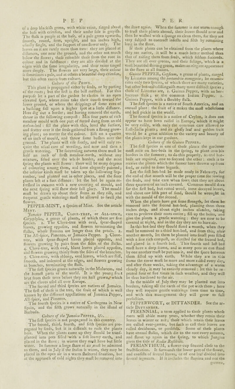 PEP of a deep blackffh green, with white veins, tinged about the bafe with crimfon, and their under fide is greyifh. The ftalk is purple at the bafe, of a pale green upwards, frnooth, round, firm, upright, and ten inches high, ufually finglc, and the fupport of one flower only. I he leaves on it are rarely more than two: they are placed at difiances, one near the ground, and the other not much below the flower; thefe refemble thofe from the root in colour and in fubftance : they are alfo divided at the edges with the fame irregularity, and their veins tinged more deeply. The flowers are very large, their colour is fometimes a pale, and at others a bcautfiul deep crimfon, but this often varies from culture. Culture of this Peony. This plant is propagated either by feeds, or by parting of the roots; but the firrt is the beft method, for this purpofe let a part of the garden be cholcn in an open elevated fpot, where rains take their courfe toward the lower ground, or where the drippings of fome eves of a building fall upon a higher fpot at a little diftance. Here dig out a border; and having removed the earth, throw in the following compoft : Mix four parts of rich meadow mould with one part of rotted dung from an old melon-bed : fill the place with this, level the furface, and fcatter over it the feeds gathered from a ftrong grow¬ ing plant; no matter for the colour. Sift on a quarter of an inch of mould, and throw fome bufhes over the ground. The plants will rife freely, and will only re¬ quire the ufual care of weeding, and now and then a gentle watering. The fucceeding autumn there muft be half an inch of frelh meadow-earth, without any mixture, lifted over the wh le border, and the next fipring the plants will flower: there will be many degrees of colouring among them, and fome elegantly painted ; the inferior kinds muft be taken up the following Sep¬ tember, and planted out in other places, and the finer plants left at a foot diftance : let the bed be again re- freflied in autumn with a new covering of mould, and the next fpring will fhew their full glory. The mould muft be drawn up about their ftems as they rife, and frequent gentle waterings muft be allowed to fwelLthe flowers. PEPPER-MINT, a fpecies of Mint. See the article Mint. Jamaica PEPPER, Clove-tree, or All-spice, Caryophylus, a genus of plants, of which there are five fpecies. i. The Clove-tree with oval, fpear-fhaped leaves, growing oppofite, and flowers terminating the ftalks, whofe ftamina are longer than the petals. 2. The All-fpice, Pimento, or Jamaica Pepper. 3. Clove- tree, with fpear-fhaped leaves placed oppofite, and flowers growing by pairs from the fides of the ftalks. 4. Clove-tree, with oval, blunt leaves placed oppofite, and flowers growing thinly from the fides of the branches. 5. Clove-tree, with oblong, oval leaves, which are ftiffi, frnooth, and indented at the edges, and flowers growing in bunches, terminating the ftalk. The firft fpecies grows naturally in the Moluccas, and the hotteft parts ot the world. It is the young fruit beat from thefe trees before they are half grown, which are the cloves ufed all over Europe. The fecond and third fpecies are natives of Jamaica. The firft of thefe is the tree, the fruit of which is well known by the different appellations of Jamaica Pepper, All-fpice, and Pimento. The fourth fpecies is a native of Carthegena in New Spain, and the fifth grows naturally in the ifland of Barbuda. Culture of the Jamaica Pepper, &c. The firft fpecies is not propagated in this country'. The fecond, third, fourth, and fifth fpecies are pro¬ pagated by feeds, but it is difficult to raife the plants here. When the plants come up they fhould be tranf- planted into pots filled with a foft loamy earth, and placed in the ftove : in winter they myft have but little water. In fummer a large fhare of air muft be admitted to them, and in July if the fcafon is warm, they may be placed in the open air in a warm fheltered fituation, but at the approach of cold nights they muft be removed into PER the ftove again. When the fummer is not warm enough to truft thefe plants abroad, their leaves fhould now and then be wafhed with a l'ponge to clean them, for they are very fubjed to contrad inl'eds and filth by remaining long in the ftove. it thefe plants can be obtained from the places where they are native, it will be a much better method than that of rafting them from feeds, which feldom fucceeds. They are all ever greens, and their foliage, which is a nioft beautiful fhining green, makes an elegant appearance in the ftove at all feafons. Guinea PEPPER, Capficum, a genus of plants, ranged by Linnaeus among thepentandria monogynia; he enume¬ rates only two fpecies, of which there aie many varieties, but other botanifts diftinguilh many more dirtind fpecies ; thofe of Linnaeus are, 1. Guinea Pepper, with an her¬ baceous ftalk ; or the common Indian Pepper. 2. Guinea Pepper, with a fhrubby ftalk. The firft ipecies is a native of South America, and an annual plant: the fruit of it makes the molt wholefome and beft pickle in the world. The fecond fpecies is a native of Ceylon, it does not appear to have been raffed in Europe, which it might be very ealily, with only the common care allowed to Eaft-lndia plants ; and its gloffy leaf and golden fruit would be a great addition to the variety and beauty of the plants kept in our gardens. Culture of the Guinea Pepper. The firft fpecies is one of thofe plants the gardener muft raife on hot-beds in the fpring, to plant into fiis borders in the fummer; to do this properly, feveral hot¬ beds are required, one to fucceed the other ; each .s to receive the plants which the former have thrown up from feed, or railed to fome bignefs. Let the firft hot-bed be made ready in February, for the end of that month will be the proper time for lowing the feeds, and take care when fowr. that they are about three quarters of an inch covered. Common mould docs for the firft bed, but rotted wood, lome decayed leaves, and about one fifth part of land, fhould be wrought in with the mould of the fecond. When the plants have got fome ftrength, let them be removed into the fecond hot-bed, planting them three inches deep, and about eight inches afunder, taking care to preferve their roots entire ; fill up the holes, and give the plants a gentle watering : they are now to be covered at night, and in the day they are to have air. In this hot-bed they fhould ftand a month, when they muft be removed to a third hot-bed, and from this, after another month, let them be planted into fmall pots filled with a fine rich comport, as directed for the fecond bed, and placed in a fourth bed. This fourth and laft bed muft have a deep frame, and as many pots as can ftand by one another muft be put into it, and the fpace between them filled up with earth. While they are in this frame the cover muft be more and more ruffed everv day, and after three weeks, taking the advantage of a warm cloudy day, it may be entirely removed : let this be re¬ peated four or five times in fuch weather, and they will be thus hardened to the air. In the middle of July they may be planted out into borders, taking all the earth of the pot with them ; here they will require gentle waterings from time to time, and with this management they will grow to full perfedlion. PEPPERWORT, or DITTANDER. See the ar¬ ticle Dittander. PERENNIAL, a term applied to thofe plants whofe roots will abide many years, whether they retain their leaves in winter or not; thofe which retain their leaves are called ever-greens, but fuch as caft their leaves are called deciduous, or perdifols. Some of thefe plants have annual ftalks, which die to the root every autumn, and fhoot up again in the fpring, to which Jungius gives the title of Radix Rajlibilis. PERIANTHIUM, a flower-cup fituated clofe to the frudlification. It furrounds the lower part of the flower, and confifts of feveral leaves, or of one leaf divided into ftvera! fegments. If it includes the ftamina and not the germen.