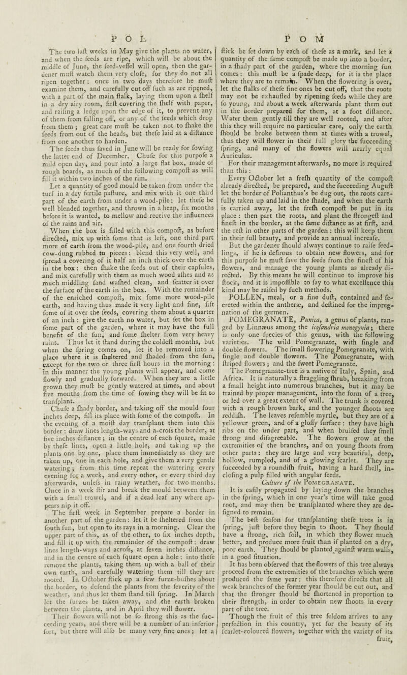 POL The two laft weeks in May give the plants no water, and when the feeds are ripe, which will be about the middle of June, the feed-vefl'el will open, then the gar¬ dener muft watch them very clofe, for they do not all ripen together: once in two days therefore he mull examine them, and carefully cutoff fuch as are ripened, with a part of the main (talk, laying them upon a fhelf in a dry airy room, firft covering the fhelf with paper, and raifing a ledge upon the edge of it, to prevent any of them from falling off, or any of the feeds which drop from them j great care muft be taken not to fhake the feeds from out of the heads, but thefe laid at a diftance from one another to harden. The feeds thus faved in June will be ready for fovving the latter end of December. Chufe for this purpofe a mild open day, and pour into a large flat box, made of rough boards, as much of the following compoft as will fill it within two inches of the rim. Let a quantity of good mould be taken from under the turf in a dry fertile pafture, and mix with it one third part of the earth from under a wood-pile: let thefe be well blended together, and thrown in a heap, fix months before it is wanted, to mellow and receive the influences of the rains and air. When the box is filled with this compoft, as before directed, mix up with fome that is left, one third part more of earth from the wood-pile, and one fourth dried cow-dung rubbed to pieces: blend this very well, and fpread a covering of it half an inch thick over the earth in the box : then fhake the feeds out of their capfules, and mix carefully with them as much wood afhes and as much middling fand wafhed clean, and fcatter it over the furface of the earth in the box. With the remainder of the enriched compoft, mix fome more wood-pile earth, and having thus made it very light and fine, lift fome of it over the feeds, covering them about a quarter of an inch : give the earth no water, but fet the box in fome part of the garden, where it may have the full benefit of the fun, and fome fhelter from very heavy rains, l'hus let it ftand during the coldeft months, but when the fpring comes on, let it be removed into a place where it is fheltered and (haded from the iun, except for the two or three firft hours in the morning : in this manner the young plants will appear, and come flowly and gradually forward. When they are a little grown they muft be gently watered at times, and about five months from the time of fowing they will be fit to tranfplant. Chufe a fhady border, and taking off the mould four inches deep, fill its place with fome of the compoft. In the evening of a moift: day tranfplant them into this border : draw lines length-ways and a-crofs the border, at five inches diftance ; in the centre of each fquare, made by thefe lines, open a little hole, and taking up the plants one by one, place them immediately as they are taken up, one in each hole, and give them a very gentle watering; from this time repeat the watering every evening for a week, and every other, or every third day afterwards, unlefs in rainy weather, for two months. Once in a week ftir and break the mould between them with a fmall trowel, and if a dead leaf any where ap¬ pears nip it oft. The firft week in September prepare a border in another part of the garden : let it be fheltered from the fouth fun, but open to its rays in a morning. Clear the upper part of this, as of the other, to fix inches depth, and fill it up with the remainder of the compoft : draw lines length-ways and acrofs, at feven inches diftance, ar.d in the centre of each fquare open a hole; into thefe remove the plants, taking them up with a ball of their own earth, and carefully watering them till they are rooted. In OCtober flick up a few furze-bufhes about the border, to defend the plants from the feverity of the weather, and thus let them ftand till fpring. In March let the furzes be taken away, and the earth broken between the plants, and in April they will flower. Their flowers will not be fo ftrong this as the fuc- eecdimi years, and there will be a number of an inferior fort, but there will alfo be many very fine ones 3 let a | POM ftick be fet down by each of thefe as a mark, and let x quantity of the fame compoft be made up into a bolder, in a fhady part of the garden, where the morning fun comes : this muft be a fpade deep, for it is the place where they are to remain. When the flowering is over, let the ftalks of thefe fine ones be cut off, that the roots may not be exhaufled by ripening feeds while they are fo young, and about a week afterwards plant them out in the border prepared for them, at a foot diftance. Water them gently till they are well rooted, and after this they will require no particular care, only the earth fhould be broke between them at times with a trowel, thus they will flower in their full glory the fucceeding fpring, and many of the flowers will nearly equal Auriculas. For their management afterwards, no more is required than this : Every October let a frefh quantity of the compoft already directed, be prepared, and the fucceeding Auguft let the border of Polianthus’s be dug out, the roots care¬ fully taken up and laid in the (hade, and when the earth is carried away, let the frefh compoft be put in its place : then part the roots, and plant the ftrongeft and fineft in the border, at the fame diftance as at firft, and the reft in other parts of the garden : this will keep them in their full beauty, and provide an annual increafe. But the gardener fhould always continue to raife feed- lings, if he is defirous to obtain new flowers, and for this purpofe he muft fave the feeds from the fineft of his flowers, and manage the young plants as already di¬ rected. By this means he will continue to improve his flock, and it is impoffible to fay to what excellence this kind may be raifed by fuch methods. POLLEN, meal, or a fine duft, contained and fe- creted within the anthers, and deftined for the impreg¬ nation of the germen. POMEGRANATE, Punka, a genus of plants, ran¬ ged by Linnaeus among the icofandria monogynia ; there is only one fpecies of this genus, with the following varieties. The wild Pomegranate, with fingle and double flowers. The fmall flowering Pomegranate, with fingle and double flowers. The Pomegranate, with ftriped flowers ; and the fweet Pomegranate. The Pomegranate-tree is a native of Italy, Spain, and Africa. It is naturally a draggling fhrub, breaking from a fmall height into numerous branches, but it may be trained by proper management, into the form of a tree, or led over a great extent of wall. The trunk is covered with a rough brown bark, and the younger (hoots are reddifh. The leaves refemble myrtle, but they are of a yellower green, and of a gloffy furface : they have high ribs on the under part, and when bruifed they fmell ftrong and difagreeable. '1 he flowers grow at the extremities of the branches, and on young (hoots from other parts : they are large and very beautiful, deep, hollow, rumpled, and of a glowing lcarlet. They are fucceeded by a roundifh fruit, having a hard (hell, in- clofing a pulp filled with angular feeds. Culture of the Pomegranate. It is eafily propagated by laying down the branches in the fpiing, which in one year’s time will take good root, and may then be transplanted where they are de- figned to remain. The beft feafon for tranfplanting thefe trees is in fpring, juft before they begin to fhoot. They fhould have a ftrong, rich foil, in which they flower much better, and produce more fruit than if planted on a dry, poor earth. They fhould be plantedjigainft warm walls, in a good Situation. It has been obferved that theflowers of this tree always proceed from the extremities of the branches which were produced the fame year: this therefore directs that all weak branches of the former year fhould be cut out, and that the ftronger fhould be fhortened in proportion to their ftrength, in order to obtain new (hoots in every part of the tree. Though the fruit of this tree feldom arrives to any perfection in this country, yet for the beauty of its icarlct-colon red flowers, together with the variety of its fruit.