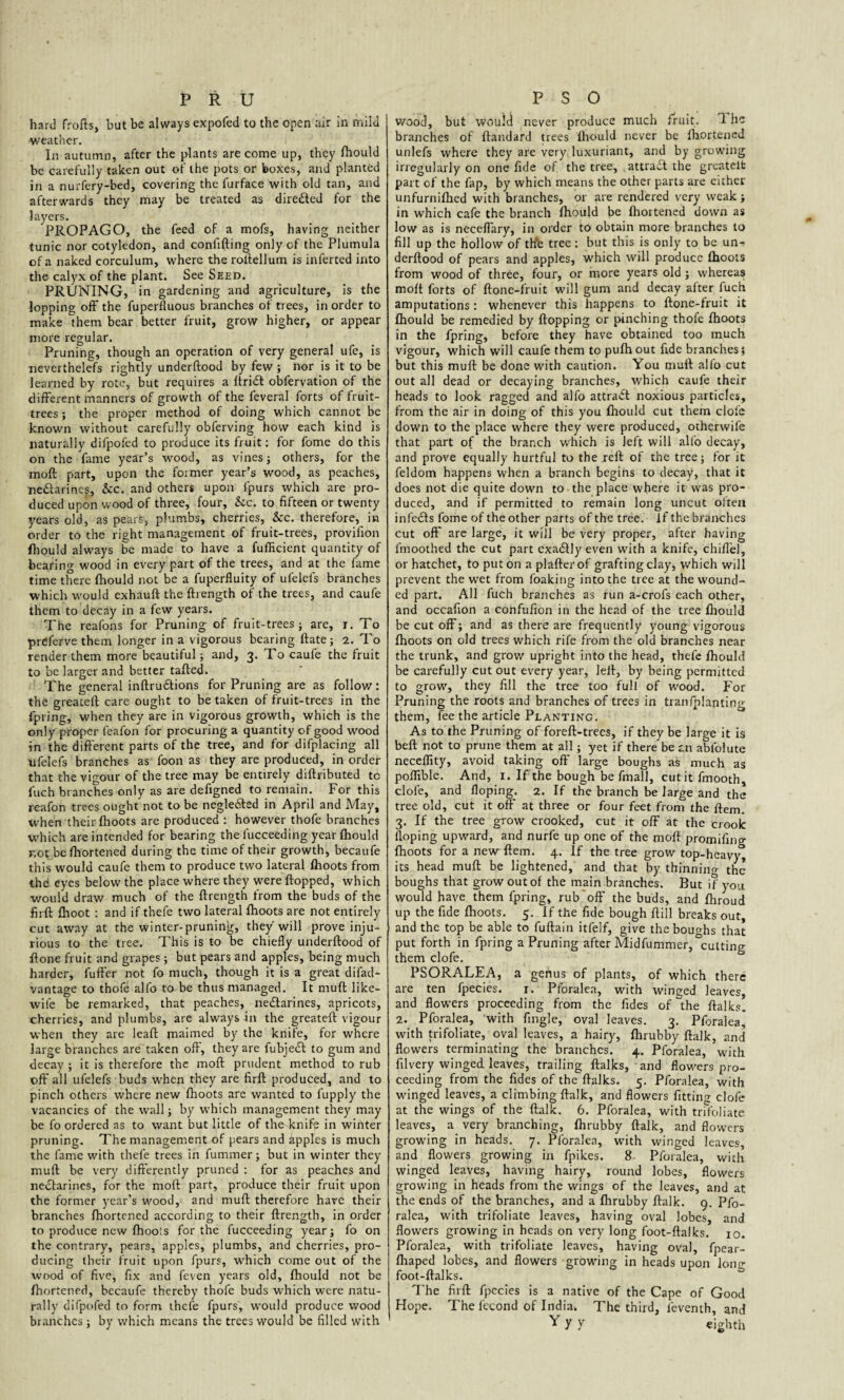 hard frods, but be always expofed to the open air in mild •weather. In autumn, after the plants are come up, they fhould be carefully taken out of the pots or boxes, and planted in a nurfery-bed, covering the furface with old tan, and afterwards they may be treated as direded for the layers. PROPAGO, the feed of a mofs, having neither tunic nor cotyledon, and confiding only of the Plumula of a naked corculum, where the rodellum is inferted into the calyx of the plant. See Seed. PRUNING) in gardening and agriculture, is the lopping off the fuperfluous branches of trees, in order to make them bear better fruit, grow higher, or appear more regular. Pruning, though an operation of very general ufe, is neverthelefs rightly underdood by few; nor is it to be learned by rote, but requires a Itrid obfervation of the different manners of growth of the feveral forts of fruit- trees ; the proper method of doing which cannot be known without carefully obferving how each kind is naturally difpofed to produce its fruit: for fome do this on the fame year’s wood, as vines ; others, for the mod part, upon the former year’s wood, as peaches, nedarincs, &c. and others upon fpurs which are pro¬ duced upon wood of three, four, &c. to fifteen or twenty years old, as pears, plumbs, cherries, &c. therefore, in order to the right management of fruit-trees, provifion fhould always be made to have a fufficient quantity of bearing wood in every part of the trees, and at the fame time there fhould not be a fuperfluity of ulelcfs branches which would exhaud the drength of the trees, and caufe them to decay in a few years. The reafons for Pruning of fruit-trees; are, r. lo preferve them longer in a vigorous bearing date; 2. To render them more beautiful; and, 3. To caufe the fruit to be larger and better faded. The general indrudions for Pruning are as follow: the greated care ought to be taken of fruit-trees in the fpring, when they are in vigorous growth, which is the only proper feafon for procuring a quantity of good wood in the diderent parts of the tree, and for difplacing all tifelefs branches as foon as they are produced, in order that the vigour of the tree may be entirely didributed tc fuch branches only as are defigned to remain. For this reafon trees ought not to be negleded in April and May, when their fhoots are produced : however thofe branches which are intended for bearing the fucceeding year ftiould not befhortened during the time of their growth, becaufe this would caufe them to produce two lateral fhoots from thd eyes below the place where they were dopped, which v/ould draw much of the drength from the buds of the fird fhoot : and if thefe two lateral fhoots are not entirely cut away at the winter-pruning, they will prove inju¬ rious to the tree. This is to be chiefly underdood of done fruit and grapes ; but pears and apples, being much harder, fufFer not fo much, though it is a great difad- vantage to thofe alfo to be thus managed. It mud like- wife be remarked, that peaches, nectarines, apricots, cherries, and plumbs, are always in the greated vigour when they are lead maimed by the knife, for where large branches are taken od', they are fubjeCt to gum and decay ; it is therefore the mod prudent method to rub od' all ufelefs buds when they are fird produced, and to pinch others where new fhoots are wanted to fupply the vacancies of the wall; by which management they may be fo ordered as to want but little of the knife in winter pruning. The management of pears and apples is much the fame with thefe trees in dimmer; but in winter they mud be very did'erently pruned : for as peaches and nectarines, for the mod part, produce their fruit upon the former year’s wood, and mud therefore have their branches fhortened according to their drength, in order to produce new fhoots for the fucceeding year; fo on the contrary, pears, apples, plumbs, and cherries, pro¬ ducing their fruit upon fpurs, which come out of the wood of five, fix and feven years old, fhould not be fhortened, becaufe thereby thofe buds which were natu¬ rally difpofed to form thefe fpurs, would produce wood branches ; by which means the trees would be filled with wood, but would never produce much Fruit. 1 he branches of dandard trees fhould never be fhortened unlefs where they are very luxuriant, and by growing irregularly on one fide of the tree, attract the greatelfc part of the fap, by which means the other parts are cither unfurnifhed with branches, or are rendered very weak ; in which cafe the branch fhould be diortened down as low as is neceffary, in order to obtain more branches to fill up the hollow of th*e tree: but this is only to be unr derdood of pears and apples, which will produce fhoots from wood of three, four, or more years old ; whereas mod forts of done-fruit will gum and decay after fuch amputations: whenever this happens to done-fruit it fhould be remedied by dopping or pinching thoie fhoots in the fpring, before they have obtained too much vigour, which will caufe them to pufh out fide branches? but this mud be done with caution. You mud alfo cut out all dead or decaying branches, which caufe their heads to look ragged and alfo attract noxious particles, from the air in doing of this you fhould cut them clofc down to the place where they were produced, otherwife that part of the branch which is left will alfo decay, and prove equally hurtful to the red of the tree; for it feldom happens when a branch begins to decay, that it does not die quite down to the place where it was pro¬ duced, and if permitted to remain long uncut olten infeeds fome of the other parts of the tree, if the branches cut od* are large, it will be very proper, after having fmoothed the cut part exactly even with a knife, chiflel, or hatchet, to put on a plader of grafting clay, which will prevent the wet from foaking into the tree at the wound¬ ed part. All fuch branches as run a-crofs each other, and occafion a confufion in the head of the tree fhould be cut off; and as there are frequently young vigorous fhoots on old trees which rife from the old branches near the trunk, and grow upright into the head, thefe fhould be carefully cut out every year, led, by being permitted to grow, they fill the tree too full of wood. For Pruning the roots and branches of trees in trail planting them, fee the article Planting. As to the Pruning of fored-trees, if they be large it is bed not to prune them at all; yet if there be an abfolute neceffity, avoid taking off large boughs as much as pofTible. And, 1. If the bough be fmall, cut it fmooth dole, and Hoping. 2. If the branch be large and the tree old, cut it off at three or four feet from the ftem. 3. If the tree grow crooked, cut it off at the crook doping upward, and nurfe up one of the mod promifing fhoots for a new dem. 4. If the tree grow top-heavy, its head mud be lightened, and that by thinning the boughs that grow out of the main branches. But if you would have them fpring, rub off the buds, and fhroud up the fide fhoots. 5. If the fide bough dill breaks out, and the top be able to fuftain itfelf, give the boughs that put forth in fpring a Pruning after Midfummer, cutting them clofe. PSORALEA, a genus of plants, of which there are ten fpecies. 1. Pforalea, with winged leaves, and flowers proceeding from the fides of the dalks. 2. Pforalea, with fingle, oval leaves. 3. Pforalea, with trifoliate, oval leaves, a hairy, fhrubby dalk, and flowers terminating the branches. 4. Pforalea, with filvery winged leaves, trailing dalks, and flowers pro¬ ceeding from the fides of the dalks. 5. Pforalea, with winged leaves, a climbing dalk, and flowers fittine clofe at the wings of the dalk. 6. Pforalea, with trifoliate leaves, a very branching, fhrubby dalk, and flowers growing in heads. 7. Pforalea, with winged leaves, and flowers growing in fpikes. 8- Pforalea, with winged leaves, having hairy, round lobes, flowers growing in heads from the wings of the leaves, and at the ends of the branches, and a flirubby dalk. 9. Pfo¬ ralea, with trifoliate leaves, having oval lobes, and flowers growing in heads on very long foot-dalks. 10. Pforalea, with trifoliate leaves, having oval, fpear- fhaped lobes, and flowers growing in heads upon lone foot-dalks. The fird fpecies is a native of the Cape of Good Hope. The lecond of India. The third, feventh, and Y y y eighth