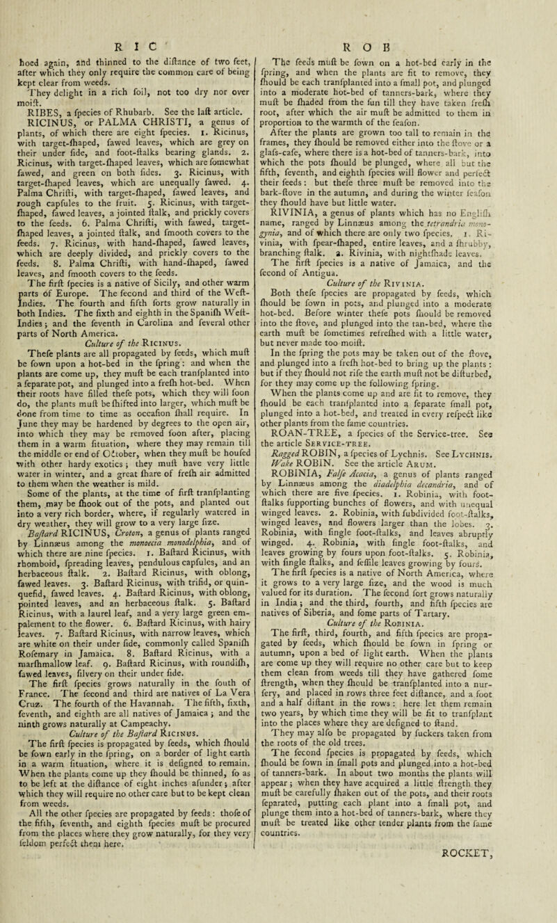 hoed again, flttd thinned to the diftance of two feet, after which they only require the common care of being kept clear from weeds. They delight in a rich foil, not too dry nor over moift. RIBES, a fpecies of Rhubarb. See the laft article. RICINUS, or PALMA CHRISTI, a genus of plants, of which there are eight fpecies. I. Ricinus, with target-fhaped, fawed leaves, which are grey on their under fide, and foot-ftalks bearing glands. 2. Ricinus, with target-fhaped leaves, which are fomewhat fawed, and green on both Tides. 3. Ricinus, with target-fhaped leaves, which are unequally fawed. 4. Palma Chrifti, with target-fhaped, fawed leaves, and rough capfules to the fruit. 5. Ricinus, with target- fhaped, fawed leaves, a jointed llalk, and prickly covers to the feeds. 6. Palma Chrifti, with fawed, target- fhaped leaves, a jointed {talk, and fmooth covers to the feeds. 7. Ricinus, with hand-fhaped, fawed leaves, which are deeply divided, and prickly covers to the feeds. 8. Palma Chrifti, with hand-fhaped, fawed leaves, and fmooth covers to the. feeds. The firft fpecies is a native of Sicily, and other warm parts bf Europe. The fecond and third of the Weft- Indies. The fourth and fifth forts grow naturally in both Indies. The fixth and eighth in theSpanifh Weft- Indies; and the feventh in Carolina and feveral other parts of North America. Culture of the Ricinus. Thefe plants are all propagated by feeds, which muft be fown upon a hot-bed in the fpring: and when the plants are come up, they muft be each traniplanted into a feparate pot, and plunged into a frefh hot-bed. When their roots have filled thefe pots, which they will foon do, the plants muft befhifted into larger, which muft be done from time to time as occafion fhall require. In June they may be hardened by degrees to the open air, into which they may be removed foon after, placing them in a warm fituation, where they may remain till the middle or end of Odtober, when they muft be houfed with other hardy exotics ; they muft have very little water in winter, and a great fhare of frefh air admitted to them when the weather is mild. Some of the plants, at the time of firft tranfplanting them, may be fhook out of the pots, and planted out into a very rich border, where, if regularly watered in dry weather, they will grow to a very large fize. Baflard RICINUS, Croton, a genus of plants ranged by Linnaeus among the monoecia monodelphia, and of which there are nine fpecies. 1. Baftard Ricinus, with rhomboid, fpreading leaves, pendulous capfules, and an herbaceous ftalk. 2. Baftard Ricinus, with oblong, fawed leaves. 3. Baftard Ricinus, with trifid, or quin- quefid, fawed leaves. 4. Baftard Ricinus, with oblong, pointed leaves, and an herbaceous ftalk. 5. Baftard Ricinus, with a laurel leaf, and a very large green em- palement to the flower. 6. Baftard Ricinus, with hairy leaves. 7. Baftard Ricinus, with narrow leaves, which are white on their under fide, commonly called Spanifh Rofemary in Jamaica. 8. Baftard Ricinus, with a marfhmallow leaf. 9. Baftard Ricinus, with roundifh, fawed leaves, filvery on their under fide. The firft fpecies grows naturally in the fouth of France. The fecond and third are natives of La Vera Cruz. The fourth of the Havannah. 1 he fifth, fixth, feventh, and eighth are all natives of Jamaica j and the ninth grows naturally at Campeachy. Culture of the Bajlard Ricinus. The firft fpecies is propagated by feeds, which fhould be fown early in the fpring, on a border of light earth in a warm fituation, where it is defigned to remain. When the plants come up they fhould be thinned, fo as to be left at the diftance of eight inches afunder; after which they will require no other care but to be kept clean from weeds. All the other fpecies are propagated by feeds: thofeof the fifth, feventh, and eighth fpecies muft be procured from the places where they grow naturally, for they very feldom perfect them here. The feeds muft be fown on a hot-bed early in the fpring, and when the plants are fit to remove, they fhould be each traniplanted into a fmall pot, and plunged into a moderate hot-bed of tanners-bark, where they muft be fhaded from the fun till they have taken frefh root, after which the air muft be admitted to them in proportion to the warmth of the feafon. After the plants are grown too tall to remain in the frames, they fhould be removed either into the ftovc or a glafs-cafe, where there is a hot-bed of tanners-bark, into which the pots fhould be plunged, where all but the fifth, feventh, and eighth fpecies will flower and perfedb their feeds : but theie three muft be removed into the bark-ftove in the autumn, and during the winter feafon they fhould have but little water. RlVINIA, a genus of plants which has no Englifh name, ranged by Linnaeus among the tetrandria mono- gynia, and of which there are only two fpecies. 1 Ri~ vinia, with fpear-fhaped, entire leaves, and a fhrubby, branching ftalk. a. Rivinia, with nightfnade leaves. The firft fpecies is a native of Jamaica, and the fecond of Antigua. Culture of the Rivinia. Both thefe fpecies are propagated by feeds, which fhould be fown in pots, and plunged into a moderate hot-bed. Before winter thefe pots fnould be removed into the ftove, and plunged into the tan-bed, where the earth muft be l'ometimes refrefhed with a little water, but never made too moift. In the fpring the pots may be taken out of the ftove, and plunged into a frefh hot-bed to bring up the plants: but if they fhould not rife the earth muft not be difturbed, for they may come up the following fpring. When the plants come up and are fit to remove, they fhould be each traniplanted into a feparate fmall pot, plunged into a hot-bed, and treated in every refpedt like other plants from the fame countries. ROAN-TREE, a fpecies of the Service-tree. See the article Service-tree. Ragged ROBIN, a fpecies of Lychnis. See Lychnis. Wake ROBIN. See the article Arum. ROBINIA, Falfe Acacia, a genus of plants ranged by Linnaeus among the diadelpbia decandria, and of which there are five fpecies. 1. Robinia, with foot- ftalks fupporting bunches of flowers, and with unequal winged leaves. 2. Robinia, with fubdivided foot-ftalks, winged leaves, and flowers larger than the lobes. 3. Robinia, with Angle foot-ftalks, and leaves abruptly winged. 4. Robinia, with Angle foot-ftalks, and leaves growing by fours upon foot-ftalks. 5. Robinia, with Angle ftalks, and feflile leaves growing by fours. The firft fpecies is a native of North America, where it grows to a very large fize, and the wood is much valued for its duration. The fecond fort grows naturally in India ; and the third, fourth, and fifth fpecies are natives of Siberia, and feme parts of Tartary. Culture of the Robinia. The firft, third, fourth, and fifth fpecies are propa¬ gated by feeds, which fhould be fown in fpring or autumn, upon a bed of light earth. When the plants are come up they will require no other care but to keep them clean from weeds till they have gathered forne ftrength, when they fhould be tranfplanted into a nur- fery, and placed in rows three feet diftance, and a foot and a half diftant in the row's : here let them remain two years, by which time they will be fit to tranfplant into the places where they are defigned to ftand. They may alfo be propagated by fuckers taken from the roots of the old trees. The fecond fpecies is propagated by feeds, which fhould be fown in fmall pots and plunged into a hot-bed of tanners-bark. In about two months the plants will appear ; when they have acquired a little ftrength they muft be carefully fhaken out of the pots, and their roots feparated, putting each plant into a fmall pot, and plunge them into a hot-bed of tanners-bark, where they muft be treated like other tender plants from the fame countries. ROCKET,