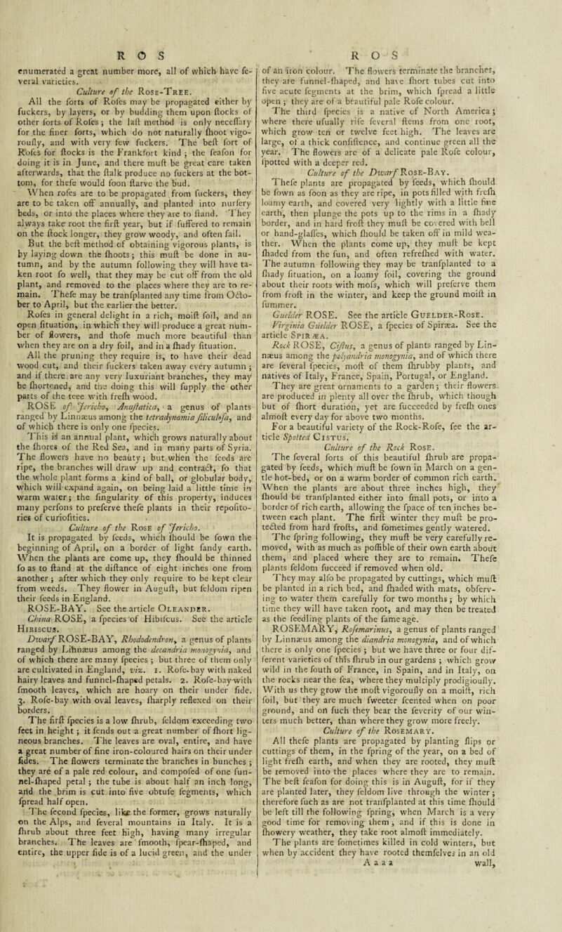 enumerated a great number more, all of which have fe¬ veral varieties. Culture of the Rose-Tree. All the forts of Roles may be propagated either by fuckers, by layers, or by budding them upon flocks of other forts of Roles ; the laft method is only neceflaiy for the finer forts, which do not naturally fhoot vigo- roufly, and with very few fuckers. The beft fort of Rofes for flocks is the Frankfort kind ; the feafon for doing it is in June, and there mufl be great care taken afterwards, that the flalk produce no fuckers at the bot¬ tom, for thefe would foon flarve the bud. When rofes are to be propagated from fuckers, they are to be taken off annually, and planted into nurfery beds, or into the places where they are to Hand. They always take root the firfl year, but if fuffered to remain on the flock longer, they grow woody, and often fail. But the beft method of obtaining vigorous plants, is by laying down the fhoots; this mufl be done in au¬ tumn, and by the autumn following they will have ta¬ ken root fo well, that they may be cut off from the old plant, and removed to the places where they are to re¬ main. I hefe may be tranfplanted any time from Octo¬ ber to April, but the earlier the better. Rofes in general delight in a rich, moifl foil, and an open fituation, in which they will produce a great num¬ ber of flowers, and thofe much more beautiful than when they are on a dry foil, and in a fhady fituation. All the pruning they require is, to have their dead wood cut, and their fuckers taken away every autumn ; and if there are any very luxuriant branches, they may be fhortened, and the doing this will fupply the other parts of the teee with frefh wood. ROSE of “Jericho, Anajiatica, a genus of plants ranged by Linnaeus among the tetradynamia filiculofa, and of which there is only one fpecies. 1 his is an annual plant, which grows naturally about the fhores of the Red Sea, and in many parts of Syria. The flowers have no beauty; but when the feeds are ripe, the branches will draw up and contradl, fo that the whole plant forms a kind of ball, or globular body, which will expand again, on being laid a little time in warm water; the fingularity of this property, induces many perfons to preferve thefe plants in their repofito- ries of curiofities. Culture of the Rose of Jericho. It is propagated by feeds, which lhould be fown the beginning of April, on a border of light fandy earth. When the plants are come up, they fhould be thinned fo as to Hand at the diflance of eight inches one from another; after which they only require to be kept clear from weeds. They flower in Augufl, but feldom ripen their feeds in England. ROSE-BAY. See the article Oleander. China ROSE, a fpecies of Hibilcus. See the article Hibiscus. Dwarf ROSE-BAY, Rhododendron> a genus of plants ranged by Lihnaeus among the decandria monogynia, and of which there are many fpecies ; but three of them only are cultivated in England, viz. i. Rofe. bay with naked hairy leaves and funnel-fhaped petals. 2. Rofe-baywith fmooth leaves, which are hoary on their under fide. 3. Rofe-bay with oval leaves, fharply reflexed on their borders. The firfl fpecies is a low fhrub, feldom exceeding two feet in height ; it fends out a great number of fhort lig¬ neous branches. The leaves are oval, entire, and have a great number of fine iron-coloured hairs on their under fides. The flowers terminate the branches in bunches ; they are of a pale red colour, and compofed of one fun- nel-fhaped petal ; the tube is about half an inch long, and the brim is cut into five obtufe fegments, which fpread half open. The fecond fpecies, 1 iIce the former, grows naturally on the Alps, and feveral mountains in Italy. It is a Ihrub about three feet high, having many irregular branches. The leaves are ' fmooth, fpear-fhaped, and entire, the upper fide is of a lucid green, and the under of an iron colour. The flowers terminate the branches, they are funnel-fhaped, and hare fhort tubes cut into five acute fegments at the brim, which fpread a little open ; they are of a beautiful pale Rofe colour. The third fpecies is a native of North America; where there ufually rife feveral flems from one root, which grow ten or twelve feet high. The leaves are large, of a thick confiftence, and continue green all the year. The flowers arc of a delicate pale Rofe colour, ipotted with a deeper red. Culture of the Dwarf Rose-Bay. Thefe plants arc propagated by feeds, w'hich fhould be fown as foon as they are ripe, in pots filled with frefh. loamy earth, and covered very lightly with a little fine earth, then plunge the pots up to the rims in a fhady border, and in hard froft they mull be covered with bell or hand-glafles, which fliould be taken off in mild wea¬ ther. When the plants come up, they mufl be kept fhaded from the fun, and often refrefhed with water. The autumn following they may be tranfplanted to a fhady fituation, on a loamy foil, covering the ground about their roots with mofs, which will preferve them from frofl in the winter, and keep the ground moifl in fu miner. Guelder ROSE. See the article Guelder-Rose. Virginia Guelder ROSE, a fpecies of Spiraea. See the article Spirvea. Rock ROSE, Cijlus, a genus of plants ranged by Lin¬ naeus among the polyandria monogynia, and of which there are feveral fpecies, mod of them fhrubby plants, and natives of Italy, France, Spain, Portugal, or England. They are great ornaments to a garden; their flowers are produced in plenty all over the fhrub, which though but of fhort duration, yet are fucceeded by frefh ones almofl every day for above two months. Fora beautiful variety of the Rock-Rofe, fee the ar¬ ticle Spotted C1 ST us . Culture of the Rock Rose. The feveral forts of this beautiful fhrub are propa¬ gated by feeds, which mufl be fown in March on a gen¬ tle hot-bed, or on a warm border of common rich earth. When the plants are about three inches high, they fhould be tranfplanted either into fmall pots, or into a border of rich earth, allowing the fpace of ten inches be¬ tween each plant. The firll winter they mufl be pro¬ tected from hard frofls, and fometimes gently w'atered. The fpring following, they mufl be very carefully re¬ moved, with as much as poffible of their own earth about them, and placed where they are to remain, Thefe plants feldom fucceed if removed when old. They may alfo be propagated by cuttings, which mufl be planted in a rich bed, and fhaded with mats, obferv- ing to water them carefully for two months; by which time they will have taken root, and may then be treated as the feedling plants of the fame age. ROSEMARY, Rofemarinus, a genus of plants ranged by Linnaeus among the diandria monogynia, and of which there is only one fpecies ; but we have three or four dif¬ ferent varieties of this fhrub in our gardens ; which grow wild in the fouth of France, in Spain, and in Italy, on the rocks near the fea, where they multiply prodigioufly. With us they grow the mofl vigoroufly on a moilt, rich foil, but they are much fweeter Rented when on poor ground, and on fuch they bear the feverity of our win¬ ters much better, than where they grow more freely. Culture of the Rosemary. All thefe plants are propagated by planting flips or cuttings of them, in the fpring of the year, on a bed of light frefh earth, and when they are rooted, they mufl be removed into the places where they are to remain. The beft feafon for doing this is in Augufl, for if they are planted later, they feldom live through the winter; therefore fuch as are not tranfplanted at this time fhould be left till the following fpring, when March is a very good time for removing them; and if this is done in fhowery weather, they take root almofl immediately. The plants are fometimes killed in cold winters, but when by accident they have rooted themfelves in an old A a a a wall.