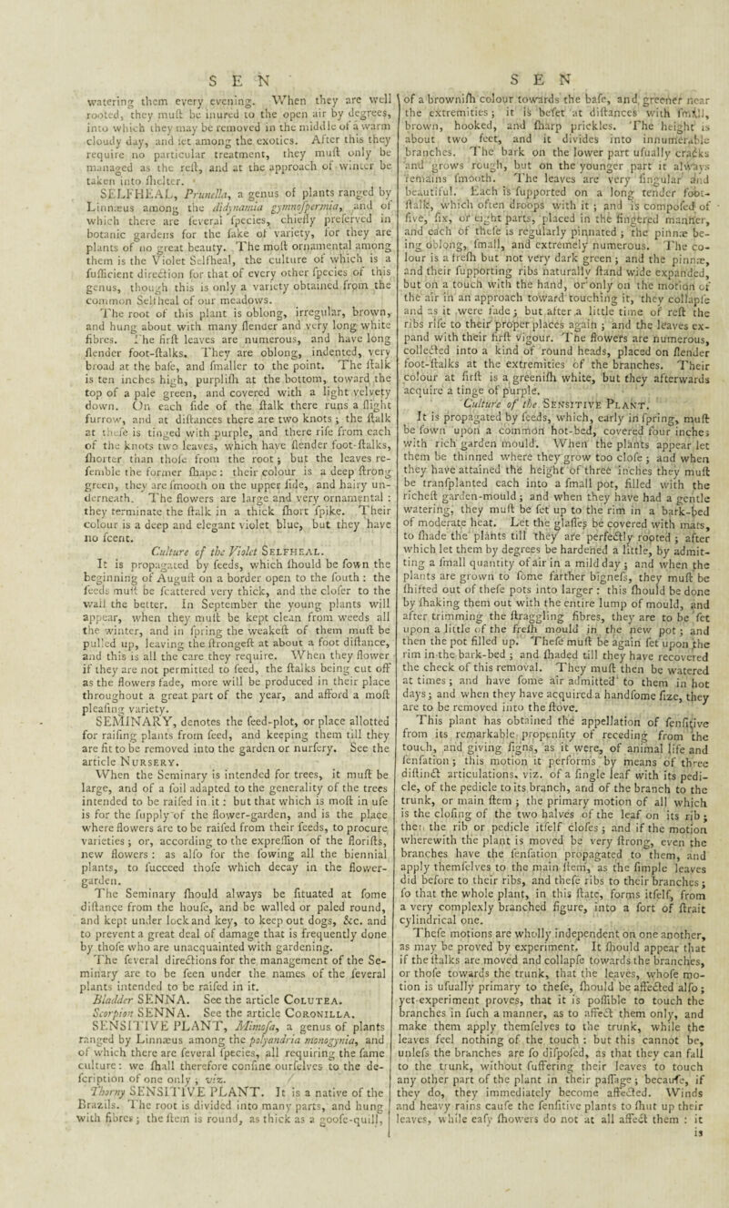SEN' watering them every evening. When they are well rooted, they mud be inured to the open air by degrees, into which they may be removed in the middle ot a warm cloudy day, and let among the exotics. After this they require no particular treatment, they mud only be managed as the red, and at the approach of winter be taken into flicker. * SELFHEAL, Prunella, a genus of plants ranged by Linnaeus among the didynamia gymnofperrnia, and of which there are l'everai fpecies, chiefly preferved in botanic gardens for the fake of variety, for they are plants of no great beauty. The mod ornamental among them is the Violet Selfheal, the culture or which is a fufficient direction for that of every other fpecies ot this genus, though this is only a variety obtained from the common Selfheal of our meadows. Tire root of this plant is oblong, irregular, brown, and hung about with many (lender and very long white fibres. I he flrd leaves are numerous, and have long {lender foot-dalks. They are oblong, indented, very broad at the bafe, and fmaller to the point. The italic is ten inches high, purplifh at the bottom, toward the top of a pale green, and covered with a light velvety down. On each fide of the dalk there runs a flight furrow, and at didances there are two knots ; the dalk at theft is tinged with purple, and there rife from each of the knots two leaves, which have flender foot-dalks, (hotter than thoft from the root ; but the leaves re- fenible the former fit ape : their colour is a deep drong green, they are fmooth on the upper fide, and hairy un¬ derneath. The flowers are large and very ornamental : they terminate the dalk in a thick fhort fpike. Their colour is a deep and elegant violet blue, but they have no feent. Culture cf the Violet Selfheal. It is propagated by feeds, which fhould be Town the beginning of Auguft on a border open to the Couth : the feeds mult be fcattered very thick, and the clofer to the wail the better. In September the young plants will appear, when they mult be kept clean from weeds all the winter, and in fpring the weaked of them mud be pulled up, leaving the drongeft at about a foot didance, and this is all the care they require. When they flower if they are not permitted to feed, the (talks being cut oft as the flowers fade, more will be produced in their place throughout a great part of the year, and afford a moft pleafing variety. SEA1INARY, denotes the feed-plot, or place allotted for raifing plants from feed, and keeping them till they are fit to be removed into the garden or nurfery. See the article Nursery. When the Seminary is intended for trees, it muft be large, and of a foil adapted to the generality of the trees intended to be raifed in it: but that which is moft in ufe is for the fupply'of the flower-garden, and is the place where flowers are to be raifed from their feeds, to procure varieties ; or, according to the expreffion of the florifts, new flowers : as alfo for the lowing all the biennial plants, to lucceed thofe which decay in the flower- garden. The Seminary fhould always be fituated at fome diftance from the houfe, and be walled or paled round, and kept under lock and key, to keep out dogs, &c. and to prevent a great deal of damage that is frequently done by thofe who are unacquainted with gardening. The feveral directions for the management of the Se¬ minary are to be feen under the names of the feveral plants intended to be raifed in it. Bladder SENNA. See the article Colutea. Scorpion SENNA. See the article Coronilla. SENSITIVE PLANT, Mimofa, a genus of plants ranged by Linnaeus among the polyandria mcnogynia, and of which there are feveral fpecies, all requiring the fame culture: wc fhall therefore confine ourfelves to the de- feription of one only , viz. Thorny SENSITIVE PLANT. It is a native of the Brazils. The root is divided into many parts, and hung with fibres; the ftem is round, as thick as a goofc-quill, SEN of a browni/h colour towards the baft, and, greener near the extremities; it is befet at diftances with frrnUf, brown, hooked, and fharp prickles. The height is about two feet, and it divides into innumerable branches. The bark on the lower part ufually cradks and grows rough, but on the younger part it always remains fmooth. The leaves are very lingular and beautiful. Each is fupported on a long tender fobt- flalk, which often droops with it ; ;md is Compofetf of five, fix, of eight parts, placed in the fingered manner, and each of thefe is regularly pinnated ; the pirtnae be¬ ing oblpng, lmall, and extremely numerous. The co¬ lour is a frefh but not very dark green ; and the pinna?, and their fupporting ribs naturally ftand wide expanded, but on a touch with the hand, or only on the motion of the air in an approach toward touching it, they collaple and as it .were fade; but after.a little time of reft the ribs rift to their proper places again ; and the leaves ex¬ pand with their firft vigour. The flowers are numerous, collected into a kind of round heads, placed on flender foot-ftalks at the extremities of the branches. Their colour at firft is a greenifh white, but they afterwards acquire a tinge of purple. Culture of //^Sensitive Plant. It is propagated by feeds, which, early in fpring, muft be fown upon a common hot-bed, covered four inches with rich garden mould. When the plants appear let them be thinned where they grow too clofe ; and when they have attained the height of three inches they muft be tranfplanted each into a fmall pot, filled with the richeft garden-mould ; and when they have had a gentle watering, they muft be fet up to the rim in a bark-l?ed of moderate heat. Let the glafies be covered with mats, to fliade the plants till they are perfectly rooted ; after which let them by degrees be hardened a little, by admit¬ ting a lmall quantity of air in a mild day ; and when the plains are grown to fome farther bignefs, they muft be Ihifted out of thefe pots into larger : this fhould be done by fhaking them out with the entire lump of mould, and after trimming the draggling fibres, they are to be fet upon a little of the frefh mould in the new pot; and then the pot filled up. Thefe muft he again fet upon the rim in the bark-bed ; and fhaded till they have recovered the check of this removal. They muft then be watered at times; and have fome air admitted' to them in hot days; and when they have acquired a handfome fize, they are to be removed into theftove. This plant has obtained the appellation of fenfi(;ive from its remarkable propenfity of receding from the touch, and giving figns, as it were, of animal life and fenfation; this motion it performs by means of three diftin£t articulations, viz. of a fingle leaf with its pedi¬ cle, of the pedicle to its branch, and of the branch to the trunk, or main ftem ; the primary motion of all which is the clofing of the two halves of the leaf on its rib ; theii the rib or pedicle itfelf clofes ; and if the motion wherewith the plant is moved be very ftrong, even the branches have the fenfation propagated to them, and apply themfelves to the main Item, as the fimplc leaves did before to their ribs, and theft ribs to their branches ; fo that the whole plant, in this ftatc, forms itfelf, from a very complexly branched figure, into a fort of ftrait cylindrical one. Thefe motions are wholly independent on one another, as may be proved by experiment. It fliould appear that if the ftalks are moved and collapfe towards the branches, or thofe towards the trunk, that the leaves, whofe mo¬ tion is ufually primary to thefe, fhould be affected alfo; yet experiment proves, that it is poffible to touch the branches in fuch a manner, as to affeCt them only, and make them apply themfelves to the trunk, while the leaves feel nothing of the touch : but this cannot be, unlefs the branches are fo difpofed, as that they can fall to the trunk, without fuftering their leaves to touch any other part of the plant in their paflage; becaufe, if they do, they immediately become affected. Winds and heavy rains caufe the fenfitive plants to (hut up their leaves, while eafy fhovvers do not at all affect them : it is