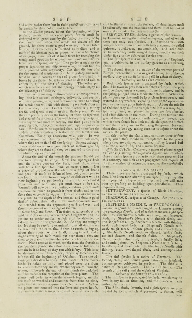 § E £ fend never gather them but in their perfe&ion : this is to be known by their colour and furface. In the Kitchen-garden, about the beginning of Sep¬ tember, weeds rife in every place, which mull be deftroyed with great care by the fpadc, the hoe, or by the hand; and when the weeds are drawn off the ground, let there come a good watering. Sow Dutch lettuce. Let the celery be earthed as it rifes ; and as molt of the kitchen-garden ground will now be cleared of its crops, tome part of it muft ferve for receiving the tranfpianted growths for winter, and lome muft be re¬ ferred for the fpring fowing. The gardener making the proper feparation and difpofition now, he will find his work proceed with regularity. Let that divifion ufed for the autumnal tranfplantation be dug deep and well : let it be laid in borders or beds of proper form, and this broke by the fpade : let it lie expoled to dew and rain to enrich it, till the time of planting. The other part which is to lie vacant till the fpring, Ihould enjoy all the advantages of fallow. The time for making mufnroom-beds is now approach¬ ing ; the lute onions, cabbages, coleworts,. and carrots, will be appearing now, and care muft be taken to deftroy the weeds that will rife with them. Save feeds from all kinds as they ripen. Gather them fucceffively as they are fit, and fpread them in an airy, fhady place. When they are perfectly dry in the hufks, let them be feparated and cleared from them : after which they may be fpread out a day or two more to harden, and then put up to be ready tor ufe. Broccoli, at this time, requires particular care. Frofts are to be expected foon, and therefore the middle of this month is * feafon for the lateft tranf- plantation. Earth up chardoons with care. In wet days continue tranfplanting. Tranfplant coleworts, where they are to ftand till the fpring. Set out cabbage- plants at diftances, in a good piece of mellow ground, where they are to ftand till they be removed to the place in which they are to remain. About the end of the month the gardener fhould yet fow* forne young fallading. Drefs the afparagus beds and the alleys between the beds, and thole alleys will be a fine (pot for fome colewort-plants. Let a piece of ground be well chofen for a crop of beans and peas : it muft be defended from cold, and open to the fouth fun. The fo-mer crop of cauliflowers will be now beginning to get heads ; they muft be defended from fun and rain, and yet muft have a free air. Broccoli will now be in a promifing condition ; care muft therefore be taken to protect it from frofts, and at the fame time encreafe its vigour. Break the earth between the plants to the depth of five inches, and draw a good deal of it about their ftalks. The mufhroom-beds muft be defended from the approaching cold and wet, and fhould be covered with a ridge of thatch. Green-houfe and Stove. The feafon advances about the middle of this month, when the cold nights will be in¬ jurious to tender exotics, which muft be defended by taking them into the green-houfe. As they are brought in, let them be carefully examined. Let all dead leaves be taken off: the earth fhould then be carefully dug up about their roots, with a fmall, ftrong trowel, and a flight covering of frefh mould put over them : they are then to be placed handfomely on the benches, and on the floor. None receive fo much benefit from the free air as the lucculent plants, they fhould therefore be fuffered to remain in it as long as they can with fafety. This is to be determined by the weather; they may fometimes be left out till the beginning of October. Take the ad¬ vantage of dry days to bring in the plants: let the tender kinds be taken in firft, and placed near the front fometime before they are fet, where they are to ftand the winter. Towards the end of this month the bark-bed muft be made for the reception of the ftove-plants. The plants muft be fet in when the warmth begins, and the bed muft be watched and examined from time to time, to fee that it does not acquire too violent a heat. When the plants are removed into the ftove and green-houfe, the fame care and management muft be uftd ; the earth S H E muftbeftirred a little at the furfacc, all dead leaves muft be taken off, and the branches and ftems muft be looked over and cleared of foulnefs and infedts. SERVICE-TREE, Sorbus, a genus of plants ranged by Linnaeus among the icofandria trigynia, and of which there are only two fpecics. i. Service-tree, with winged leaves, frnooth on both fidcs ; commonly called quicken, quickbeam, mountain-afh, and roan-tree. 2. Service-tree, with winged leaves, woolly on their under-fide ; or the cultivated Service-tree. The firft fpecies is a native of many parts of England, and is cultivated in the nurfery-gardens as a flowering fhrub. The fecond fpecies is a native of the warmer parts of Europe, where the fruit is in great efteem, but, like the medlar, they are not fit for eating till in a ftate of decay. Culture of the Service-tree. Both thefe fpecies are propagated by feeds, which fhould be fown in pots foon after they are ripe; the pots muft be placed under a common frame in winter, and in the Ipring plunged into a moderate hot-bed. When the plants come up they muft be kept clean from weeds, and watered in dry weather, expofing them to the open air as foon as they have got a little ftrength. About the middle of October they muft be tranfpianted into a warm, light fpot of ground, and planted in rows two feet afun !er, and afoot diftance in the rows. During the fummer the ground fhould be kept conftantly clear from weeds. In winter there fhould be a little mulch laid upon the furface about their roots, and in the fpring the ground between them fhould be dug, taking care not to injure or cut the roots of the plants . In this nurfery the plants may continue three or four years, when they fhould be tranfpianted to the places where they are designed to remain. They fucceed beft in a ftrong, moift foil, and a warm fituation. Wild SERVICE, Cratecgus, a genus of plants ranged by Linnaeus among the icofandria dlgynia, and of which there are .nine fpecies : but as fome of them grow wild in this country, and fuch as are propagated here require all the fame method of culture, it is notneceflary todeferibe them. Culture of the Wild Service. Thefe trees are beft propagated by feeds, which fhould be fown foon after they are ripe. They may all'o be propagated by layers or cuttings, and they will take root by grafting or budding upon pear-ftocks. They require a ftrong deep foil. SETTERWORT, a fpecies of Black Hellebore. See the article Black Hellebore. SHADDOCK, a fpecies of Orange. See the article Orange-tree. SHEPHERD’S NEEDLE, or VENUS’S COMB, Scandix, a genus of plants ranged by Linnaeus among the pentandria digynia, and of which there are eight fpe¬ cies. i. Shepherd’s Needle with angular, furrowed feeds. 2. Shepherd’s Needle with frnooth feeds, and the longeft beak. 3. Shepherd’s Needle with fhining, oval, awl-fhaped feeds. 4. Shepherd’s Needle with oval, rough feeds, uniform petals, and a frnooth ftalk. 5. Shepherd’s Needle with awl-fhaped, briftly feeds; radiated flowers, and frnooth ftalks. 6. Shepherd’s Needle with cylindrical, briftly feeds, a briftly ftalk, and tumid joints. 7. Shepherd’s Needle with a hairy foot-ftalk, and fhort feeds. 8. Shepherd’s Needle with fhining, oval, awl-fhaped feeds, and decompounded leaves. The firft fpecies is a native of Germany. The fecond, third, and fourth grow naturally in England, but are never cultivated in gardens. The fifth is a native of Italy and Crete. The fixth of Sicily. The feventh of the eaft ; and the eighth of Virginia. Culture of the Shepherd’s Needle. The firft fpecies is propagated by feeds, which mav be fown in any foil or fituation, and the plants will rife without farther care. The fifth, fixth, feventh, and eighth fpecies are pro¬ pagated by feeds, which if permitted to fcatter, will raife