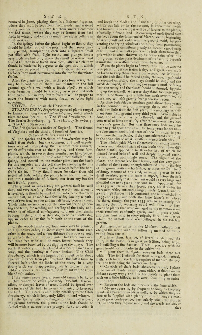 removed in June, placing them in a flieltered fituation, where they muft be kept clean from weeds, and watered in dry weather. In autumn let them under a common hot-bed frame, where they may be fecured from hard frofts in winter, and enjoy as much free air ds polfible in mild weather. In the fpring, before the plants begin to Ihoot, they Ihould be Ihaken out of the pots, and their roots care¬ fully parted, tranfplanting each into a feparate fmall pot filled with frefh, light earth, and plunged into a very moderate hot-bed, where they muft be watered and fhaded till they have taken new root, after which they Ihould be hardened by degrees to the open air, in which they may be placed in June, and about the end of G&ober they muft be removed into Ihelter for the winter feafon. After the plants have been in the pots four years, they may be turned out of them, and planted in the full ground againft a wall with a fouth afpedl, to which their branches Ihould be trained, as is pradliled with fruit trees: but in very fevere frofts it will be proper to cover the branches with mats, ftravv, or other light covering. STOVE. See the article Hot-house. STRAWBERRY, Fragariay a genusof plants ranged by Linnaeus among the icofandria polygirtia, and of which there are four fpecies. I. The Wood Strawberry. 2. The Scarlet Strawberry. 3. The Hautboy Strawberry. 4. The Chili Strawberry. The firft fpecies is a native of England. The fecond of Virginia; and the third and fourth of America. Culture of the Strawberry. All the fpecies and varieties of Strawberries may be raifed from feeds : but the common, and moft expedi¬ tious way of propagating them is from their runners, which eafily take root at their joints, and there form plants, which, in two or three months, are fit to be cut off and tranfplanted. Thofe which root earlieft In the fpring, and neareft to the mother plant, are the fitteft for this purpofe : and the beft time for removing them is in October, that they may get new roots before the hard frofts fet in. They Ihould never be taken from old negledted beds, where the plants have been fuffered to run into a multitude of fuckers, nor from any but the moft fruitful plants. The ground in which they are planted muft be well due, and very carefully cleared of weeds ; and when it is fevelled, it fhould be marked out into beds three feet and an half, or at moft four feet wide, leaving a path¬ way of two feet, or two and an half broad between them. Thefe paths are neceflary for the convenience of gather¬ ing the fruit, for weeding and dreffingof the beds, and, which is of eflential confequence to plants that remain fo long in the ground as thefe do, to be frequently dug up, in order to lay fine frelh earth to the roots of the plants. Of the wood-ftrawberry, four rows may be planted, in a quincunx order, at about eight inches from each other in the rows, and a foot diftance from row to row, in the beds that are four feet wide : but three rows in a bed three feet wide will do much better, becaufe they will be more benefited by the digging of the alleys. The fcarlet ftrawberry muft be planted at a foot diftance every way, and the hautboy at fixteen inches. The Chili ftrawberry, which is the largeft of all, muft be fet about two feet diftance from plant to plant: this laft is found to fucceed beft under the fliade of the trees, in a very ftrong brick earth, approaching nearly to clay : but it feldoms perfedls its fruit here, fo as to anfwer the trou¬ ble of cultivation. If the winter prove fevere, fome old tanner's bark, or if that cannot be eafily procured, faw-duft, fea-coal allies, or decayed leaves of trees, Ihould be fpread over the furface of the bed, between the plants, to keep out the froft. This care is abfolutely neceflary to the Chili ftrawberry, which is frequently killed in hard winters. In the fpring, after the danger of hard froft is over, the ground between the plants in the beds Ihould be forked with a narrow three-pronged fork, to loofen it and break the clods : and if the tan, or other covering-, which was laid on in the autumn, is then mixed with and buried in the earth, it will be of fervice to the plants, efpecially in ftrong land. A covering of mofs fpread over the beds about the latter end of March, or the beginnirf- of April, will not only keep the ground moift, by pre° venting the drying winds of the fpring from penetrating it, and thereby contribute greatly to fecure a good crop of fruit; but it will alfo preferve the fruit cleanlrom that grit which is often thrown up by heavy rains after it is full grown, to the great detriment of its flavour, becaufe it muft then be walhed before it can be eaten. When the plants begin to flower, they muft be watered very plentifully if the feafon is dry, and great care muft be taken to keep them clear from weeds. At Michael¬ mas the beds fhould be forked again, the weedino-s Ihould be repeated carefully, the alleys Ihould be dug,^and the weeds deftroyed, all the ftrings or runners muft betaken from the roots, and the plants Ihould be thinned, by pul¬ ling up the weakeft, wherever they ftand too clofe toge¬ ther. The throwing of a little fine earth over them °at that time, will alfo greatly ftrengthen their roots. 5 As thefe beds feldom continue good above three years, in the common way of managing them, and as thev yield but little fruit the firft year • it is neceflary to new plant fome frelh ground every third year. When this is done, the old beds may be deftroyed, and the ground converted to fome other ufe, after the new ones have had one year’s growth. But that ftrawberry beds may be made to yield good crops even for fome years longer than the abovementioned uf'ual term of their duration,0 is per¬ haps more than probable, if they are cultivated according to the principles of what is called the new hufbandry. The indefatigable M. de Chateauvieux, among his nu¬ merous and judicious trials of that hufbandry, upon dif¬ ferent plants, applied it to ftrawberries, of which he planted feveral beds of well and deeply loofened earth, fix feet wide, with Angle rows. The vigour of the plants, the largenefs of their leaves, and the very great number of their roots, though cultivated only by ftirrino- of the ground with the horfe-hoe, without the leaft help of dung, manure of any kind, or watering even in the drieft weather, gave him room to expedt, before the firft fummer was over, that their fruit would be very lar^e and plentiful the next year : nor was he difippointed ; for in 1754, which was their fecond year, his ftrawbe’rries were admirable, extremely large, finely Rented, and of a very high flavour. He continued the fame method in 1755 and 1756, and with the fame fuccefs as before. In fhort, though the year 1755 was fo extremely hot and dry, that no watering could well fuffice to keep alive the plants that were managed in the common way; thefe remained conftantly green, and in great vigour’ and their fruit was, in every refpedl, finer than that on which the utmoft care was bellowed in his kitchen garden. An ingenious writer in the Mufeum Rufticum has obliged the world with the following method of culti¬ vating ftrawberries. “ I have them, fays he, of feveral kinds ; and the fruit, in the feafon, is in great perfedion, being lare-e, and poffefling a fine flavour. Thefe I procure with no great trouble or difficulty in the cultivation. “ 1 plant them in regular rows on beds three feet wide. The foil I choofe for them is a good, natural frelh, rich loam : the lefs it requires of manure the bet¬ ter, the fruit being the fweeter and finer. “ On each of thefe beds above-rhentioned, I plant three rows of plants, in quincunx order, at fifteen inches diftance every way ; and I rather choofe to plant them each on a little hillock, as it were, fomething in imita¬ tion of hops. “ Between the beds are intervals of the fame width. “ My next care is, by frequent hoeing, to keep my plants as clear from weeds as polfible, by which they are fure to be fupplied with plenty of nourilhment; a mat¬ ter of great confequence, particularly when the fruit is fet, as then they require moft, and the weeds are alfo at that