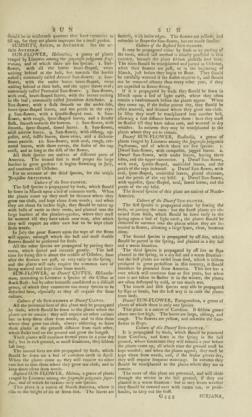 SUM fnould be in wildernefs quarters that have vacancies to fill up, for they are plants improper for a l'mall garden. SUMMITS, Apices, or Anthers. See the ar¬ ticle Anthers. SUN-FLOWER, Helianthus, a genus of plants ranged by Linnaeus among the fyngenefia polygamia fruf- iranaa, and of which there are ten fpecies. i. Sun¬ flower, with all the leaves heart-fhaped, veins uniting behind at the bafe, but towards the border naked ; commonly called Annual Sun-flower. 2. Sun¬ flower, with the under leaves heart-fhaped, veins uniting behind at their bafe, and the upper leaves oval; commonly called Perennial Sun-flower. 3. Sun-flower, with oval, heart-fhaped leaves, with the nerves uniting in the leaf ; commonly called Jerufalem Artichoke. 4. Sun-flower, with a ftalk fmooth on the under-fide, heart-fpear-fhaped leaves, and ten petals in the rays. 5. Sun-flower, with a fpindle-fhaped root. 6. Sun¬ flower, with rough, fpear-fhaped leaves, and a {lender ftalk, fmooth towards the bottom. 7. Sun-flower, with fmooth, fpear-fhaped, fawed leaves. 8. Sun-flower, with narrow leaves. 9. Sun-flower, with oblong, op- pofite, oval, fefflle leaves, three veins, and a dichoto¬ mous panicle. 10. Sun-flower, with oval, rough, cre- nated leaves, with three nerves, the fcales of the cup eredt, and as long as the difk of the flower. All thefe fpecies are natives of different parts of America. The fecond fort is mod proper for large borders in great gardens : it begins flowering in July, and continues till October. For an account of the third fpecies, fee the article Jerufdhm Artichoke. Culture of the Sun-flower. The firfl fpecies is propagated by feeds, which fhould be fown in March upon a bed of common earth. When the plants come up they muft be thinned where they grow too clofe, and kept clean from weeds ; and when they are about fix inches high, they fhould be taken up with balls of earth to their roots, and planted into the large borders of the pleafure-garden, where they muft be watered till they have taken new root, after which they will require no other care but to be kept clean from weeds. In July the great flowers upon the tops of the Items will appear, amongft which the beft and molt double flowers fhould be preferved for feeds. All the other fpecies are propagated by parting their roots, which fpread and increafe greatly. The beft time for doing this is about the middle of October, foon after the flowers are paft, or very early in the fpring: and the plants will only require the common care of being watered and kept clear from weeds. SUN-FLOWER, or Dwarf CISTUS, Helianthe- mum, according to Linnaeus a fpecies of the Ciftus or RockRofe : but by other botanifts conlidered as a diftindt genus, of which they enumerate too many fpecies to be defcribed here, efpecially as they all require the fame culture. Culture of the Sun-flower or Divarf Cistus. All the perennial forts of this plant may be propagated by feeds, which fhould be fown in the places where the plants are to remain : they will require no other culture but to keep them clear from weeds, and to thin them where they grow too clofe, always obferving to leave thole plants at the greateft diftance from each other, whole ftalks trail on the ground and grow the longeft. Thefe plants will continue feveral years in a poor dry foil; but in rich ground, or moift fituations, they feldom laft long. The annual forts are alfo propagated by feeds, which fhould be fown on a bed of common earth in April. When the plants come up they will require no other care but to thin them where they grow too clofe, and to keep them clean from weeds. Bajlard SUN-FLOWER, He/inia, a genus of plants ranged by Linnaeus among the fyngenefia polygamia fuper- fiua, and of which he reckons only one fpecies. This plant is a native of North America, where it rifes to the height of fix or feven feet. The leaves are SUM fmooth, with intire edges. The flowers are yellovV, and refemble in fhape the Sun-flower, but are much fmaller. Culture of the Bajlard Sun-flower. It may be propagated either by feeds or by parting of the roots, which laft method is ufually pradfifed in this country, becaufe the plant feldom perfects feed here. The roots fhould be tranfplanted and parted in October, when their flowers are paft, or in the beginning of March, juft before they begin to fhoot. They fhould be carefully watered if the feafon requires it, and fhould not be removed oftener- than every other year, if they are expected to flower ftrong. If it is propagated by feeds they fhould be fown in March upon a bed of light earth, where they often remain a twelvemonth before the plants appear. When they come up, if the feafon proves dry, they fhould be often watered, and thinned where they grow too clofe. In May they muft be tranfplanted into another bed, allowing a foot diftance between them : here they muft: be fliaded till they have taken root, and watered in dry weather. In autumn they may be tranfplanted to the places where they are to remain. Dwarf SUN-FLOWER, Rudheckia, a genus of plants ranged by Linnaeus among the fyngenefia polygamia frujlraneea, and of which there are five fpecies. 1. Dwarf Sun-flower, with compofite, jagged leaves. 2. Dwarf Sun-flower, with under leaves, having three lobes, and the upper ones entire. 3. Dwarf Sun-flower, with oval, fpattle-fhaped, undivided leaves, and the petals of the rays indented. 4. Dwarf Sun-flower, with oval, fpear-fhaped, undivided leaves, placed alternate, and the petals of the ray bifid. 5. Dwarf Sun-flower, with oppofite, fpear-fhaped, oval, fawed leaves, and the petals of the ray bifid. The feveral fpecies of this plant are natives of North- America. Culture of the Dwarf Sun-flower. The firft fpecies is propagated either by fowing the feeds, or parting the roots: but the fineft plants are ob¬ tained from feeds, which fhould be fown early in the fpring upon a bed of light earth j the plants fhould be removed in autumn into the places where they are in¬ tended to flower, allowing a large fpace, clear, between them. The fecond fpecies is propagated by ofF-fets, which fhould be parted in the fpring, and planted in a dry foil and a warm fituation. The third fpecies is propagated by off fets or flips planted in the fpring, in a dry foil and a warm fituation: but the beft plants are railed from feed, which is feldom produced in great perfe&ion in this country, it fhould therefore be procured from America. This fort has a root which will continue four or five years, but when care is not taken to fhelter it in the winter, the plants are often deftroyed by cold, or too much wet. The fourth and fifth fpecies may alfo be propagated by flips or heads, but the beft way is to raife the plants from feeds. Dwarf SUN-FLOWER, Tetragonotheca, a genus of plants of which there is only one fpecies- This plant is a native of Carolina. It feldom grows above two feet high. The leaves are large, oblong, and rough. The flowers are yellow, and refemble the Sun¬ flower in fhape. Culture of this Divarf Sun-flower. It is propagated by feeds, which fhould be procured from Carolina, and fown in the fpring in the full ground, where fometimes they will remain a year before the plants come up, all which time the ground muft be kept weeded ; and when the plants appear, they muft be kept clean from weeds, and, if the feafon proves dry, they will require frequent waterings. In autumn they fhould be tranfplanted to the places where they are to remain. The roots of this plant are perennial, and will abide through the winter in the full ground, if they are planted in a warm fituation : but in very fevere weather they fhould be covered over with rotten tan, or peafe- haulm, to keep out the froft. Gggg SURIANA,