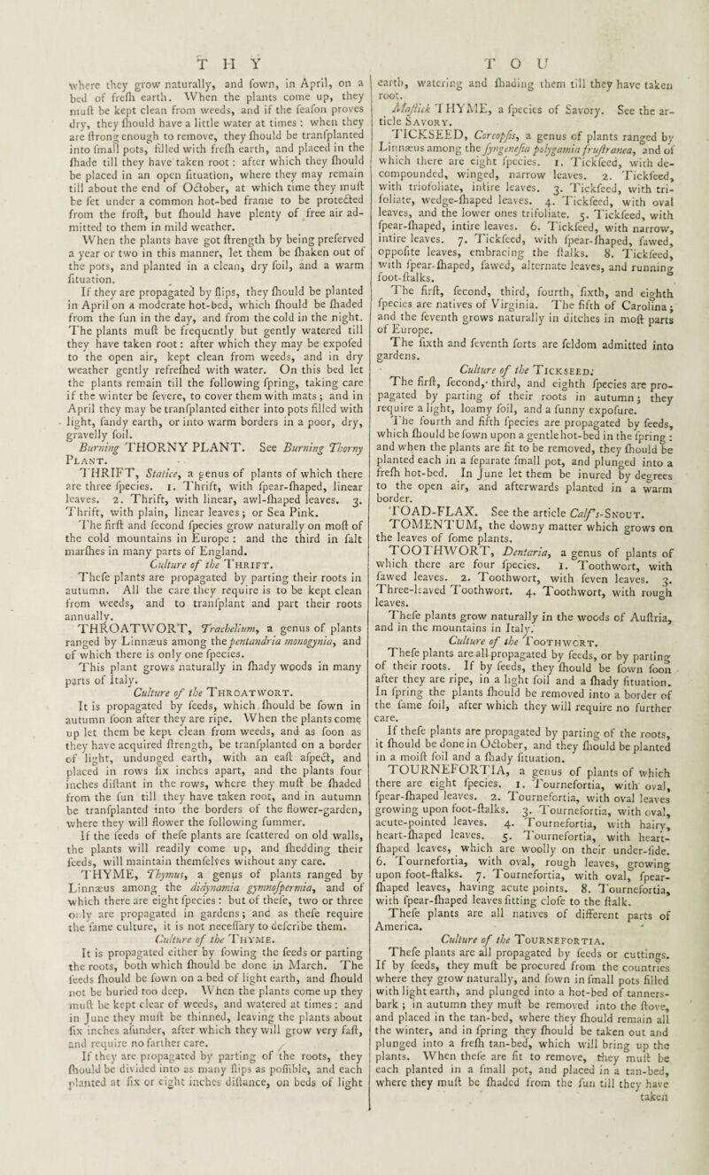 where they grow naturally, and Town, in April, on a bed of frefh earth. When the plants come up, they muft be kept clean from weeds, and if the feafon proves dry, they fhould have a little water at times : when they are lirong enough to remove, they fhould be tranlplanted into fmall pots, filled with frefh earth, and placed in the fhade till they have taken root : after which they fhould be placed in an open fituation, where they may remain till about the end of Odfober, at which time they muff be fet under a common hot-bed frame to be protected from the froft, but fhould have plenty of free air ad¬ mitted to them in mild weather. When the plants have got ftrength by being preferved a year or two in this manner, let them be fhaken out of the pots, and planted in a clean, dry foil, and a warm fituation. If they are propagated by flips, they fhould be planted in April on a moderate hot-bed, which fhould be fhaded from the fun in the day, and from the cold in the night. The plants muff be frequently but gently watered till they have taken root: after which they may be expofed to the open air, kept clean from weeds, and in dry weather gently refrefhed with water. On this bed let the plants remain till the following fpring, taking care if the winter be fevere, to cover them with mats; and in April they may be tranfplanted either into pots filled with light, l'andy earth, or into warm borders in a poor, dry, gravelly foil. Burning THORNY PLANT. See Burning Thorny Plant. THRIFT, Statice, a genus of plants of which there are three fpecies. i. Thrift, with fpear-fhaped, linear | leaves. 2. Thrift, with linear, awl-fhaped leaves. 3. Thrift, with plain, linear leaves; or Sea Pink. The firft and fecond fpecies grow naturally on mod of the cold mountains in Europe : and the third in fait marfhes in many parts of England. Culture of the Thrift. Thefe plants are propagated by parting their roots in autumn. All the care they require is to be kept clean from weeds, and to tranfplant and part their roots annually. THRO AT WORT, Trachelium, a genus of plants ranged by Linnaeus among thqpentandria monogynia, and of which there is only one fpecies. This plant grows naturally in fhady woods in many parts of Italy. Culture of the Throat wort. It is propagated by feeds, which fhould be fown in autumn loon after they are ripe. When the plants come up let them be kept clean from weeds, and as foon as they have acquired flrength, be tranfplanted on a border of light, undunged earth, with an eaft afpect, and placed in rows fix inches apart, and the plants four inches diflant in the rows, where they muft be fhaded from the fun till they have taken root, and in autumn be tranfplanted into the borders of the flower-garden, where they will flower the following fummer. If the feeds of thefe plants are fcattered on old walls, the plants will readily come up, and fhedding their feeds, will maintain themfelves without any care. THYME, Thymus, a genus of plants ranged by Linnaeus among the didynamia gymnofpermia, and of which there are eight fpecies : but of thefe, two or three Oi ly are propagated in gardens; and as thefe require the fame culture, it is not neceflary to deferibe them. Culture of the Thyme. It is propagated either by fowing the feeds or parting the roots, both which fhould be done in March. The feeds fhould be fown on a bed of light earth, and fhould not be buried too deep. When the plants come up they muft be kept clear of weeds, and watered at times : and in June they muft be thinned, leaving the plants about fix inches afunder, after which they will grow very fall, and require no farther care. If they are propagated by parting of the roots, they fhould be divided into as many flips as poflible, and each planted at fix or eight inches diftance, on beds of light earth, watering and fhading them till they have taken root. Majlick T HYME, a fpecies of Savory. See the ar¬ ticle Savory. I ICKSEED, Coreopfis, a genus cf plants ranged by Linnaeus among the fyngenefa polygamia fruflranea, and of which there are eight fpecies. 1. Tickfeed, with de¬ compounded, winged, narrow leaves. 2. Tickfeed, with triofoliate, inlire leaves. 3. Tickfeed, with tri¬ foliate, wedge-fhaped leaves. 4. Tickfeed, with oval leaves, and the lower ones trifoliate. 5. Tickfeed, with fpear-fhaped, intire leaves. 6. Tickfeed, with narrow, intire leaves. 7. Tickfeed, with fpear-fhaped, fawed, oppofite leaves, embracing the ftalks. 8. Tickfeed, with fpear-fhaped, fawed, alternate leaves, and running foot-ftalks. The firft, fecond, third, fourth, fixth, and eighth fpecies are natives of Virginia. The fifth of Carolina; and the feventh grows naturally in ditches in moft parts of Europe. The fixth and feventh forts are feldom admitted into gardens. Culture of the Tickseed; The firft, fecond,- third, and eighth fpecies are pro¬ pagated by parting of their roots in autumn; they require a light, loamy foil, and a funny expofure. The fourth and fifth fpecies are propagated by feeds, which fhould be fown upon a gentlehot-bed in the fpring : and when the plants are fit to be removed, they fhould be planted each in a feparate fmall pot, and plunged into a frefh hot-bed. In June let them be inured by degrees to the open air, and afterwards planted in a warm border. I OAD-FLAX. See the article Calfs-Snout. TOMENTUM, the downy matter which grows on the leaves of fome plants. TOOT HWORT, Dentaria) a genus of plants of which there are four fpecies. 1. Toothwcrt, with fawed leaves. 2. Toothwort, with feven leaves. 3. Three-Laved Toothwort. 4. Toothwort, with rough leaves. Thefe plants grow naturally in the woods of Auftria, and in the mountains in Italy. Culture of the Toothwort. Thefe plants are all propagated by feeds, or by parting of their roots. If by feeds, they fhould be fown foon after they are ripe, in a light foil and a fhady fituation. In fpring the plants fhould be removed into a border of the fame foil, after which they will require no further care. If thefe plants arc propagated by parting of the roots, it fhould be done in October, and they fhould be planted in a moift foil and a fhady fituation. TOURNEb OR I IA, a genus of plants of which there are eight fpecies. 1. Tournefortia, with oval, fpear-fhaped leaves. 2. Tournefortia, with oval leaves growing upon foot-ftalks. 3. Tournefortia, with oval, acute-pointed leaves. 4. Tournefortia, with hairy, heart-fhaped leaves. 5. Tournefortia, with heart- fhaped leaves, which are woolly on their undcr-iide. 6. Tournefortia, with oval, rough leaves, growing upon foot-ftalks. 7. Tournefortia, with oval, fpear- fhaped leaves, having acute points. 8. Tournefortia, with fpear-fhaped leaves fitting clofe to the ftalk. Thefe plants are all natives of different parts of America. Culture of the Tournefortia. Thefe plants are all propagated by feeds or cuttings. If by feeds, they muft be procured from the countries where they grow naturally, and fown in fmall pots filled with light earth, and plunged into a hot-bed of tanners- bark ; in autumn they muft be removed into the ftove, and placed in the tan-bed, where they fhould remain all the winter, and in fpring they fhould be taken out and plunged into a frefh tan-bed, which will bring up the plants. When thefe are fit to remove, they muft be each planted in a fmall pot, and placed in a tan-bed, where they muft be fhaded from the fun till they have