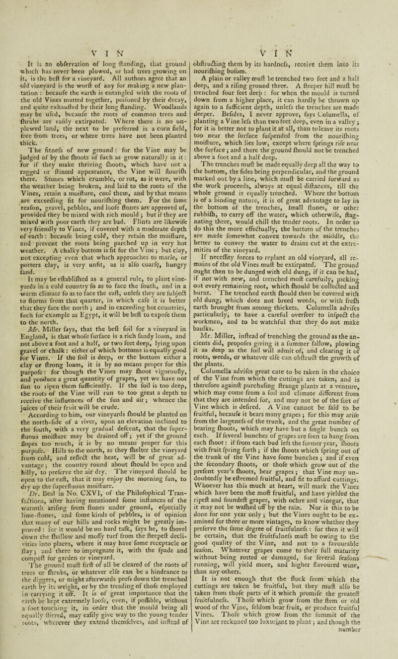 It is an obfervation of long landing, that ground which has never been plowed, or had trees growing on it, is the befl for a vineyard. All authors agree that an old vineyard is the worfl of any for making a new plan¬ tation : becaufe the earth is entangled with the roots of the old Vines matted together, poifoned by their decay, and quite cxhaufled by their long Handing. Woodlands may be ufed, becaufe the roots of common trees and flirubs are eafily extirpated. Where there is no un- plcwed land, the next to be preferred is a corn held, free from trees, or where trees have not been planted thick. The fitncfs of new ground : for the Vine may be judged of by the fhoots of fuch as grow naturally in it: for if they make thriving fhoots, which have not a ragged or Hinted appearance, the Vine will flourifh there. Stones which crumble, or rot, as it were, with the weather being broken, and laid to the roots of the Vines, retain a moiHure, cool them, and by that means are exceeding fit for nourifhing them. For the fame reafon, gravel, pebbles, and loofe Hones are approved of, provided they be mixed with rich mould ; but if they are mixed with poor earth they are bad. Flints are likewife very friendly to Vines, if covered with a moderate depth of earth : becaufe being cold, they retain the moiHure, and prevent the roots being parched up in very hot weather. A chalky bottom is fit for the Vine ; but clay, not excepting even that which approaches to marie, or potters clay, is very unfit, as is alfo coarf?, hungry land. It may be eftablilhed as a general rule, to plant vine¬ yards in a cold country fo as to face the fouth, and in a warm climate fo as to face the eafl, unlefs they are fubjedt to Horms from that quarter, in which cafe it is better that they face the north ; and in exceeding hot countries, fuch for example as Egypt, it will be befl to expofe them to the north. Mr. Miller fays, that the befl foil for a vineyard in England, is that whofe furface is a rich fandy loam, and not above a foot and a half, or two feet deep, lying upon gravel or chalk : either of which bottoms is equally good for Vines. If the foil is deep, or the bottom either a clay or flrong loam, it is by no means proper for this purpofe: for though the Vines may fhoot vigoroufly, and produce a great quantity of grapes, yet we have not fun to ripen them fufficiently. If the foil is too deep, the roots of the Vine will run to too great a depth to receive the influences of the fun and air; whence the juices of their fruit will be crude. According to him, our vineyards fhould be planted on the north-fide of a river, upon an elevation inclined to the fouth, with a very gradual defeent, that the fuper- fluous moiHure may be drained off; yet if the ground Hopes too much, it is by no means proper for this purpofe. Hills to the north, as they flielter the vineyard from cold, and reflect the heat, will be of great ad¬ vantage; the country round about fhould be open and hilly, to preferve the air dry. The vineyard fhould be open to the eafl, that it may enjoy the morning fun, to di v up the luperfluous moiHure. Dr. Beal in No. CXVI, of the Philofophical Tran- faftions, after having mentioned fome inflances of the warmth arifing from Hones under ground, efpecially lime-Hones, and fome kinds of pebbles, is of opinion that many of our hills and rocks might be greatly im¬ proved : for it would be no hard tafk, fays he, to {hovel down the {hallow and moffy turf from the fleepefl decli¬ vities into places, where it may have fome receptacle or Hay; and there to impregnate it, with the fpade and compofl for garden or vineyard. The ground mufl firfl of all be cleared of the roots of trees or fhrubs, or whatever elfe can be a hindrance to the diggers, or might afterwards prefs down the trenched earth by its weight, or by the treading of thofe employed in carrying it off. It is of great importance that the earth be kept extremely loofe, even, if poffible, without a foot touching it, in order that the mould being all equally ffirred, may eafily give way to the young tender roots/ wherever they extend thcmfelves, and inflead of obflru&ing them by its hardnefs, receive them into its nourifhing bofom. A plain or valley mufl be trenched two feet and a half deep, and a rifing ground three. A fleeper hill mufl be trenched four feet deep : for when the mould is turned down from a higher place, it can hardly be thrown up again to a fufKcient depth, unlefs the trenches are made deeper. Befides, I never approve, fays Columella, of planting a Vine lefs than two feet deep, even in a valley; for it is better not to plant it at all, than toleave its roots too near the furface fufpended from the nourifhing moiHure, which lies low, except where fpring3 rife near the furface; and there the ground fhould not be trenched above a foot and a half deep. The trenches mufl be made equally deep all the way to the bottom, the fides being perpendicular, and the ground marked out by a line, which mufl be carried forward as the work proceeds, always at equal diflances, till the whole ground is equally trenched. Where the bottom is of a binding nature, it is of great advantage to lay in the bottom of the trenches, fmall Hones, or other rubbifh, to carry off the water, which otherwife, ftag- nating there, would chill the tender roots. In order to do this the more effectually, the bottom of the trenches are made fomewhat convex towards the middle, the better to convey the water to drains cut at the extre¬ mities of the vineyard. If neceffity forces to replant an old vineyard, all re¬ mains of the old Vines mult be extirpated. The ground ought then to be dunged with old dung, if it can be had, if not with new, and trenched moft carefully, picking out every remaining root, which fhould be collected and burnt. The trenched earth fhould then be covered with old dung, which does not breed weeds, or with frefh earth brought from among thickets. Columella advifes particularly, to have a careful overfeer to infpeCt the workmen, and to be watchful that they do not make baulks. Mr. Miller, inflead of trenching the ground as the an¬ cients did, propofes giving it a fummer fallow, plowing it as deep as the foil will admit of, and clearing it of roots, weeds, or whatever elfe can obflruCt the growth of the plants. Columella advifes great cate to be taken in the choice of the Vine from which the cuttings are taken, and is therefore againfl purchafing ffrange plants at a venture, which may come from a foil and climate different from that they are intended for, and may not be of the fort of Vine which is defired. A Vine cannot be faid to be fruitful, becaufe it bears many grapes ; for this may arife from the largenefs of the trunk, and the great number of bearing fhoots, which may have but a Angle bunch on each. If feveral bunches of grapes are feen to hang from each {hoot: if from each bud left the former year, fhoots with fruit fpring forth ; if the fhoots which fpring out of the trunk of the Vine have fome bunches; and if even the fecondary {hoots, or thofe which grow out of the prefent year’s fhoots, bear grapes ; that Vine may un¬ doubtedly be efleemed fruitful, and fit to afford cuttings. Whoever has this much at heart, will mark the Vines which have been the mofl fruitful, and have yielded the ripeff and foundeff grapes, with ochre and vinegar, that it may not be waflied off by the rain. Nor is this to be done for one year only ; but the Vines ought to be ex¬ amined for three or more vintages, to know whether they preferve the fame degree of fruitfulnefs : for then it will be certain, that the fruitfulnefs mufl be owing to the good quality of the Vine, and not to a favourable feafon. Whatever grapes come to their full maturity without being rotted or damaged, for feveral feafons running, will yield more, and higher flavoured wine, than any others. It is not enough that the flock from which the cuttings are taken be fruitful, but they mufl alfo be taken from thofe parts of it which promife the greateft fruitfulnefs. Thofe which grow from the ftem or old wood of the Vine, feldom bear fruit, or produce fruitful Vines. Thofe which grow from the fummit of the Vine are reckoned too luxuriant to plant; and though the number