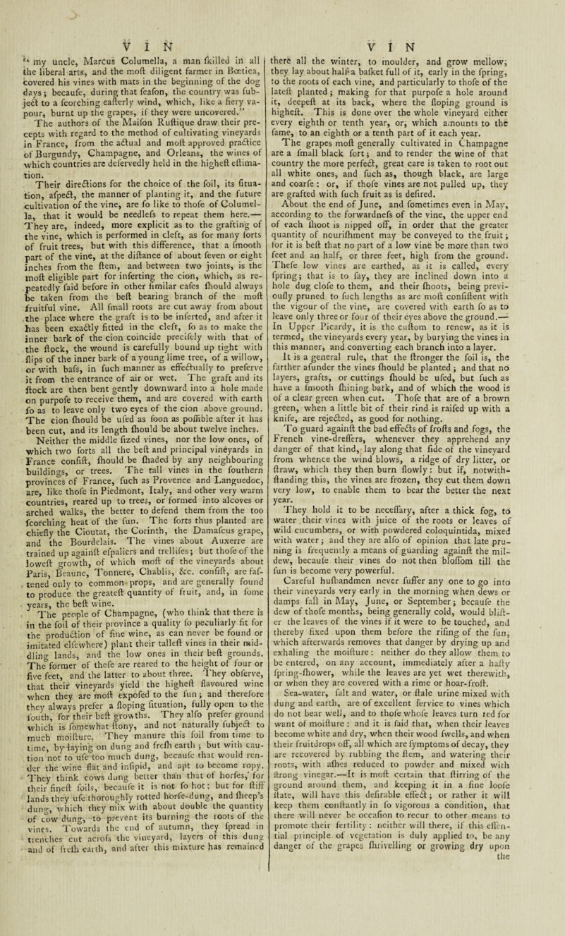 my uncle, Marcus Columella, a man fkilled in all the liberal arts, and the moft diligent farmer in Boetica, covered his vines with mats in the beginning of the dog days ; becaufe, during that feafon, the country was fub- jedt to a fcorching eafterly wind, which, like a fiery va¬ pour, burnt up the grapes, if they were uncovered.” The authors of the Maifon Ruftique draw their pre¬ cepts with regard to the method of cultivating vineyards in France, from the adtual and moll: approved practice of Burgundy, Champagne, and Orleans, the wines of which countries are defervedly held in the higheft eftima- tion. Their diredlions for the choice of the foil, its fixa¬ tion, afpedt, the manner of planting it, and the future cultivation of the vine, are fo like to thofe of Columel¬ la, that it would be needlefs to repeat them here.— They are, indeed, more explicit as to the grafting of the vine, which is performed in cleft, as for many forts of fruit trees, but with this difference, that a l'mooth part of the vine, at the diftance of about feven or eight inches from the ftem, and between two joints, is the tnoft eligible part for inferring the cion, which, as re¬ peatedly faid before in other fimilar cafes fhould always be taken from the beft bearing branch of the moft fruitful vine. All fmall roots are cut away from about the place where the graft is to be inferted, and after it has been exadtly fitted in the cleft, fo as to make the inner bark of the cion coincide precifely with that of the ftock, the wound is carefully bound up tight with flips of the inner bark of a young lime tree, of a willow, or with bafs, in fuch manner as effe&ually to preferve it from the entrance of air or wet. The graft and its ftock are then bent gently downward into a hole made on purpofe to receive”them, and are covered with earth fo as to leave only two eyes of the cion aboveground. The cion fhould be ufed as foon as poflible after it has been cut, and its length fhould be about twelve inches. Neither the middle fized vines, nor the low ones, of which two forts all the beft and principal vineyards in France confift, fhould be fhaded by any neighbouring buildings, or trees. The tall vines in the fouthern provinces of France, fuch as Provence and Languedoc, are, like thofe in Piedmont, Italy, and other very warm countries, reared up to trees, or formed into alcoves or arched walks, the better to defend them from the too fcorchino- heat of the fun. The forts thus planted are chiefly the Cioutat, the Corinth, the Damalcus grape, and the Bourdelais. The vines about Auxerre are trained up againft efpaliers and trellifes; but thofe of the loweft growth, of which moft of the vineyards about Paris, Beaune, Tonnere, Chablis, &c. confift, are faf- tened only to common props, and are generally found to produce the greateft quantity of fruit, and, in fome years, the beft wine. The people of Champagne, (who think that there is in the foil of their province a quality fo peculiarly fit for the production of fine wine, as can never be found or imitated ellewhere) plant their talleft vines in their mid¬ dling lands, and the low ones in their beft grounds. The&former of thefe are reared to the height of four or five feet, and the latter to about three. They obferve, that their vineyards yield the higheft flavoured wine when they are moft expofed to the fun ; and therefore they always prefer a Hoping fixation, fully open to the iouth, for their beft growths. They alfo prefer ground which is fomewhat ftony, and not naturally fubjcft to much moifture. They manure this foil from time to time, by laying on dung and frefli earth ; but with cau¬ tion not to ufe too much dung, becaufe that would ren¬ der the wine flat and infipid, and apt Co become ropy. They think cows dung better than that of horfes,' for their' fineft foils, becaufe it is not fo hot: but for ftift' lands they ufe thoroughly rotted horfe-dung, and flieep’s duno-, which they mix with about double the quantity of cow dung, to prevent its burning the roots of the vines. Towards the end of autumn, they fpread in trenches cut acrofs the vineyard, layers of this dung aml of irelh earth, and after this mixture has remained there all the winter, to moulder, and grow mellow; they lay about half a bafket full of it, early in the fpring, to the roots of each vine, and particularly to thofe of the lateft planted ; making for that purpofe a hole around it, deepeft at its back, where the floping ground is higheft. This is done over the whole vineyard either every eighth or tenth year, or, which amounts to the fame, to an eighth or a tenth part of it each year. The grapes moft generally cultivated in Champagne are a fmall black fort; and to render the wine of that country the more perfect, great care is taken to root out all white ones, and fuch as, though black, are large and coarfe : or, if thofe vines are not pulled up, they are grafted with fuch fruit as is defired. About the end of June, and fometimes even in May, according to the forwardnefs of the vine, the upper end of each lhoot is nipped off, in order that the greater quantity of nourifhment may be conveyed to the fruit; for it is beft that no part of a low vine be more than two feet and an half, or three feet, high from the ground. Thefe low vines are earthed, as it is called, every fpring; that is to fay, they are inclined down into a hole dug clofe to them, and their Ihoots, being previ- oufly pruned to fuch lengths as are moft confident with the vigour of the vine, are covered with earth fo as to leave only three or four of their eyes above the ground.—■ In Upper Picardy, it is the cuftom to renew, as it is termed, the vineyards every year, by burying the vines in this manner, and converting each branch into a layer. It is a general rule, that the ftronger the foil is, the farther afunder the vines fhould be planted ; and that no layers, grafts, or cuttings fhould be ufed, but fuch as have a lmooth finning bark, and of which the wood is of a clear green when cut. Thofe that are of a brown green, when a little bit of their rind is raifed up with a knife, are rejedted, as good for nothing. To guard againft the bad effects of frofts and fogs, the French vine-dreffers, whenever they apprehend any danger of that kind, lay along that fide of the vineyard from whence the wind blows, a ridge of dry litter, or ftraw, which they then burn flowly: but if, notwith- ftanding this, the vines are frozen, they cut them down very low, to enable them to bear the better the next year. They hold it to be neceffary, after a thick fog, to water their vines with juice of the roots or leaves of wild cucumbers, or with powdered coloquintida, mixed with water; and they are alfo of opinion that late pru¬ ning is frequently a means of guarding againft the mil¬ dew, becaufe their vines do not then bloffom till the fun is become very powerful. Careful hufbandmen never fuffer any one to go into their vineyards very early in the morning when dews or damps fall in May, June, or September; becaufe the dew of thofe months, being generally cold, would blift- er the leaves of the vines if it were to be touched, and thereby fixed upon them before the riling of the fun, which afterwards removes that danger by drying up and exhaling the moifture : neither do they allow them to be entered, on any account, immediately after a hafty fpring-fhower, while the leaves are yet wet therewith, or when they are covered with a rime or hoar-froft. Sea-water, lalt and water, or ftale urine mixed with dung and earth, are of excellent fervice to vines which do not bear well, and to thofe whofe leaves turn ted for want of moifture : and it is faid that, when their leaves become white and dry, when their wood fwells, and when their fruitdrops off, all which are fymptoms of decay, they are recovered by rubbing the ftem, and watering their roots, with allies reduced to powder and mixed with itrong vinegar.—It is moft certain that ftirring of the ground around them, and keeping it in a fine loofe ftate, will have this definable effedt; or rather it will keep them conftantly in fo vigorous a condition, that there will never be occafion to recur to other means to promote their fertility : neither will there, if this effen- tial principle of vegetation is duly applied to, be any danger of the grapes fluivelling or growing dry upon