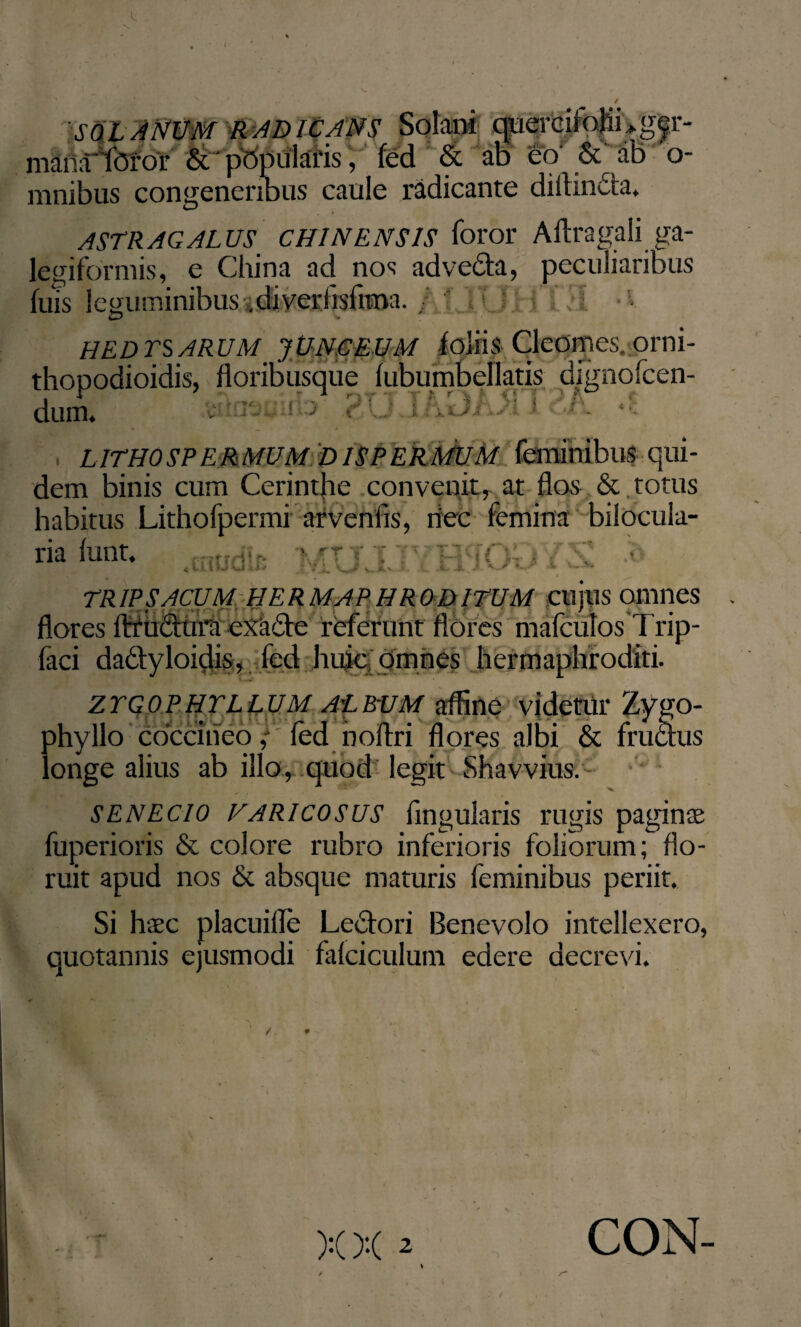 / ' SQ L ANUM RADICANS - .x mana foror &' papularis, fed & ab eo & o- mnibus congeneribus caule radicante diflin&a, ASTRAGALUS CHI NENS IS foror Aftragali ga- legiformis, e China ad nos advela, peculiaribus luis leguminibus .diveriisfima. / - \\) HEDTSARUM_ JUNCEUM foliis Cleomes, orni- thopodioidis, floribusque fubumbellatis dignofcen- duin. .'iunooido 2U i cA *% , LITHOSPERMUM p ISPERMUM feminibus qui¬ dem binis cum Cerinthe convenit, at flos & torus habitus Lithofpermi arvenfis, rtec femina biiocula- ria funt. i V i. ‘ -Vi-i 'M K..J V. «.v ■■ •. X 1 } »• * J i TRW S ACUM HERMAPHRODITUM CUJUS Ollines flores flruCtura exa&e referunt flores mafculos Trip- faci dadtyloidis, fed huic omnes hermaphroditi. zygo?hyllum album affine videtur Zygo- phyllo coccineo; fed noftri flores albi & fruchis longe alius ab illo, quod legit Shavvius. SENECIO varicosus Angularis rugis paginas fuperioris & colore rubro inferioris foliorum; flo¬ ruit apud nos & absque maturis feminibus periit. Si haec placuifle Lectori Benevolo intellexero, quotannis ejusmodi fafciculum edere decrevi. CON-