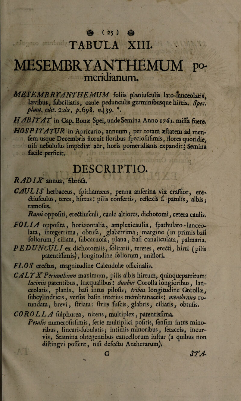 TABULA XIII. MESEMBRYANTHEMUM po- meridianum. MES'EMBRTANTHEMUM liliis pUiHafciilis bo-hxuUtii, laevibus, fubciliatis, caule pedunculis germinibusque hirtis. Spec> piant. edit. />,698. «.j 39. *. HABITAT in Cap. Bonas Spei, unde Semina Anno 1761. miffa fuere, “ 4 * * ■ g ' • * • v ^ v HOSPITATUR in Apricario, annuum, per totam adfcatem ad men- fem usque Decembris floruit floribus fpeciofiffimis, flores quotidie, nifl nebulofus impediat a£r> horis pomeridianis expandit; Semina facile perficit. R AD IX annua, fibrojfo. CAULIS herbaceus, fpithanueus, penna anferma vix craflior, ere-* diufculus, teres, hirtus* pilis confertis, reflexis £ patulis, albisj ramofus. Rami oppofiti, ere&iufculi, caule altiores, dichotomi, cetera caulis* FOLIA oppofita, horizontalia, amplexicaulia, fpathulato^lanceo- lata, integerrima, obtufii, glaberrima; margine (in primisbafi foliorum J ciliata, fiibcarnola, plana, bafi canaliculata, palmaria. PEDUNCULI ex dichotomi is, folitarii, teretes, eredi, hirti (pilis patentiflimis^, longitudine foliorum, uniflori* FLOS ere&us, magnitudine Calenduise officinalis* CALTXPerianthium maximum, pilis albis hirtum» quinquepartitum' laciniis patentibus, inaequalibus ? duabus Corolla longioribus, lan- ceolatis, planis, bafi intus pilofis; iribus longitudine Gorollse, (ubcylindricis, verius bafin interius membranaceis: membrana ro¬ tundata , brevi, ftriata: flrils fufcis, glabris, ciliatis, obtufis* COROLL A fulphurea, nitens» multiplex, patentisfima. Petalis numerofisfimis, ierie multiplici pofitis, ienfim intus mino¬ ribus, lineari-fubulatis * intimis minoribus, fetaceis, incur¬ vis, Stamina obtegentibus cancellorum inftar (a quibus non diftingvi poflent, nifi defedu Antherarum)<