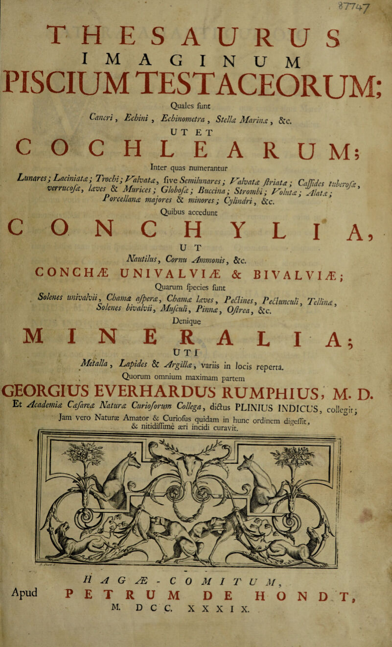 37747 THESAURUS imaginum PISCIUM TESTACEORUM c o c A Quales funt Cancri , Echini , Echinomctra , Stella Marina , &c. U T E T H L E A R U M; Inter quas nuinerantur Lunares; Laciniau; Trochi; Ealvata, five Semilunares; Malvata flriau ; Caffidcs iv.berolk verrucofa, laves & Murices ; Globofa ; Baccina; Strombi; Soluta; Alata; Porcellana majores & minores; Cylindri, &c. Quibus accedunt c O N C H Y L I U T Nautilus 3 Cornu Ammonis, &c. CONCHA UNI VALVIS & BIVALVI7E; Quarum fpecies funt Solenes univahn, Channz afpera, Chama laves, Pettines, Pedunculi, Tei lina , bivalvii, Mufculi5 Pinna, Oftrca, &c. Denique MINERALI A; D t r Metalla, Lapides & Argilla 5 vanis in locis reperta. A Quorum omnium maximam partem GEORGIUS EVERHARDU5 RUMPHIUS, M. D Et Academia Cafarea Natura Curioforum Collega, diftus PLINIUS INDICUS, collegit; Jam vero Natura Amator & Curiolus quidam in hunc ordinem dice/Tit & nitidiffime atri incidi curavit. n ’ Apud H A G ;E - P E T R U M. D C C. C O M I T U M, M DE H O N D T, XXXIX,