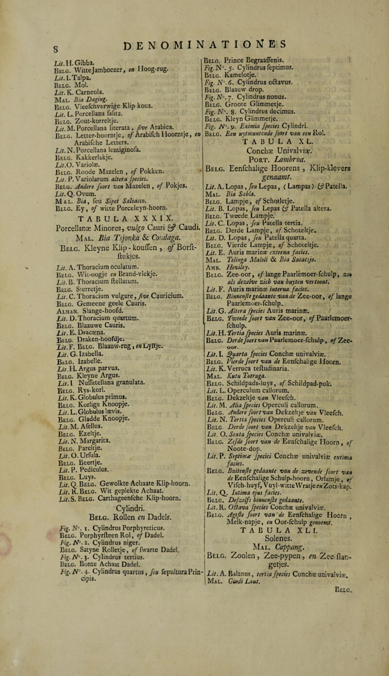 Lit. H. Gibba. Belg. Wittejamboezer, en Iloog-rug. Lit. I. Talpa. Belg. Mol. Lit. K. Carneola. Mal. Bia Daging. Belg. Vleefchverwige Klip kous. Lit. L. Porcellana falita. Belg. Zout-korreltje. Lit. M. Porcellana literata , five Arabica. Belg. Letter-hoorntje, of Arabifch Hoorntje, en Arabifche Leiters. Lit. N. Porcellana lentiginofa. Belg. Kakkerlakje. Lit.O. Variolae. Belg. Roode Mazelen , cf Pokken. Lit. P. Variolarum altera fpecies. Belg. Andere foort van Mazelen , of Pokjes. Lit. Q. Ovum. Mal. Bia, feu Sipot Saloacco. Belg. Ey , of witte Porceleyn-hoorn. TABULA XXXIX. PorcellaiKe Minores, vulgo Cauri £5? Caudi. Mal. Bia Tsjonka & Condaga. Belg. Kleyne Klip - kouflen , o/~Borft- ftukjes. Lit. A. Thoracium oculatum. Belg. Wit-oogje en Brand-vlekje. Lit. B. Thoracium ftellatum. Belg. Sterretje. Lit. C. Thoracium vulgare, five Cauricium. Belg. Gemeene geele Cauris. Alman. Slange-hoofd. Lit. D. Thoracium quartum. Belg. Blaauwe Cauris. Lit. E. Dracaena. Belg. Draken-hoofdje. Xz7.F. Belg. Blaauw-rug, en Lyltje. Lit. G. Izabella. Bc.lg. Izabelie. Lit.W. Argus parvus. Belg. Kleyne Argus. Lit. I Nuflatellana granulata. Belg. Rys-korl. Lit. K. Globulus primus. Belg. Korlige Knoopje. Lit. L. Globulus laevis. Belg. Gladde Knoopje. LitM. Afellus. Belg. Ezeltje. Lit. N. Margarita. Belg. Pareltje. Lit. O. Urfula. Belg. Beertje. Lit. P. Pediculus. Belg. Luys. Lit. Q Belg. Gewölkte Achaate Klip-hoorn. Lit. K. Belg. Wit gepiekte Achaat. Lit. S. Belg. Carthageenfche Klip-hoorn. Cylindri. Belg. Rollen en Dadels. Fig. N\ i. Cylindrus Porphyreticus. Belg. Porphyrfleen Rol, 0/Dadel. Fig. N°. 2. Cylindrus niger. Belg. Satyne Rolletje, of fwarte Dadel. Fig. N°.$. Cylindrus tertius. Belg. Bonte Achaat Dadel. Fig. Al\ 4- Cylindrus quartus, feu fepultura Prin¬ cipis. Belg. Prince Begraaffenis. Fig. Nd. 5. Cylindrus feptimus. Belg. Kamelotje. Fig. N\6. Cylindrus o&avus. Belg. Blaauw drop. Fig. N°. 7. Cylindrus nonus. Belg. Groote Glimmetje. Fig. N3. 8. Cylindrus decimus. Belg. Kleyn Glimmetje. Fig. AJ°. y. Eximia fpecies Cylindri. Belg. Een uytmuntende foort van een Rol. TABULA XL. Conchae Univalviae. Port. Lambroa. Belg. Eenfchalige Hoorens , Klip-klevers genaamt. Lit. A. Lopas, feu Lepas, ( Lampas) Patella. Mal. Bia Sabla. Belg. Lampje, of Schotletje. Lit. B. Lopas, Jeu Lepas £5? Patella altera. Belg. Tweede Lampje. Lit. C. Lopas, feu Patella tertia. Belg. Derde Lampje, of Schoteltje. Lit. D. Lopas, feu Patella quarta. Belg. Vierde Lampje, of Schoteltje. Lit. E. Auris marinae externa facies. Mal. Telinga Maloli & Bia Sacatsjo. Amb. Hoviley. Belg. Zee-oor, of lange Paarlemoer-fchulp, zoo als dezehe zieh van buyten vertoont. Lit. F. Auris marinae interna facies. Belg. Binnenfle gedaante van de Zee-oor, of lange Paarlemoer-fchulp. Lit. G. Altera fpecies Auris marinae. Belg. 5fweede foort van Zee-oor, of Paarlemoer- fchulp. Lit. H. Fertia fpecies Auris marinae. Belg. Derde foort van Paarlemoer-fchulp, of Zee- oor. Lit. I. Quarta fpecies Conchae univalviae. Belg. Vierde foort van de Eenfchalige Hoorn. Lit. K. Verruca telludinaria. Mal. liutu Totruga. Belg. Schildpads-luys, of Schildpad-pok. Lit. L. Operculum callorum. Belg. Dekzeltje van Vleefch. Lit. M. Alia fpecies Operculi callorum. Belg. Andere foort van Dekzeltje van Vleefch. Lit. N. Tertia fpecies Operculi callorum. Belg Derde foort van Dekzeltje van Vleefch. Lit. O. Sexta fpecies Conchae univalviae. Belg. Zefde foort van de Eenfchalige Iloorn, of Noote-dop. Lit. P. Septima fpeciei Conchae univalviae extima facies. Belg. Buitenße gedaante van de zevende J'oort van de Eenfchalige Schulp-hoorn, Orlamje, of Vifch-huyf, Vuyl-witteWratje^Zots-kap. Lit. Q_. Intima ejus facies. Belg. Defzelfs binnenße gedaante. Lit. R. Oäava fpecies Conchae univalviae. Belg. Agtfte foort van de Eenfchalige Hoorn , Melk-napje, en Oor-fchulp genoemt. TABULA X L I. Solenes. Mal. Capfang. Bllg. Zoolen, Zee-pypen, en Zee flan- getjes. Lit. A. Balanus, tertia fpecies Conchae univalviae. Mal. Cindi Laut.