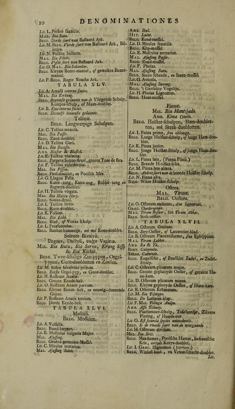 IO Lit. L. Pedlcn faxatilis. M al. Bia Batu. Belg. Derde foort •van Baftaard Ark. Lit. M. Belg. Vierde foort van Baftaard Ark, Bil- •>(. letjes. IO(T ~ ... Lit. N. Peften bullatus. M a l. Bia Fsloos. Belg. Vyfde foort van Baftaard Ark. Lit. O. M a l. Bia Sabandar. Belg. Kleyne Bonte-mantel, of gewölkte Bonte- mantel. Lit. P. Belg. Regte Noachs Ark. TABULA X L V. Lit. A. Araufii externa facies. Mal. Bia 7'erbang. Belg. Buytenfie gedaante van de Vliegende Schulp, Kompas-fchulp, of Maan-doublet. Lit. B. Ejus interna facies. Belg. Deszelfs binnenfle gedaante. Tellinse. Belg. Langwerpige Schulpen. Lit. C. Tellina arenofa. Mal. Bia Baffir. Belg. Zand-doublet. L;t. D. Tellina Gari. Mal. Bia Bocaffa. Amb. Blaflor & Blafiol. Z;7.E. Tellina violacea. .} ; Belg. Purpere Sonne-ftraal, groote Tour de Bra. X/7.F. Tellina cultriformis. , Mal. Bia Pijfou. Belg. Peul-doublet, en Poolfeh Mes. Lit. G. Lingua Felis. Belg. Katte-tong, Katte-oog, Robbe-tong en Segreyn-doublet.' . V' Lit. H. Tellina virgata. Mal. Bia Matta Hary. Belg. Sonne-ftraal. Lit. I. Tellina lasvis. Belg. Roos-doublet. Lit. K. Folium. . Mal. Bia Lida. Belg. Blad, of Venus-fchulp. Lit. L. Petafunculus. Belg. Banket-hammetje, ook viel Roosrdoublet.: Solenes Bivalyii. Ungues, Dactyli, vulgo Vaginae. Mal. Bia Butu, Bia Saron, Kräng Sijfy & Bia Koekoe. Belg. Twee-fchaÜge Zee-pypen, Orgel- pypen, Goöt-daubletten en Zoolen. Lit.M. Solen bivalvius primus. Belg. Eerfte Orgel-pyp, en Goot-doublet. Lit. N. Roftrum Anatis. . . Belg. Groote Eende-bek. Lit. O. Roftrum Anatis parvum. Belg. Kleyne Eende-bek, en eeuwig-duurende Gaper. Lit. P. Roftrum Anatis tertium. T ■ Belg. Derde Eende-bek. •13, TABULA X L V I, . . Mufculi. Belg. Moflelen. Lit. A.Vulfella. Belg. Baard-knyper. Lit.Ij. Mufculus vulgaris Major. :: Mal. Afufleng. Belg. Groote gemeene Moflel-, Lit. C. Mitulus anatarius. Mal. AJufferg Bebec, Amb. Ihul. Hit. Lulat. Belg. Eend-moflel. Lit. D. Mitulus faxatilis. Belg. Klip-moflel. Lit. E. Mufculus arenarius. Mal. Afujfeng PaJJir. Belg. Zand-moflel. Lit. F. Pholas. . Mal. Afuffeng Bata. . Belg. Steen-fcheede, en Steen-moflel. Lit. G. Avicula. M a l. Afuffeng Burong. Belg, ’t Gevlekte Vogeltje. Lit. H. Pholas Lignorum. Belg. Hout-mofTd. Pinnae. Mal. Bia Mantsjado. Amb. Kima Omin. Belg. Holfter-fchulpen, Ham-doublet- ten, ook Steek-doubletten. Lit. I. Pnina prima, five oblonga. Belg. Lange Holfter-fchulp, of lange Ham-dou- blet. Lit. K. Pinna junior. Belg. Jonge Holfter-fchulp, o/*jonge Ham-dou- blet. Lit. L. Pinna lata, ( Perna Plinii.) Belg. Breede H olfter-fchu. Lit. M. Pinna lata altera. Belg. Anderefoort van de breede Holfter-fchulp. Lit. N. Pinna alba. Belg. Witte Holfter-fchulp. Oftrea. Mal. Tircttiu Belg. Oefters. Lit. O. Oftreum. radicum, five lignorum. Gr/ec. Chtederopada. Mal. Tiram Befaar, feu 5tiram Akkar. Belg. Stok-oefter. -TABULA X L VH. Lit. A. Oftreum Cratium. Belg. iSVry-Oefter, cf Lauwerier-blad. Lit. B. Oftreum Placentiforme, five Ephippium. Mal. Tiram Lebber. Amb. Ea & Ta, Boet. Calepinda. Xulaa. Caivinde. Belg. Engelfche , of Poolfche Zadel, *»ZadeI- fchulp. . Lii. C.Oftreum plicatum majus. Belg. Groote geplooyde Oefter, of getakte Ha« ne-kam. Lit. D. Oftreum plicatum minus. Belg. Kleyne geplooyde Oefter, of Hane-kam. Lit. E. Oftreum Echinatum. Lit. M. Bia Tsjoeppo. Belg. De Lazarus-klap. Lit. F. Mal. Telinga Andyn. Amb. Ajfo Telinay. Belg. Paarlemoer-fchulp, Tafelbordje, Zilvere Piering, of Honds-oor. Lit. G. Efl fecunda fpecies antecedentis. Belg. Is de tMeede foort van de voorgaande Lit.tt. Oftreum divifum. Mal. Bia Kris. Belg. Mes-hamer, Poolfche Hamer, Indiaanfche Kris, eertyds Kruys-doublet. Lit. I. Gr^c. Iftgnomon ( I^yvo^ovf Belg, Winkd-haak , en Venus-fchacht-doublet. Lit.