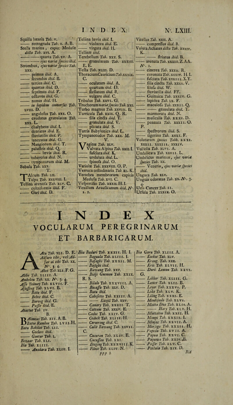 Squilla lutaria Tab. v. - retrograda Tab. i. A.B. Stella marina , caput Medufse dicta Tab. xvi. A. --quarta Tab. xv. A. -ejus varice fpecies ibid. Strombus, ejus varia fpccics Tab. xxx. -- primus ibid. A. - fecundus ibid. B. - tertius ibid. C. ■- quartus ibid. D. -- feptimus ibid. F. - o&avus ibid. G. - nonus ibid. H. .- in lapidem converfus Tab. LVI1I. D. - angulofus Tab. xxx. O. -- caudatus granulatus Tab. xxx. L. -- chalybeiis ibid. I. -- dentatus ibid. E. -- fluviatilis ibid. P. - lanceatus ibid. G. .- Mangiorum ibid. T. -- paluftris ibid. Q. -- - lsevis ibid. R. - tuberofus ibid. N. - tympanorum ibid. M. Subula Tab. xxx. T. Alcum Tab. lii. Talpa Tab. xxxviii. I. Tellinä arenofa Tab. xlv. C. —— cui triformis ibid. F. .- Gari ibid. D. Teliina lsevis ibid. I. -- violacea ibid. E. -- virgata ibid. H. Tellinae ibid. Terebellum Tab. xxx. S. - granulacum Tab. xxxm. E.E. Tefta Tab. xliii. D. ThoraciumCauriciumT^.xxxix. C. - oculatum ibid. A. -- quartum ibid. D. •-- Rellatum ibid. B. - vulgare ibid. C. Tribulus Tab. xxvi. G. Trochorum varia fpecies Tab. xxi. Turbo magnus Tab. xxvm. ß. Turricula Tab. xxix. Q. R. - filis cindta ibid. T. - granulata ibid. V. - plicata ibid. S. Turris Babylonica ibid. L. Tympanotodos Tab. xxx. M. V. Vaginas Tab. xlv. Valvata Alpina Tab. xxii.I. - fafciata;£/'i. K. ■- undulata ibid. L. - fpinofa ibid. O. Variolse Tab. xxxviii. O. P. Verruca tefludinaria Tab.xl. K. Vertebra membrorum capitis Medufae Tab. xvi. C. Vefpertilio Tab. xxxii. H. I. Vexillum Arauficanum ibid.N°. I. 2. Vitellus Tab. xxn. A. - compreflus ibid. B. Voluta Achates dicta Tab. xxxiv. K. ■-flriatus ibid. B. -arenata Tab.xxxui.Z.AA. N°. 2. - cinerea Tab. xxxn. R. - coronata Tab. xxxiv. H. I. -- fafciata Tab. xxxiii.X.Y. - filis cinfta Tab. xxxi. V. -- filofa ibid. W. -fluviatilis ibid. FF. - Guinaica Tab. xxxiv. G. -- lapidea Tab. lx. F. - maculofa Tab. xxxn. Q. -granulata ibid. T. - marmorata ibid. N. -- muficalis Tab. xxxi.D. - pennata Tab. xxxii. O. P. - fpe&rorum ibid. S. - tigerina Tab. xxxi. F. Volutarum Jpecies Tabb. xxxi. xxxii. xxxiII. xxxiv. Vulfella Tab. xlvi. A. Umbilicata Tab. xxvn. L. Umbilicus marinus, ejus varice fpecies Tab. xx. - Veneris, ejus varice fpecies ibid. Ungues Tab. xlv. Unguis odoratus Tab. xx.N°. 3^ 4’ Urfa Cancer Tab. 11. Urfula Tab. xxxix. O. I M D E X VOCULARUM PEREGRINARUM ET BARBARICARUM. A Atu Tab. xli. D. E. Adfaro tibi, vel Ad- far al tibi Tab. xx. ^•3-4- ^ Ahet.Tab.xL\. F. G. Alibo Tab. xliii. A. Ambelau Tab. xx. N°. 3. 4. Affo Telinay Tab. xlvii. F. Afuffeng Tab. xlvi. B. -- Batu ibid. F. .-- Beb ec ibid. C. - Burong ibid. G. - Paßir ibid. E. Atattut Tab. iv. B. Alancas Tab. xn. A.B. 'BatoeRamboe Tab. lvii.H. itu Bakilat Tab. lii. — Goelam ibid. Gontur Tab. l. ezaar Tab. xli. ia Tab. xliii. — Anadara Tab. xliv. I. Bia Baduri Tab. xxxii. H. I. - Baguala Tab. xliii. I. - Bafaghi Tab. xxxii. M. - Bafighi ibid. - Bawang Tab. xxv. Bidji Gnemon Tab. xxix. R. S. — Bilalo Tab. xxxviii. A. — Bocaffa Tab. xlv. D. - Butu ibid. - Cabefette Tab. xxm. A. —• - Kitsjil Tab. xxv. — Carnry Tab. xxxii. T. - Cattam Tab. xxxv. E. — Cadoc Tab. xxiv. G. — Codock Tab. xliii. H. - Cvroerong ibid. C. Culit Bawang Tab. xxv 11. Cucuran Tab. xliv. E. Cucuffan Tab. xxi. Daging Tab. x x x vi 11. K. Filoos Tab. xliv. N. ppp 2 C. Bia Garu Tab. xliii. A. - Koekoe Tab. xlv. - Kräng. Tab. xxx. - Kris Tab. xlvii. H. - Duri Lemon Tab. xxvii G. - Lebber Tab. xliii. G. - Letter Tab. xlii. B. - Leyer Tab. xxxvi. P. - Lida Tab. xlv. K. - Lihng Tab. xxxi. E. - Mantsjado Tab. xlvi. - Matta Doa Tab. xlii. Ai - - Hary Tab. XL v. H. --- Mattacou Tab. xxn. H. - Mimpi Tab. xxxii. I. - Minjac Tab. xxvii. A. - Morfego Tab. xxxii. H» --- Papeda Tab. xv 11. A. - Papua Tab. xxvi. C. - Papuwa Tab. xxiv.Jj, -- Pajjir Tab. xlv. C. - Pethola Tab. xix. D. Bi 4