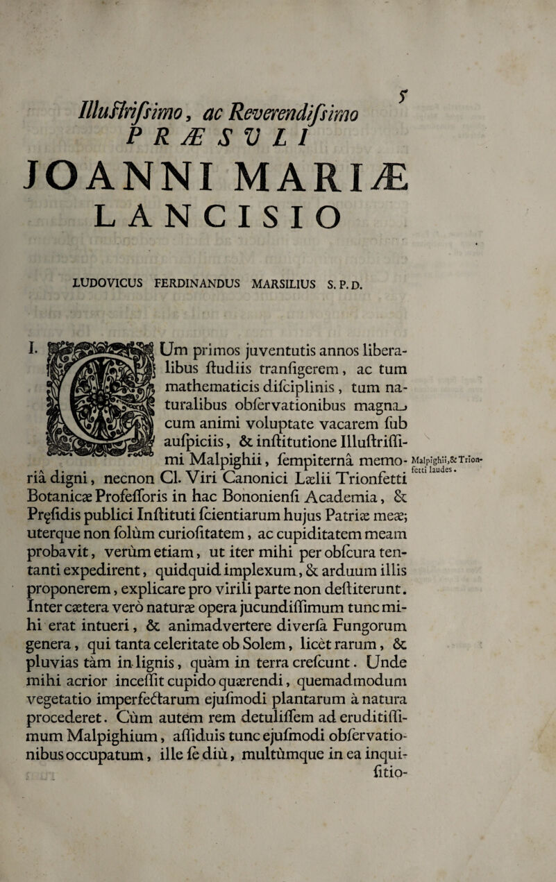 s Illuflrifsimo, ac Reverendifsimo P R JE S V L 1 JOANNI UARIJE LANCISIO LUDOVICUS FERDINANDUS MARSILIUS S.P.D. Um primos juventutis annos libera¬ libus ftudiis tranfigerem, ac tum mathematicis dilciplints, tum na¬ turalibus obfervationibus magna^ cum animi voluptate vacarem fub aufpiciis, & inftitutione Illuftriffi- mi Malpighii, fempiterna memo- Miipigwi.&Trfon- ria digni, necnon Cl. Viri Canonici Lxln Tnonietti Botanicae ProfefToris in hac Bononienli Academia, & Pr^fidis publici Inftituti fidentiarum hujus Patria: meae; uterque non folum curiolitatem, ac cupiditatem meam probavit, verum etiam, ut iter mihi per obfcura ten- tanti expedirent, quidquid implexum, & arduum illis proponerem, explicare pro virili parte non deftiterunt. Inter extera vero naturae opera jucundiffimum tunc mi¬ hi erat intueri, & animadvertere diverfa Fungorum genera, qui tanta celeritate ob Solem, licet rarum, St pluvias tam in lignis, quam in terra crefcunt. Unde mihi acrior inceffit cupido quaerendi, quemadmodum vegetatio imperfectarum ejufmodi plantarum a natura procederet. Cum autem rem detulilTem aderuditiffi- mum Malpighium, affiduis tunc ejufmodi obfervatio- nibus occupatum, ille fe diu, multumque in ea inqui- fitio-