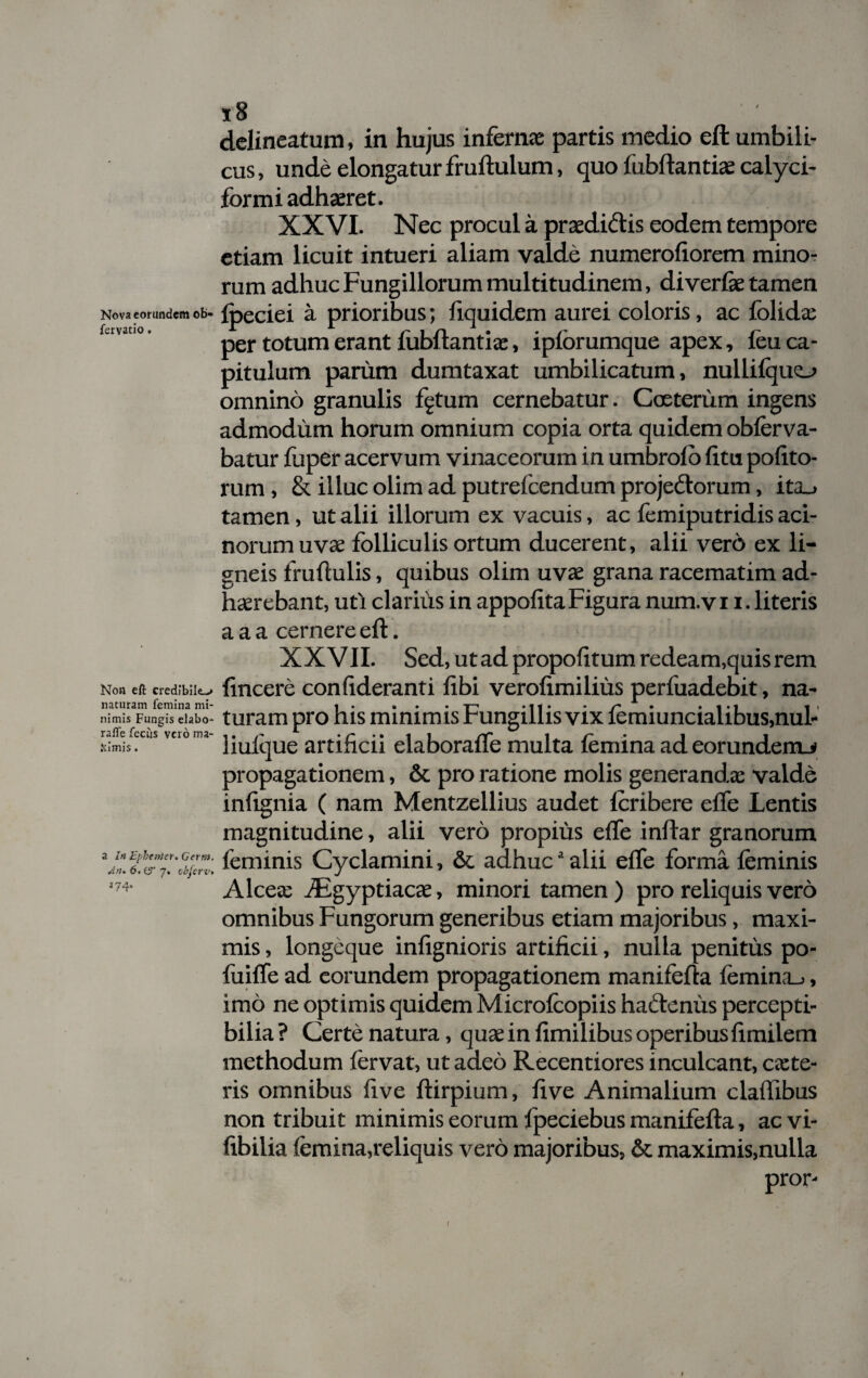 Nova eorundem ob- fervatio. Non eft credibile.-» naturam femina mi¬ nimis Fungis elabo- ralfe fccus vero ma¬ ximis . a In Ephenler* Germ. An, 6.^7. tbjcrv, 174. 18 delineatum, in hujus infernae partis medio eft umbili¬ cus, unde elongatur fruftulum, quo fubftantiae calyci- formi adhaeret. XXVI. Nec procul a praedidis eodem tempore etiam licuit intueri aliam valde numerofiorem mino¬ rum adhuc Fungillorum multitudinem, diverfae tamen ipcciei a prioribus; fiquidem aurei coloris, ac folidx per totum erant lubftantix, ipforumque apex, feu ca¬ pitulum parum dumtaxat umbilicatum, nullilquo omnino granulis fgtum cernebatur. Cceterum ingens admodum horum omnium copia orta quidem obferva- batur fuper acervum vinaceorum in umbrolo litu polito¬ rum , & illuc olim ad putrefeendum projedorum, ita_> tamen, ut alii illorum ex vacuis, ac femiputridis aci¬ norum uvae folliculis ortum ducerent, alii vero ex li¬ gneis fruftulis, quibus olim uvae grana racematim ad¬ haerebant, uti clarius in appolita Figura num.v 11. literis a a a cernere eft. XXVII. Sed, ut ad propolitum redeam,quis rem fincere conlideranti libi verolimilius perluadebit, na¬ turam pro his minimis Fungillis vix femiuncialibus,nul- liulque artificii elaboralfe multa femina ad eorunderru propagationem, & pro ratione molis generandae valde inftgnia ( nam Mentzellius audet feribere elfe Lentis magnitudine, alii vero propius elfe inftar granorum feminis Cyclamini, & adhuca alii elfe forma feminis Alcex Aegyptiacae, minori tamen) pro reliquis vero omnibus Fungorum generibus etiam majoribus, maxi¬ mis , longeque infignioris artificii, nulla penitus po- liiiffe ad eorundem propagationem manifefta femina_>, imo ne optimis quidem Microfcopiis hactenus percepti¬ bilia ? Certe natura, quae in fimilibus operibus limilem methodum fervat, ut adeo Recentiores inculcant, exte¬ ris omnibus live ftirpium, five Animalium claflibus non tribuit minimis eorum Ipeciebus manifefta, aevi- fibilia femina,reliquis vero majoribus, & maximis,nulla pror- I