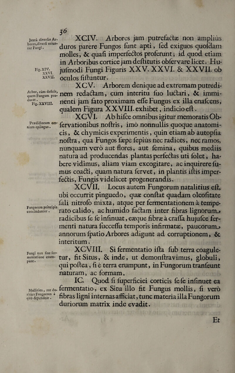 Juxta diverfas Ar- XCIV. Arbores jam putrefadae non amplius a“Fu»sitrfi or'un' duros parere Fungos funt apti, fed exiguos quofdam molles, & quafi imperfectos proferunt; id quod etiam in Arboribus cortice jam deftitutis obfervare licet. Hu- Fis'x’xvi jufmodi Fungi Figuris XXV. XXVI. & XXVII. ob Praedirorum om nium xxvix. oculos fiftuntur. XC V. Arborem denique ad extremam putredi- ^uemFulr™ FO-nem reda&am, cum interitu luo luCtari, & immi- dUFig.xxviii. nenti jam fato proximam efle Fungus ex illa enafcens, qualem Figura XXVIII. exhibet, indicio eft. XCVI. Ab hifee omnibus igitur memoratis Ob- fervationibus noftris, imo nonnullis quoque anatomi¬ cis , & chymicis experimentis, quin etiam ab autopfia noftra, qua Fungos faepe fepius nec radices, nec ramos, nunquam vero aut flores, aut femina, quibus mediis natura ad producendas plantas perfeCtas uti fblet, ha¬ bere vidimus, aliam viam excogitare, ac inquirere fu¬ mus coafti, quam natura fervet, in plantis iflis imper¬ fectis, Fungis videlicet progenerandis. XCVII. Locus autem Fungorum natalitius eft, ubi occurrit pinguedo, quae conflat quadam oleofitate fali nitrofb mixta, atque per fermentationem a tempe- P rato calido, ac humido faCtam inter fibras lignorum_> radicibus fe fe infinuat, eaeque fibrae a crafla hujufce fer¬ menti natura fucceffu temporis infirmata:, paucorum., annorum fpatio Arbores adigunt ad corruptionem, & interitum. Fungorum principia concluduntur . . t XCVIII. Si fermentatio ifta fub terra coagule- Fungi non fine fer- o*l i n . 1°« mentatione erum- tur, fit Situs, & inde, ut demonftravimus, globuli, qui poftea, fi e terra erumpunt, in Fungorum tranfeunt naturam, ac formam. IC. Quod fi fuperficiei corticis fe fe infinuet ea Mointics, du.fermentatio, ex Situ illo fit Fungus mollis, fi vero cuo dFpS™? “ fibras ligni internas afficiat, tunc materia illa Fungorum duriorum matrix inde evadit. Et