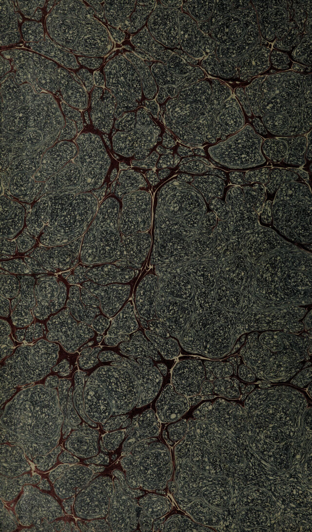 digitised image 2