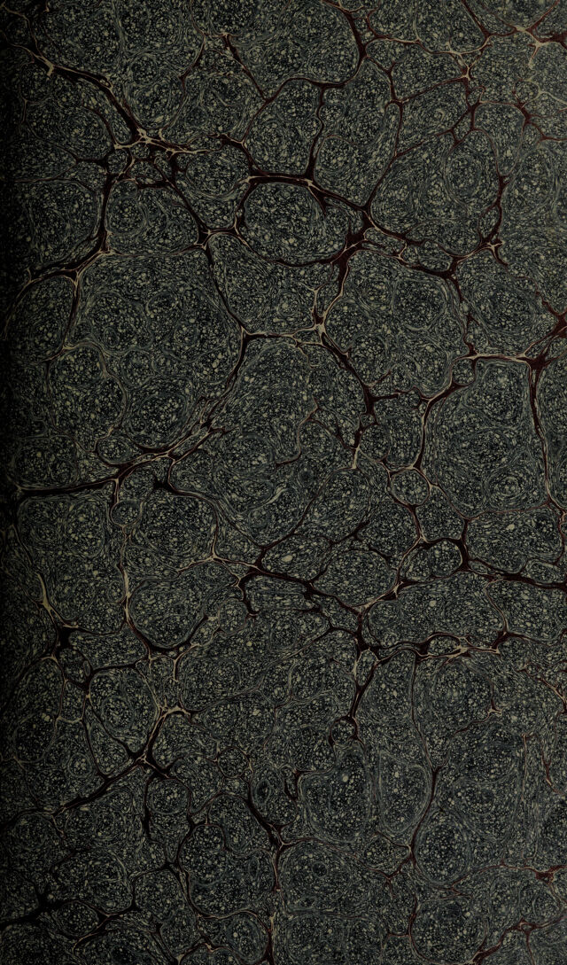 digitised image 3