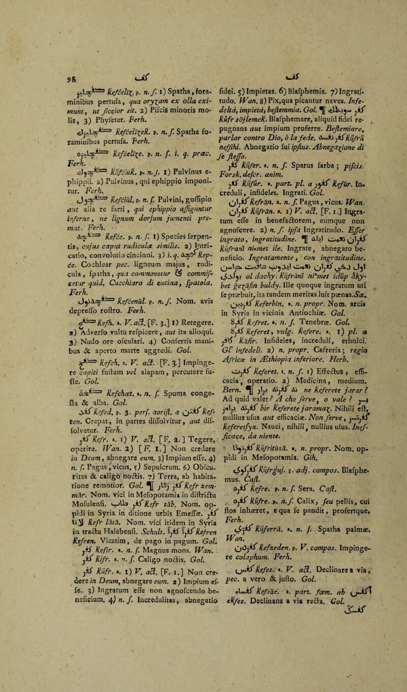 2R ut ficcior sit. 2) Pifcis minoris mo lis, 3) Phyfeter. Ferh. munty kefdelii. P. n.f. 1) Spatha, fora- fidei. 5) Impietas. 6) Blafphemia. 7) Ingrati- minibus pertufa, qua oryzam ex olla exi- tudo. Wan. 8) Pix,qua picantur naves. Infe- delta, impieta, bejlcmmia. Gol. Rufr sojlemeR. Blafphemare, aliquid fidei re¬ pugnans aut impium proferre. Bejlemiare, par lar contro Dio, o lafede. fsfRufrii nefjihi. Abnegatio fui ipjius. Abnegagione di feficfo. 1 jAJ Hufer. a. n. f. Sparus farba ; pifcis. Forsk. defer, anim. jiS Rlifur. a. part. pl. a jy*V Refur. In. creduli, infideles. Ingrati. Gol. cV ifRefran. a. n.f. Pagus, vicus. Wan. Rufr an. a. 1) V. aci. [F. 1.] Ingra¬ tum efle in benefa&orem, eumque non agnofeere. 2) n. f. ipfa Ingratitudo. Effer ingrato, ingratitudine. A.b) qIjAT kefdelinea, p. n.f. Spatha fo¬ raminibus pertufa. Ferh. Oj/Jlry’'^73 Refcellae. p. n. f. i. q. prae. Ferh. RlifdiuR. p* n.J. i) Pulvinus e- phippii. 2) Pulvinus, qui ephippio imponi¬ tur. Ferh, Refdiul. P. n. f. Pulvini, gollipio aut alia re farti , qui ephippio affiguntur inferne, ne lignum dorjum jumenti pre¬ mat. Ferh. <> Arx^-^3 Refde. P. n. f. l)Speciesferpen- tis, cujus caput rudicula similis. 2)lintri- JFufrani nUmet ile. Ingrate, abnegato be- catio, convolutio cincinni. 3) i. q. As:-, Rep- neficj0> Xngratamente , con ingratitudine, de. Cochlear pec. ligneum majus , rudi- ^ ^5^.l cula, fpatha, qua commovetur £«> commif 0l dachy. Rlifrdni ni*met hliip dky- cetur quid. Cucchiaro di cucina, fpatola. ^ ge^afn buldy. Ille quoque ingratum uti ,/FerA. Refcenul. p. «./1 Nom, avis depreflo roftro. EVrA. Refh. a. FI <z$. [F. 3.] I) Retegere, a) Adverfo vultu refpicere, aut ita alloqui. 3) Nudo ore ofculari. 4) Confertis mani¬ bus & aperto marte aggredi. Gol. Refch. a. V. adi. [F. 3.] Impinge¬ re capiti fuftem vel alapam, percutere fu- fle. Gol. liefchcet. a, n. f. Spuma conge- fe preebuir, ita tandem meritas luit parnas.iSce. k'eferbin. a. n. propr. Nom. arcis in Syria in vicinia Antiochiae. Gol. sytf Refret. ». n. J. Tenebrae. Gol. Referet, vulg. Refer e. a. 1) pl. a Rdfir. Infideles, increduli, ethnici. GZ’ infedeli. 2) n. propr. Cafreria; regio Africa in Mthiopia inferiore. Flerb. ejjif Referet, t. n. f. 1) Effe&uS , effi¬ cacia , operatio. 2) Medicina, medium. Bern. ®[[ jl^ Ai ne Referete jarar ? fta & alba. Gol. Ad quid valet ?A che ferve, o vale? vSkrfeJ. P. 3. verf. uorift. a O»Slief. j4* <¥* h,r ^/erete jarama^. Nihili cft, ien. Crepat, ia partes diffolvitur, aut dif- m.llms afus aut efficaci\x. Non ferve , j-yf folvetur. Ferh. keferetfyz. Nauci, nihili, nullius uius. Inef- yif Refr. a. 1) v. aci. [F. a. ] Tegere, Jcace' da niente' operire. JVan. X) [F. I.] Non credere  Rlifritusd. «. n. propr. Nom. op- in , abnegare e«?n. 3) Impium effe. 4) pidi in Mefopotamia. Gih. n. f. Pagus, vicus. f) Sepulcrum. 6) Obfcu. K/rguj. r. aij. compos. Blafphe- ritas & caligo no&is. 7) Terra, ab habita- mus' Caji. tione remotior. Gol. ,K) }*f kefr zem- 0if p. n_ r Sera. Cafi. mar. Nom. vici in Mefopotamia in diftri&u . Mofulenfi. yif Refr tdb. Nom. op- Ufre' p‘ n'f' Calix> feu PelHs’ cui pidi in Syria in ditione urbis Emeffie. }*f flos inhaeret, e qua fe pandit, profertque* Refr lata. Nom. vici itidem in Syria in traflu Halebenfi. Schult. \yiS Re/ren Refren. Vicatim, de pago in pagum. Gol. yfS Refir. ». n. f. Magnus mons. JVan. ji/ Rifr. a. f. Caligo noflis. Gol. Riifr. «. i) V. acl. [F. 1.] Non cre¬ dere in Deum, abnegare eum. 2) Impium ef- fe. 3) Ingratum e(Te non agnofeendo be- Ferh. cijW Rliferrd. a. n. f. Spatha palmae. Wan. Refzeden. p. V. compos. Impinge¬ re colaphum. Ferh. Refes. ». V. acl. Declinare a via, pec. a vero & jufto. Gol. UaaAT Refsae. a. part. fotm. ab neficiurn. 4) n, f. Incredulitas, abnegatio eRfes. Declinans avia re&a. Gol.