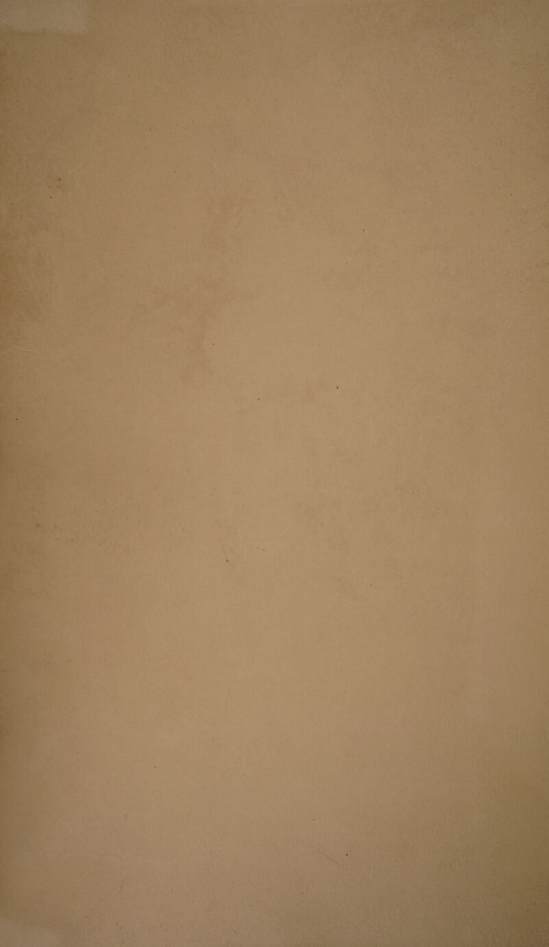 - . -• ’ - - . I ■. ■ , , - M