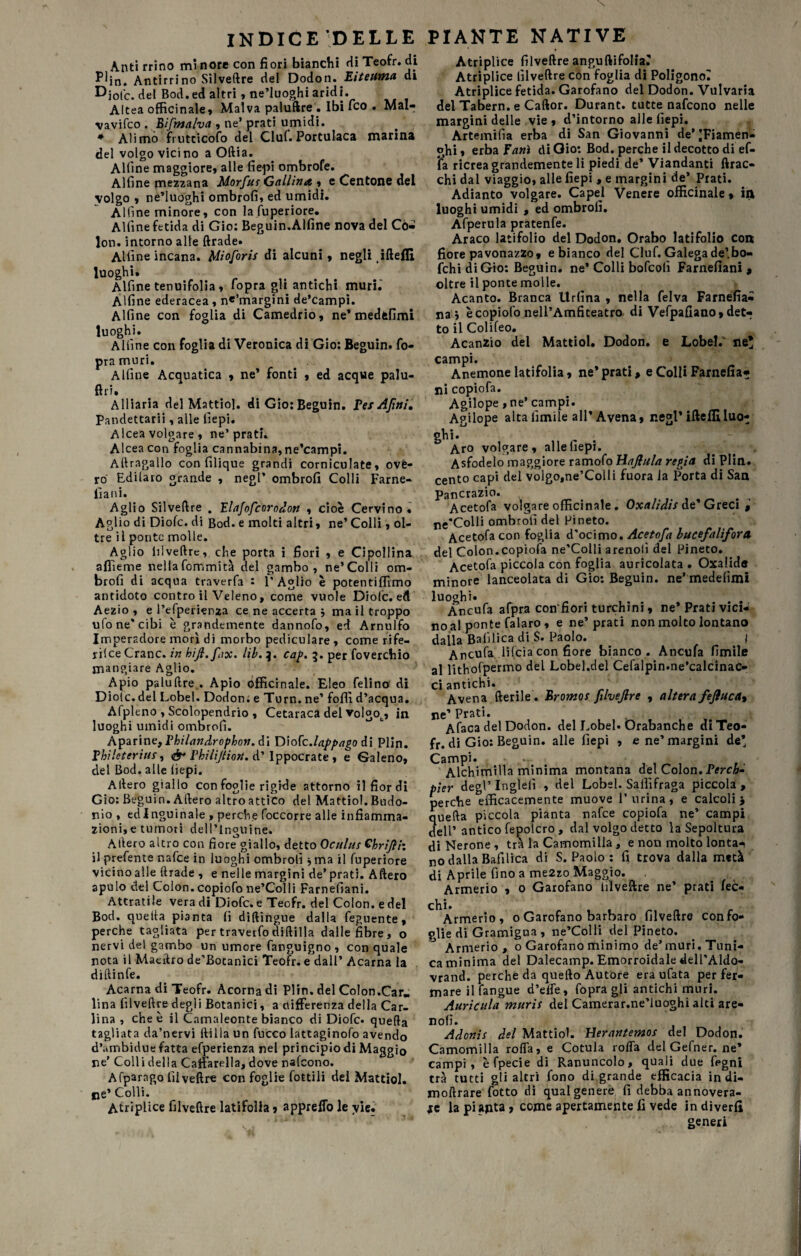 INDICE DELLE Anti rrino mi nore con fiori bianchi rii Teofr. di Pljn. Antirrino Silveftre del Dodon. Eiteuma di Djol'c. del Bod. ed altri, ne’luoghi aridi. Altea officinale» Malva paluftre. Ibi ico . Mal- vavifco . Bfmalva » ne* prati umidi. * Alimo frutticolo del Ciuf. Portulaca marina del volgo vicino a Odia. Alfine maggiore, alle fiepi ombrofe. Alfine mezzana Morfut Gallina , e Centone del volgo , ne’luoghi ombrofi, ed umidi. Alfine minore, con lafuperiore. Alfine fetida di Gio: Beguin.Alfine nova del Cò- lon. intorno alle ftrade. Alfine incana. Mioforis di alcuni, negli ifteflì luoghi* Alfine tenuifolia, fopra gli antichi muri. Alfine ederacea , n*’margini de’campi. Alfine con foglia di Camedrio, ne* medfefimi luoghi. Alfine con foglia di Veronica di Gio: Beguin. fo¬ pra muri. Alfine Acquatica , ne’ fonti , ed acque palu- ftri. Alliaria del Mattiol. di Gio: Beguin. Fes Afini» Pandettariì, alle fiepi. A Icea volgare , ne’prati. Alcea con foglia cannabina,ne’campi. Aftragallo con filique grandi corniculate, ové- ro Edilaro grande , negl’ ombrofi Colli Farne- ilani. Aglio Silveftre . Elafofcorodon , cioè Cervino • Aglio di Diofc. di Bod. e molti altri, ne’ Colli, ol¬ tre il ponte molle. Aglio lilveftrc, che porta i fiori , e Cipollina afiìeme nellafommità del gambo, ne’Colli om¬ brofi di acqua traverfa : l’Aglio è potentiffimo antidoto contro il Veleno, come vuole Diofc. eft Aezio , e l’efperienza ce ne accerta 5 ma il troppo ufo ne’cibi è grandemente dannofo, ed Arnulfo Imperadore morì di morbo pediculare , come ri fe¬ rii ce Grane, in hifl.fix. lib. 3. cap. 3. per foverchio mangiare Aglio. Apio paluftre,. Apio officinale. Eleo felino di Dioìc. del Lobel. Dodon; e Turn. ne’ folli d’acqua. Afpleno , Scolopendrio , Cetaraca del volgot, in luoghi umidi ombrofi. Aparine, Philandrophon. di T)\o[c.lappago di Plin. Vhileterius, fr Vhilijtiort. d’ Ippocrate , e Galeno, del Bod. alle fiepi. Alierò giallo con foglie rigide attorno il fior di Gio: Beguin. Altero altro attico del Mattiol. Budo- nio , ed Inguinale , perche foccorre alle infiamma¬ zioni, e tumori dell’Inguine. Altero aitro con fiore giallo, detto Oculus Ghriflh il prefente nafee in luoghi ombrofi *ma il fuperiore vicino alle ftrade , e nelle margini de’ prati. Altero apulo del Colon.copiofo ne’Colli Farnefiani. Attratile vera di Diofc. e Teofr. del Colon, e del Bod. quella pianta fi diftingue dalla feguente , perche tagliata per traverfodiftilla dalle fibre, o nervi del gambo un umore fanguigno, con quale nota il Maeftro de’Botanici Teofr. e dall’ Acarna la di (linfe. Acarna di Teofr. Acorna di Plin. del CoIon.Car. lina filveftre degli Botanici, a differenza della Car¬ lina , che è il Camaleonte bianco di Diofc. quella tagliata da’nervi ftilla un fucco lattaginofo avendo d’ambidue fatta efperienza nel principio di Maggio ne’Colli della Caffarella, dove nafeono. Afparngo filveftre con foglie fottili dei Mattiol. ne’ Colli. Atriplice filveftre latifolia, appreffo le yie. PIANTE NATIVE Atriplice filveftre anguftifoliar Atriplice filveftre con foglia di Poligono! Atriplice fetida. Garofano del Dodon. Vulvaria del Tabern. e Caftor. Durant. tutte nafeono nelle margini delle vie , d’intorno alle fiepi. Arteinifia erba di San Giovanni de’ ’Fiamen- ghi, erba Fani di Gio: Bod. perche il decotto di ef- fa ricrea grandemente li piedi de’ Viandanti {trac¬ chi dal viaggio, alle fiepi , e margini de’ Prati. Adianto volgare. Capei Venere officinale , in luoghi umidi , ed ombrofi. Afperula pratenfe. Araco latifolio del Dodon. Orabo latifolio con fiore pavonazzo, e bianco del Ciuf. Galega de’.bo- fchi di Gio: Beguin. ne’ Colli bofeofi Farnefiani , oltre il ponte molle. Acanto. Branca Urlìna , nella felva Farnefia» na j è copiofo nell’Amfiteatro di Vefpafiano, det¬ to il Colifeo. Acanzio del Mattiol. Dodon. e Lobel.' ne* campi. Anemone latifolia, ne*prati, e Colli Farnefia* ni copiofa. Agilope, ne’campi. Agilope alta limile all* Avena, negl* ifte Hi luo¬ ghi. Aro volgare, alle fiepi. Asfodelo maggiore ramofo VLaJlula regia di Plin. cento capi del voigo,ne’Colli fuora la Porta di San Pancrazio. Acetofa volgare officinale. Oxalidis de* Greci ne'Colli ombrofi del Pineto. Acetofa con foglia d'ocimo. Acetofa bucefalifora del Colon.copiofa ne'Colli arenolì del Pineto. Acetofa piccola con foglia auricolata . Oxalide minore lanceolata di Gio: Beguin. ne’ medefimi luoghi» Àncufa afpra connori turchini, ne’ Prati vici¬ nai ponte falaro, e ne’prati non molto lontano dalla Bafilica di S. Paolo. f Ancufa lifeia con fiore bianco. Ancufa limile al lithofpermo del Lobel.del Cefalpin.ne’calcinac- ci antichi. Avena Iterile. Bromos filvejlre , altera feftuca9 ne’ Prati. Afaca del Dodon. del Lobel. Orabanche di Teo¬ fr. di Gio: Beguin. alle fiepi , e ne’margini de’ Campi. . Alchimilla minima montana del Colon. Perch- pìer degl’ Ingleii , del Lobel. Sallifraga piccola , perche efficacemente muove Purina, e calcoli j quefta piccola pianta nafee copiofa ne’ campi dell’ antico fepolcro, dal volgo detto la Sepoltura di Nerone, tra la Camomilla, e non molto lonta^ no dalla Bafilica di S. Paolo : fi trova dalla metà di Aprile fino a me2zo Maggio. Armerio , o Garofano filveftre ne’ prati lec¬ chi. Armerio, o Garofano barbaro filveftre con fo¬ glie di Gramigna, ne’Colli del Pineto. Armerio, o Garofano minimo de’muri. Tuni¬ caminima del Dalecamp. Emorroidale dell’Aldo- vrand. perche da quello Autore eraufata per fer¬ mare il fangue d’effe, fopra gli antichi muri. Auricola muris del Camerar.ne’luoghi alti are- noli. Adonis del Mattiol. tìerantemos del Dodon. Camomilla roffa, e Cotula roffa del Gefner. ne* campi, è fpecie di Ranuncolo, quali due fegni tra tutti gli altri fono di grande efficacia in di- moftrare fotto di qual generò fi debba annovera¬ le la pianta, come apertamente fi vede indiverfi generi