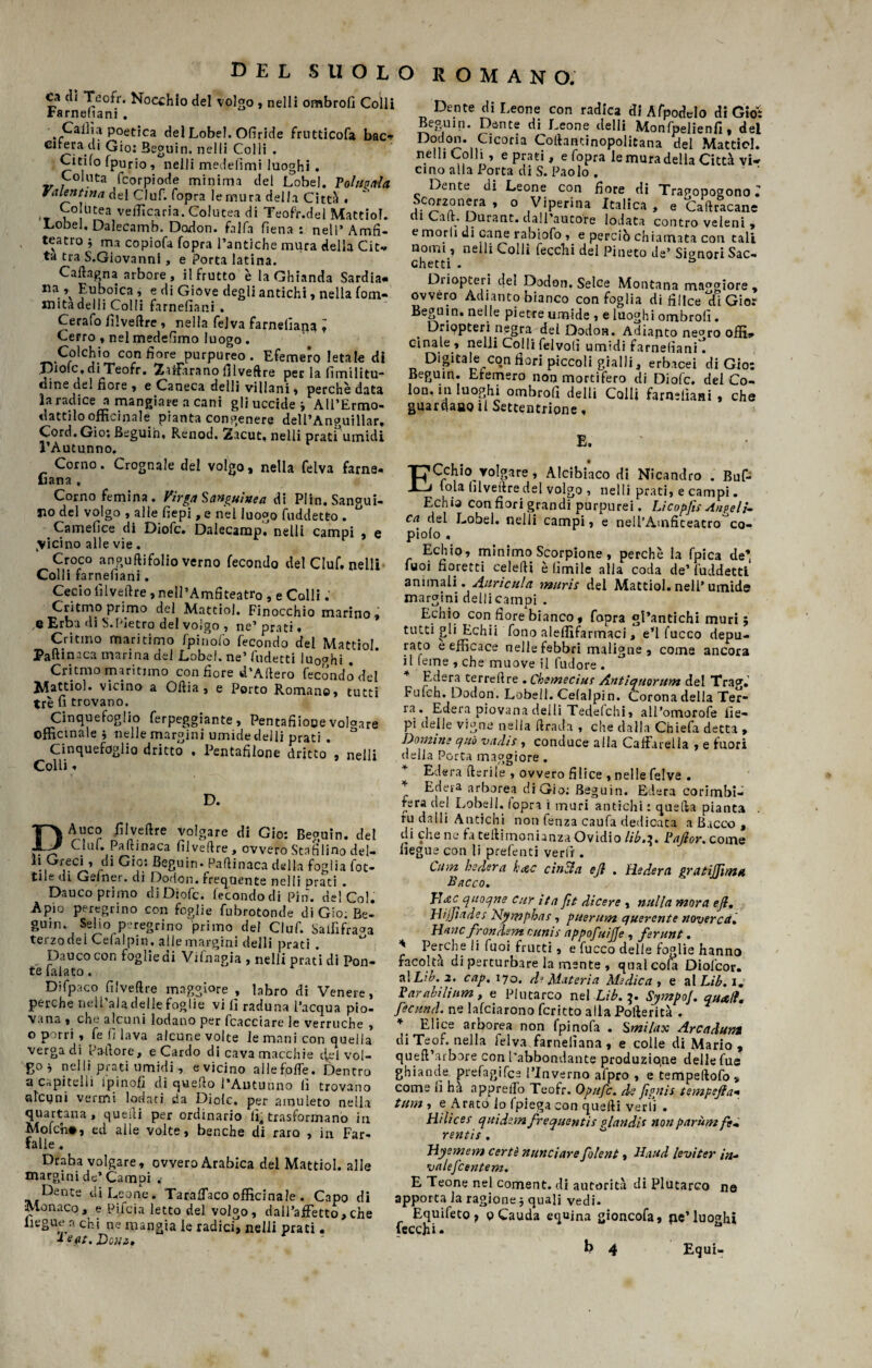 o ai Teofr. Nocchio del volgo , nell! ombro!! Colli Farnefiani. Calila poetica del Lobel. Ofiride frutticofa bac^ Citera.di Gio: Beguin, nelli Colli . Citilo fpurio, nelli medefimi luoghi * Coluta fcorpiode minima del Lobel. Voltinola. Valentina del Ciuf, (opra lemura della Cietà • Colutea vellicarla. Colutea di Teofr.de! MattioT. Lobel. Dalecamb. Dodon. falla fienai nell’Amfi- teatro ; ma copiofa fopra l’antiche mura della Cit- ta tra S.Giovanni, e Porta latina. Cavagna arbore , il frutto è la Ghianda Sardia# «a , Euboica , e di Giove degli antichi , nella fom- initadelli Colli farnefiani. Cerafo filvellre , nella fejva farnelìapa i Cerro , nel medefimo luogo. Colchio con fiore purpureo. Efemero letale di Diolc, di Teofr. Zafferano lìlvefìre per la fimilitu- dine del fiore , e Caneca del 1 i villani , perchè data la radice a mangiare a cani gli uccide -, AU’Ermo- dattilo officinale pianta congenere dell’Anguillar. Cord. Gio; Beguin, Renod. Zacut, nelli prati umidi l’Autunno. Corno. Crognale del volgo, nella felva farne- Lana , Corno femina. Virgo Sanguinea di Plin. Sangui¬ no del volgo , alle fiepi ,e nel luogo fuddetto . Carnefice di Diofc. Dalecamp, nelli campi , e Ricino alle vie. Croco anguftifolio verno fecondo del Ciuf, nelli Colli farnefiani, Cedo filvellre, nell*Amfiteatr0 , e Colli. Critmo primo del Mattici. Finocchio marino, e Erba di S.Pietro del volgo , ne’ prati, Critmo maritimo (pinolo fecondo del Mattiol Palli naca marina del Lobel. ne’ fudetti luoghi * Critmo maritimo con fiore d’Allero fecondò del Mattiol. vicino a Oltia , e Porto Romano, tutti tre fi trovano. Cinquefoglio ferpeggiante , Pentafiioee vogare officinale j nelle margini umidedelli prati . Cinqueroglio dritto , Pentafilone dritto , nelli Colli, D. DAuco /li ve (Ire volgare di Gio: Beguin. del Clul. Paltinaca filvellre, ovvero Stafilino del— ll-lGf)eC^’ rdi Gi0s BeBuin* Pallinaca della foglia fot- tile di Gemer, di Dodon. frequente nelli prati Dauco primo di Diofc. fecondo di Piti. del*Col. Apio peregrino con foglie fubrotonde di Gio; Be- gum. Seno peregrino primo del Ciuf. Salfifra^a terzo dei Cefalpin. alle margini delli prati . Dauco con foglie di Vifnagia , nelli prati di Pon¬ te Palato. Difpaco filvellre maggiore , labro di Venere, perche nell’aladellefoglie vi lì raduna l’acqua pio¬ vana , che alcuni lodano per fcacciare le verruche , o porri , fe fi lava alcune volte le mani con quella verga di Pallore, e Cardo di cava macchie cfrl vol¬ go j nelli prati umidi , e vicino allefolfe. Dentro a capitelli ipinofi di quello l’Autunno 11 trovano alcuni vermi lodati da Diolc. per amuleto nella quartana, quelli per ordinario lì* trasformano in Mofch#, ed alle volte, benché di raro , in Far¬ falle . Draba volgare, ovvero Arabica del Mattiol. alle margini de’Campi . Dente di Leone. TarafTaco officinale . Capo di Monaco, e Piieia letto del volgo , dall’affetto, che liegue a chi ne mangia le radici, nelli prati. •* eat. Dotti, ROMANO. Dente di Leone con radica di Afpodclo dì Gio: Beguin. Dente di Leone delli Monfpelienfi, del ^ n■°r'* Cicoria Collantinopolitana del Mattiol. nelli Colli, e prati, e fopra le mura della Città vi¬ cino alla Porta di S. Paolo . ' ' Dente di Leone con fiore di Trapopogono ; Scorzonera , o Viperina Italica , e Callracane ni Cali. Durane, dall’autore lodata contro veleni , e morii di cane rabiofo , e perciò chiamata con tali nomi , neili Colli fecchi del Pineto de’ Signori Sac¬ chetti . & Driopteri del Dodon, Selce Montana ma°giore , ovvero Adi anco bianco con foglia di fi 1 Ice di Gior Beguin. nelle pietre umide , e luoghi ombrolì. Driqpteri negra del Dodon. Adianto ne<*ro offij. cinale , nelli Colli felvolì umidi farnefiani ! Digitale con fiori piccoli gialli, erbacei di Gio: Beguin. Efemero non mortifero di Diofc. del Co¬ lon, in luoghi ombro!! delli Colli farnefiani , che guardaao il Settentrione, E. ECchio volgare, Alcibiaco di Nicandro . Buf- lola filvellre del volgo , nelli prati, e campi. Echio con fiori grandi purpurei, Li co tifa Angeli- ca del Lobel. nelli campi, e nell’Amficeatro co- piolo , Echio, minimo Scorpione , perchè la fpica de* Tuoi fioretti celefli è limile alla coda de’ fuddetti animali.Auricola muris del Mattiol. nell’umide margini delli campi . Echio con fiore bianco, fopra gl’antichi muri; tutti gli Echii fono aleffifarmaci, e’1 fuoco depu¬ rato e efficace nelle febbri maligne, come ancora il feme , che muove il Pudore . Edera terrellre . Cbemecius Antiquorum del Trag. Fu.eh. Dodon. Lobell. Celalpin. Corona della Ter* ra. Edera piovana delli Tedefchi, all’omorofe fie¬ pi delie vigne nella Grada , che dalla Chiefa detta , Domine quò vada , conduce alla Caffarella , e fuori della Porta maggiore. Edera Iterile , ovvero fili ce , nelle felve . * Ecie‘a arborea di Gio: Beguin. Edera corimbi- rera del Lobell. (opra i muri antichi : quella pianta fu dalli Antichi non lenza caufa dedicata a Bacco , di chene fa tellimonianza Ovidio lib.^. Vafior. come fiegue con li prelènti ver Ir . Cum hedera frac cincia ejl . diedero gratijjima Bacco. Jd&cquoejne cur ita fit dicere , nulla mora e fi. Llijjiades Nymphai, puerum querente noverca. diane fronde m cunis appofuijje , ferunt. * Perche li fuoi frutti, e fuoco delle foglie hanno facolta di perturbare la mente , qual cola Diolcor. al Lib. 2. cap. 170. d° Materia Medica , e al Lib. 1. Varalilium, e Plutarco nel Lib. 5. SympoJ. quoti, fecttnd. ne lalciarono fcritto alla Pofterità . Elice arborea non fpinofa . Smilax Arcadunt diTeof. nella felva farnelìana, e colle di Mario, quell’arbore con l’abbondante produziqne delle fue ghiande prefagifee l’Inverno alpro , e tempellofo, come fi ha nppreilb Teofr. Opufc. de fiPfiis tempefia- tum , e Arato io (piega con quelli ve rii . Hi li c es qttidem frequentis glandìt non parùm ft- rentis . Hyemem certi mine tare folent, Haud levi ter in- valefcentem. E Teone nel coment, di autorità di Plutarco ne apporta la ragione j quali vedi. Equifeto* oCauda equina gioncofa, pe’luoghi lecchi- b 4 Equi-
