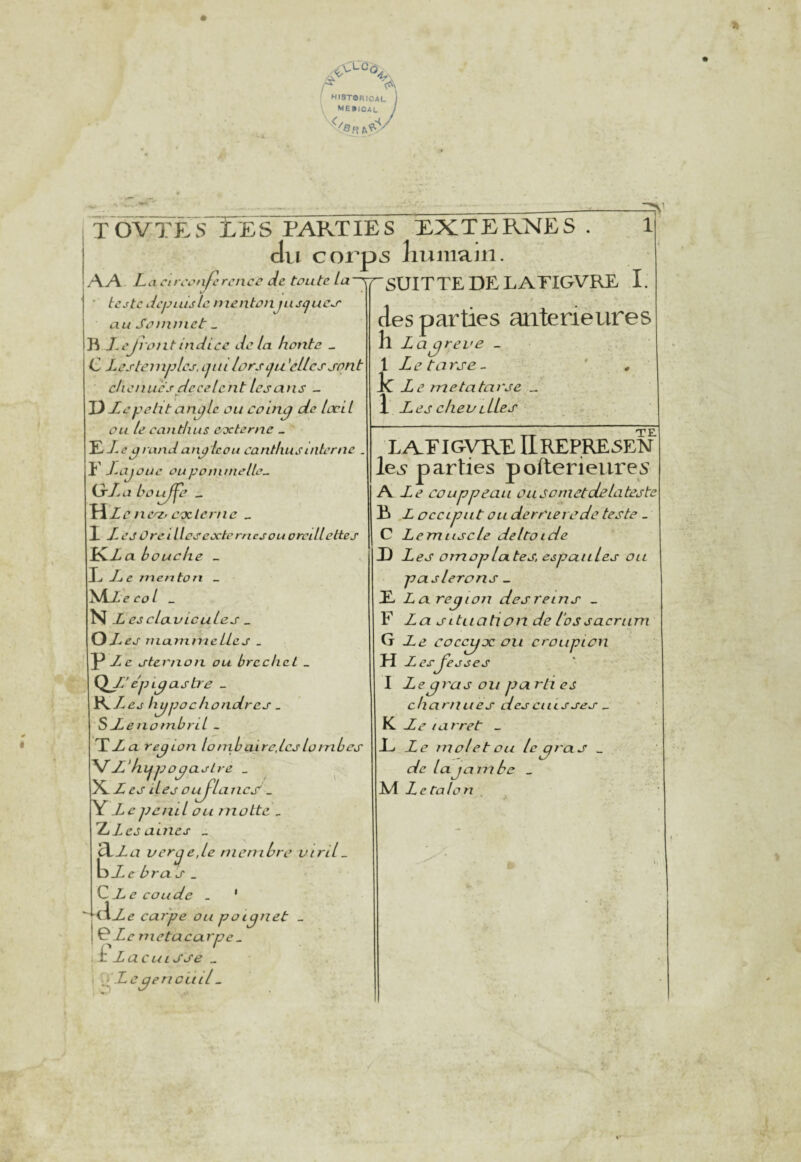 4^\ r HtSTORICAL 1 me»ioal y M TOVTE5 VES parties EXTERNES . 1 Jvi corp5 liumain. AA JL il Cl rcot^crcnce de toute SUIT TE DE LAEIGVRE I. • te jtc dcjjuisle mentonjujijueo' au Soniniet _ rontindice de la honte _ C Lesteinplcj, ijiiHûrstju 'elles sont chenues dçeelent les ans - D -Leyelit anplc ou camp de locil ou le canthus esc terne _ El e prand an^lcou canthus interne . Y J^ajoue ou pommelle^ ij-J.a bûL^û _ Hz c ncri, esc le nie _ 1 Z es ûreillosexteruesou oreillettes KZ a bouche _ L L e nien to Tl _ ^JYLecol _ N Z eschxvicules _ oz es niunimellcs _ P Zc sternon ou brecticL _ QJ- e'jyLpastre _ Ys^des h^jjochondres _ S Xe noinbril _ TZa région lonibaire.lcsloinbes \hJL'hijjjopasLre _ N Z es lies ûuj^lancs' _ lYz peiul ou niûlte _ ZZ es aines _ aza ver^e.lc membre viril - bz c J’ _ Y Ze coude . ' -hIz 47 cai'pe ou poignet - 0Zr metacur^ 1.il Zacuisse _ Legericiul - rpe. des parties anteriè Lires h Z a oreve - 1 Le tarse ~ le Zi’ métatarse „ 1 Les cliev elles T) TE LAFICïyRE liREPRESEN le^ parties poflerieiires A. Le CO appeau ousonietolclateste ï» ,Z occiput ou derrière de teste _ C Lemiiscle deltoïde D Les omoplates, espaiiles ou paslerons _ E L aregion des reins _ F La situation de l'os sacrum G Ziî coccyx on croupion H Zi’a’Jesses I Le gras ou pa rli es charnues des cuisses ^ K Le Iarrêt _ E Le inoletou le gras _ de la jambe _ M Lctalon