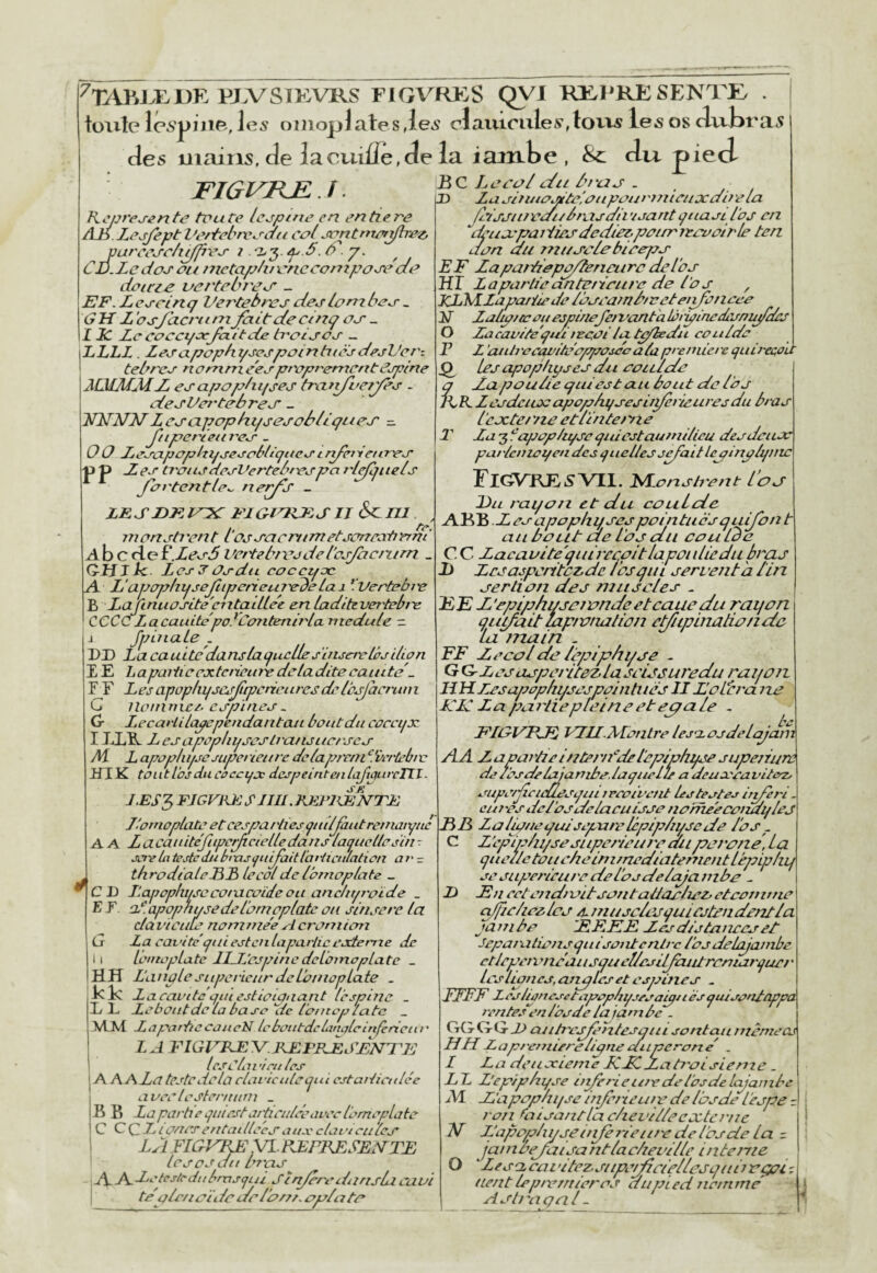 ^TABJXDE PJ.VSÎKVRS F1GVR>:S QVl KILPRE SENTE/ toute le^'jpiiie, le^ oiiiopJ ate s ,le5 claiuniles*, tovvs les os divbras des mains, de iacuiire,de la iambe , &: dti pied TPJt^T/Ti TP î -B C Te en/ e/zi ât'cin . J- Âun . P ZueinuoMte'û(tpoijri7itetixairela AE.LeefeptVe/tebreean en/ JnntnieiTfhez, ‘ . • / /• / . vareeec/t^ee i .6'. y. CÉ.Ledos ou nictaptii'cnecomposeao doicie vertebje<f _ EF. L cscin ç Vertèbres des lom oes _ GHZ 'osJ'acj'ur^ifaitdecft^ç oj’ _ X Je Zc CO CCI/ocJèiit de trot S os _ ZLLL . ZesapophysespointiièsdesVer^ tebres nornnicespt'opremcnt(?jptne JŒMuMZ esa/jo/shifses traftjvc?yes - desVe/'tehres' _ JŒ2Z2ZZ csapophi/sesoS/içues =. Jtipet'/eni'cs . O O Zesapophyseecbliqucs t nfetPcures •p P Z es tioiisdesVerte/tespa l'ieftjiiels Jortentle^ ner^S - LES UK ITK FJOl^RFS IJ &CIU ^ inonstJ'ent l'ossacrttmetsoncorh'crni Abc cio F.Zesb Vct'tehx'j de l'osjacntrn _ QHlJc Les 7 ûsdn coccifx A. L'apojyhijsejîipeneuiedeLa 1 *Lvertebie B ZcLJinuoscte'cîitailLee en Laditcvertel^ie^ CCCC Lacauite'po*Co?itenh'La niedule - i fpLnaLe .. DD La cauitedafis laquelle s'insère Lés dion E E La paiiic extciteuie de Ladite caïute.. F F LesapopLii/scs^cpcncnresdeIb^hcruni G ilonintee. espiaes.. Cr ZecavliiapependantajL bout du coccyx ILLE L esapepLii/sesLra/isncrscs /H L apjpLu/jcjupei ieiire de La/orcni f écrbljie iflK toutiosducoccyx despeint en laJipuvcTLl. 1> Zas/ttuo, deiiSL'paiiies dediez; poimjeeoûirLe ten don du mi/se/e biceps E F Za pattiepp/Zencurc delos HT Laparticdntericitrc de l'os , XLyLZapcutTedelbscajnb/vetetifûncce '''alipucouespinefeirant'aL ' ’ '' acaviCe'yui tecoi La tp/bec 'aiiti 'ocaviteo/:poscc a/ap‘ ^ Les apofjLiyses du coiudc a Za poulie c/uiest au bout de l'os ILR. Zcsdeiix:apophysesitiférieuresdu bras L'exte/ 'ne etllnte/ yie 1' Za 3 IcyJopLiysc yidestau/nilieu desdeuoe parLcinoyen des yiLclies sefatt lepinplyutc EigVRE^VII. FLLonsh'ent L’os L>u rai/ojz et du couLde AEB ZcsapopLii/sespointuesquijon t au bout de L'os du cou Lbe C C Zacavite'yuùrcoitlapoiiLiedu bras Jj ZcsasperitczdcTûscjin servent'a lin serti ou des muscles . FE Z’e/d/jlu/sûîondeetcauedu rayon yiidiiLt laptvnalion etfiipinationdc La ntain . FF Zecol de le/dph y se . G G Les as/yei'itez^la seiss uredu rayotz HH Zes apophyses pointues 11 L'olbm ne JC K Z a /ya l'ii e pLein e et epa. le . FIGVBJE yJUALonLreles-xosdelaJam SK J.ES'b fjgfresiiu.kepicbjcte Foniaplate et cespa/'lies /uiljautreinaix/uc A A LacauiteJiipedtcieitedansla/iicLlcsin- screlatestcZibtas/niJaitlaUiculaticn 07' - throdiaicEE LecoLde Ibmoptate _ CD l'.apopLit/sccoixicoideou a/tcLit/roïde _ E F. aC. apophyse de L'omepLate ou sinse/'c ta cLa viciiZ nartirne'e A crorJtian G La cax'ite c/uiestcnLapa7-ticesderrxe de 11 lo/ttüphxte llZJcs/sinc dcioiixopLate _ HH LanaLestipci'icurdcLomoüLate . K K Za cavité qui estioipiiant L'espine _ EL Zeboiit de La base de Lcuncp latc _ \1M ZaparticcaucN LeboiitdcLantjLeinfericiii' L A FIGFKE ^C.KEFRElŒNTE les C tari ru tes A AAZû teste de la clavicule t^ui cstaiiicnlée L i vec tcstcruinn _ B B La partie qui est articuLcc avec l'ernepLate C C Ch ûucs eritaillces aux clat v eu les JSl FIGVTUHyi.RErRESEtCTE Lésas du bras AAZei<7s/edttbrns/iu Sir^rcihmsLl caui teplc/ioidedel'om.oplato mpc/jlctdlesi/iu ircpivetit Zstestes iri/è cures del'osdelacitisse nomeecondi/Ies RR Zalioueyuiscjvar'eZpi/dn/sede l'os . C L’e/yiphyse supérieure du péroné, Loi t/iieaetoueheimmcdiatemeiitLépipLii/ SCsiiperlciu'c del'osdelajambe - D En ccteirdnyitsoiitaütic/iczj ctcomtnc ojpclicelcs A jruiselosyuiestendentla jarribe 'EREEZes distances et Scporationsc/uisontenlrc l'osdelajarnbe etlepci\yncausc/udlesilJautrcniaT'i/uct • Les lianes, aruylcs et cs/oines . EFFF L esLianesetapepln/sesa^i i es t/uisenZappa jvntcZcn L'os dû La jarj bc - GGGG Z> anPrsfûhtûsqui sentait memeas HH Z ap/ 'entière ligne ch tperan e' . I Za deuxieme KFZZatr'oisieme. LL L'epiphi/se iriferietnedeibsdeLcyamb, Zî E'ajyophi/se inferieure de Ibsde L'espe = ron^ faisant La chevilleeectcr'ne 7d Jlapophyseitfèrtcur'cdeL'osde la z. jambejuisarrtlacàeville interne O Ztsacavitcpsiipcrficiellesi/iiiroç/oi-: rient Z/rternieros du/tted riotnrne Aslt'agnl -