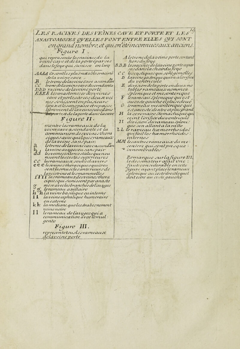 Lus F^y^L'INKS UK s rKINES KTFÜKTE El AT^ASTOMOSES OyELLES FONT KT^TKE ELLES O FJ en üiundjloinù?e, et oin on ‘'étéinconniicsauaû rLPLLva U1 LES SONT anciens 'LyLLVa I . ^fut t-cfjt'tz^cnte Ic^ixici/tc^dc. Aï i> ci/ ic cciL’C ci Se lu ^jp/'te epu 7'scs Aatw^lejcii^e x^ui yu/iiJ'c-e c/i Luif Ce CO /itlccfjlii s/udu tic a -uci/ic (Ida. ocl//e cctuc , ^ -S leIfC/ncUclavci/tcCuuc acce/idan ce honcdelei veinecui>edcccc/idunta F 1)1) racinecdelavcincpoi'tc EEEE lûsu/iaelo/ricsardccvei/Le.c’ cave etporte,cc±i'cco'Scu.oc vei ncj' Su/iido'e/it c/ipUtAcu/'C' lieu Jcctlej'u/ippaccc et/cpcLcce Ut rcnie/ztdclu vei/1ecuuedanj' 'd-e,etde la po/'ie du/ic Lxca vc Fiyure TI- iilontte Lec/'atticuuec de lu. veine cave acec/tduntc et la cornntu/iio/i decvcitreetliecu tiquer U vec quelqites / xi me and: de lu veine vu/icpu/i : lel va ne de la vei ne eu veuecc/ulan La veine a cqpoco 11 eu nepai/' Lee vei/i ee i/itère oetalee qui ne U rijce/i tleecoetec citpcri eu / -es lecra/iieuLLX coitbccluvierc C C C lecveiricsthoraciqiiccijuiarûu ce /itlec/nu cclec uti te /’ieurc de l a paicti'i/xc et lecnia /ii/nellec ftrr lesm/rieuiixdecvei/icj'tlicra cicjttecqui cii/iiscentparunacto or mcce a veclec ù/'U/ichcs del ’ueypos 't le/u//ieaii uxilluLre Il II lu vei/iehacdiipie eui/iter/ie I X la veineeephaliqite humcraire on exte/7ie K. K lu //iedia/ie,quclecAiubej'/w/iic/it . . vei/ie /loi/e II Le/u/neuii del'a iypoequi a co/u//iii/iicatiou avec lét/iuL ; pc/ile Eiyuve JIJ. rep/vee/i teteiieLee/u/ncuuoc _L Le lui ’ei/ie pot'te_ a )id cc i lehoncdelu vct/iepo/'teso/ lant ho/'sdtyoï/e BEE leeracines de lu vei/icporte espar sesdunsla chairdu rci/t C C Lesci/sliquesqui sontpcrnelles S) lavei/ieyustnqiieqiui'u uL'ot'dlcc du veuh'tcule E divieiort delàpotlc e/i dci toc no tabled ru/neutnv no/tif/iC'Z. Jpleniquc et rn c vente/'ique F Le/xi/7ieuiiSplénique qui cvt ^ au casteputtehe cCplusevleu c tera/neuu niesetife/xqucqul estauccvtc 'deocti e et pluspi a nd Lu eo/‘Onuii-eSto/nuclicqucqui cem t Lb/'ijicedu vcnlnciile di V isL O! i 'du /•Ci nieuLi Sple/i i que sen ullantu ta /uLte le rcLf/ieutt hcenio/'/‘haidul quifixittes Itce/no/n-lioidev : i/i‘te/‘/tcv A£AI leseiut/'cs/‘U/ncaua. ' di i me'. Cr H 21 LL se/itere qui vontp/'csque in na/nù/'utlev Re/nu rqtic vu/'lujigiu'e 171 ledes. rinu teu /• c^e\ it Vil e ~~ Jû.xitti' eo/i side/'a Sic en celte /•e eiipintplacelera/itcuu Sple/iiifuc un costcdrcidcqucl doit est re au ce s tepauclie