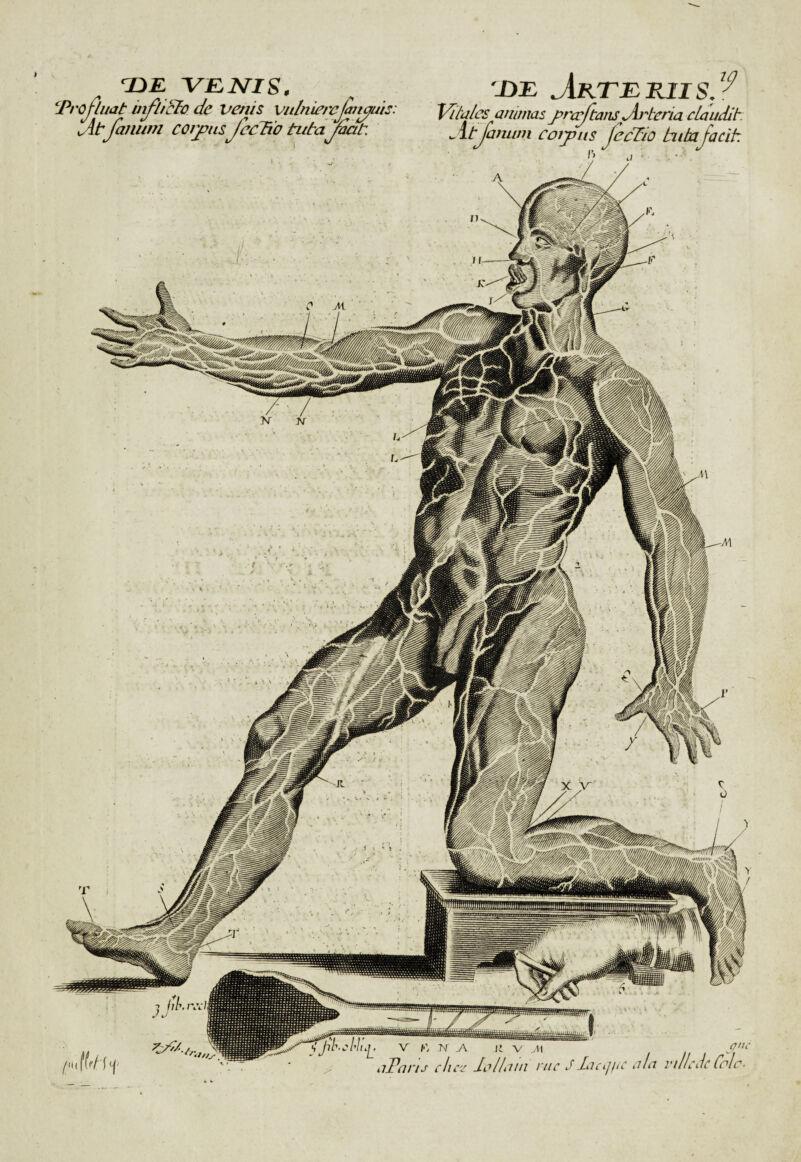 'VKJVIS, ‘Prcjluat de Venis vuln iercjan^uis. u4t famim écrans JecR'o tuta^cit. -DE ^RTEEIIS/^ Vü'd/cs atlimas j^rc^tam Jiideria cLaudit. ^ itjanuni coijptis jecTio biitajacit J ■ • . V E N j\ /’ V .11 aParu chez JaUdUi eue J dactjiiC a la l'dlcJc Cale.