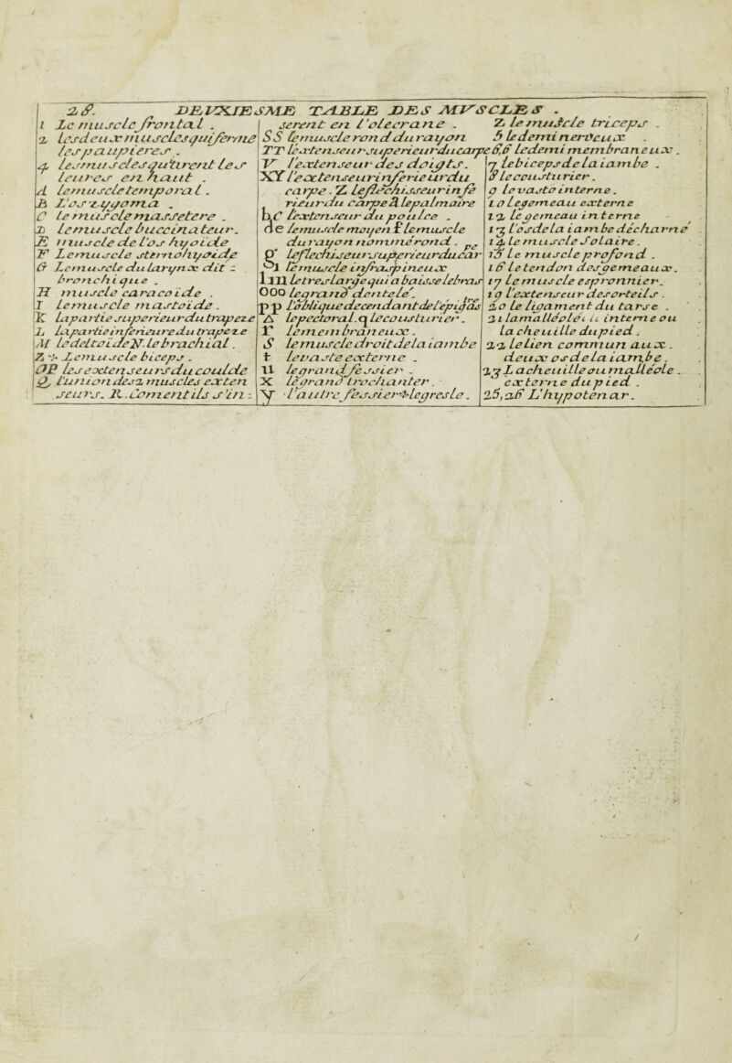 2^. l,c niLisclcJrofitixl . Lesdeu JC ni uj'cLeji^ntyècrn£ le J/^a uptere<r . leema J-c/e J ^u ïmc/it /e<r letii'C^ c/l. hdtit . d lû/nuscletenipcrcl / . É L'cj'i.i/j/crrici . C le muscleniusj'eterc . X) lemusclel/ucclnuteLU'. S nxit^cle de L'os hycide F' Lei/ziLscle stemo/iyoldp Lt Lcnxciscle du lufyrtx dit - L't~ouc/iiytte . U niusele caraco’ide . I IcmtLscle niastoïde. ÎC Lipai'lie sape rieur du tt'ape/.e Jj lapa rtie inferieure du ti'apCTLe 1 \[ ledeLtOLae2l- le brach ial. Z *.'• dcniuscle biceps . OP les extenseurs du coulde l'uniondes'ztnuecles exten ,seurs. 7t.LOmentils s ’i/i - ItEjlOLIESALR Ts±BLE X>ES Aft^SCEES jerent e/l l’olecrci/ie . X,lefn/tJcle triceps . SS tepuuscleroncldiircii/an 3 ledeminerücujc TT} léa'tense/trsiipe/ieurdiicarpeSfd ledetni membrane ux V l’extenseur des dcipts '^CC l ’ecctenseu rin/erie urdu carpe. Z leJîecAisseurinJe rieurdit carpeUlepalmaire /extenseurdupoulce . <ie Icfruiscle moyen £ le miLScle ciuj'ayon nonxtnerond. P* leflechiseuf'supier/eurduear .*^1 letnusele itz/raspineux \xïX Le très Large qui a baisse lebras in Le muscle espronnier, r\r\r^ /_J - ^ / s S- _^ OOO Leprcinb dentele'^ ^ P J) L’obltyuecLecendantde/epipds A lepeetoraLc^lecouslurier. X' letnenibraneiix. S le muscle droitdela ianibe 1 levcisteexterne . Il lepranddissiei' - X lepranb Lroc/ianter. 'y~ ‘ l'a U iJ 'c\ fcssi er-it lèpres le. rj lebicepsdeLaiambe . S lecpustiLrier. Ç le vasteitxterne. lOLepemeau externe 1*2^ lepemeau i n terne t ^ l'ûsdela iarnbedécharné i^le mLiscle Solaire. idLe muscleprz^ond . iff le tendon aespemeaux. iP l'extenseurciesorteils . tio le ligament du tarse . 2,1 lamallépLéi. il interne ou La cheuiLLe dupied i a a Le Lien commun aux. deux PS de La lcLrn,be. L acheuilleoumalléoLe . extei'ne dupied . ‘l6,ad L’hypoten ar.