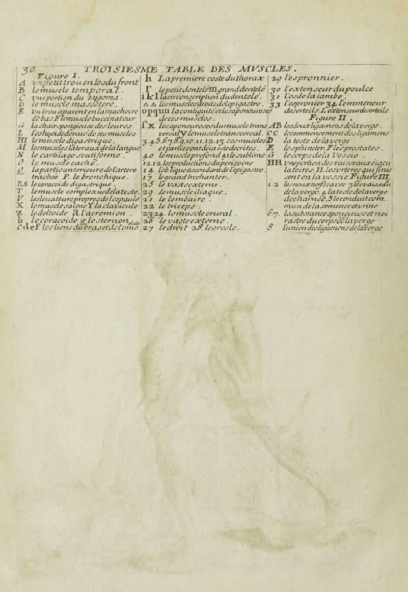 5^- Ti^uye X. i r A vn.petLtLrûuerLlDirdUiJrûrLt 13 lemtiJcLe tenzpora^l. C Vnepûrli^n J a Z-l/pt'mcl. 11) le muscle masjetere. j JÇ Vu Lrou apaventenlatnachpire I de basFieniiiselebuccinateu r ' ir la chair^potijieitse des Leiire^ L l 'ûshiicïdedenuc'dc ses muscles Tfl IcinuscledipaslriijLie. J £ Icsmuscîesla terauec delà langue N le earlilaae j'cutijbrine . Û le niuscïecaclie'- la partisan teriei i redel'artere trachée F. le bronchique. TLS le coracoïde di^a^tr'ique . T lemiiscle comptexusdelateste. lesleiiatêiirspropres de lespaule X le muscle sa leneY la clavicule X Ledeltoide Si l'acromion . b leccracoïde ^ lesternon^i^ C cl ef’ les liens du brasetdcl'onxo 2 ' ROT S IF. SFUfj TA BL F DÉS Ad VS CLES . Il Jjapreniierc costeduthoraac , f lepelitdentelJlXlpranddentele i £c1l lacirconsciipiion dudentele'. 'hp l'espronnier. •^o l’eoctenseurdupan Ice iosde la ianibe AA lesmusclesdroitsdsLepipastre. l'cspivnier l'emmeneiir Opçi^llU laconlipuite'etlesaponeuivses desottells.L carteneemxlcsortcUs de ces muscles. 1 X lesaponeurosesdumusclehxtns versai^ Icinuscletransversal. 3. ^ d.q.8. ces muscles D et parties ontdeia estedecrites. ^ ^ O le muscleprofb nd pile sublime Fipure II . r AB lesdeiLxlipamcnsdelavovpe. C C lecommencementdeslisamens ■' la teste delà verpe . i lesphincter. Flesprostates. leeei'psdela Vessie . \E û fz.ta.. lesproductionsduperitcine HH Vneporticn des vaisseaujrelacii ■ '' ' ' ' ■ ^ ■ latoires.ll.lesL'rteresquiJtnis ^ sent en la vessie FiaureUI. ‘xd Le Vasteexterne. 3 Ç le muscle iliaque ■Il le lombaire . 33 le triceps . 3^3.3^. lemiiscle crural. xff le vasteesctcrne. 37 le droit xF. leorcsle. i. 3 lesneiixne^ca ces 3 lesvais^du delà veryc, ^ la teste delà vetye dccharn éé. 5 leccn idu i tcom. mun delaseme/rceetvixrte dp. las U b J ta ncespoi ipi e use et noi r astre du corpsdeLa verpe S Litnicn desliçaniensdctaverpe