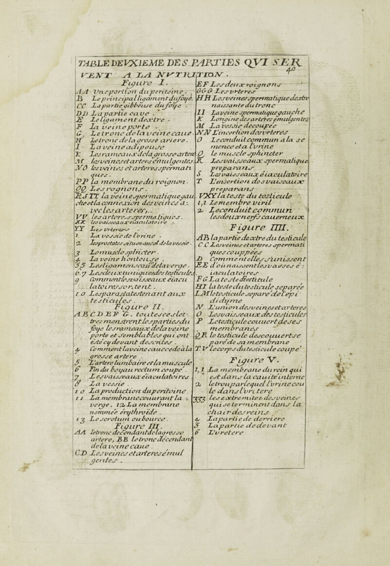 yyiBLEDEUXIEME DES JMRTIES QVT ^ AjO Jsrt^TlUTIOJsr ^ F^iU's 1. AiA Vrxeyorlipn duperitame . J3 priitcipallipaineritdij/oife. CC JLppartiet^ibheiLse dnypi^e . Dl) X a partie ca. ve ~ F delipainentdea'ti’e - F la ueiiteport^ - LetroJicdolciuciriecaLie- H le trot ic ciclapresse arleve. I La vûineaaipeLip'e X Lej rameau JC dr/apross-raiteit A f irj-veirirj’et arters rn ni Ipentes. Alû bevrinrj rtarteresjpetynatL qaes. PF La menibranedii l'oipnan . les l'oprionj’. 2tJTT la veùtespei'ntalicfuepau cheetla conneaciitn des vein Cifa-- vecLcscirtet'eTf.^ W lesartri'r^sspermaditftirs. XX. IcsvaÎMeupx'eiaciitateli'e • lYT L es Urterai'S La. vessie de l'v ri ne . EF lesdeitjcraipnatts &&G-L es vrteres ' “ HR Lesveines spermatique Jeadre naissante du tronc II Lavcinespermatiquepauchc K X pTipin e des a rteies emulpcn tes AI lar'cssiedecoupe'e ïm L'inrerlton dosv’rteres O Leconc/iiitcommun ala se nience eta. l’vrlnc Le muscle sphincter R. Lcsvaisseaux spermatique S T preparatis- Les vaisseaux ciaculatocre d lespivstatessituei^atical Jeta vessie. J Le muscle sp/ncten ■ P la veine tiontciLse - 55 LesLipanre/isoaddclai eipe■ t>.y Lesctetixltiniqucsdestesticules ç Coninientlesva isseatix éiacu latoiressor^tent. ro LesparastatestenantaiLjj testicules. Figure TI. ARCJOFF C-. toi L teseeslet- tres monsP’cn t lesparLiesdi i fiqe Lesrameaux delà veine porte et Se/nhla blés qu i ont este cq devant descnles . Ca niment lavcine cauecedeaLa presse artere . Fartere lumbatre etla. rnusculo Fin dit boqau rectum coupe'. X esvaisseaUéX e'iaculatoires la vessie . la production duperü-oine. la niembrunecoLiui'antla ^ vetpe, ixLa metnbnxixc uonime'e ei'qthroïcle . L e scratuni ou bourco. Fcptirc III. RA. letiviicdeeendaiitàclaprosso artere, £B Le tronc ue'cendant delà vetne cCLue . CF lesvei/tesûtarteresetnul P Cl des . â f t O il Finisci'tiori dcsvaiseatix P reparxns VXFlla teste du tesLicule ' lP le membre viril ’ Lecanduitcommun ' lesdeuxnerfs cauerneitx Figure lUlC AP» lapartiedextredu testicule C C lesveines et artères spermati gîtes CO Lippees X> Comme utellesS'untsscnt FF d où naissentlesvasses é: laciilcitoircs F G La tesLedrecticule HL La teste du testicule séparée LAI le testicule separe'de L’ep L di difine I\b JJunLOixdcsveinesetarteres O Lesuaisseaux des testicules F Letesticulecouuertdeses , membranes Q^K le testicule descouuertse P are'de sa membrane T V lecorpsduteslicule coupe' Ft^ltic V'. La membrane du rein qui ^ est dans la ca u ite'intei ne letixui paiiequel l'vrinecou Le dunsl'vi'Ltere Les e jcti’e > n iteo desvein.es qui se temxinentdans La chah' de.!'reins P lapax'liede derrière 5 Lapartxe dedevant S L'vretcre l. I 3J5