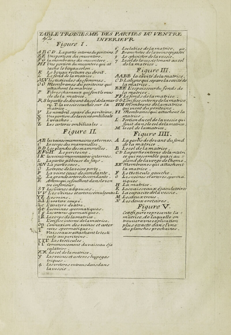 TABLE TBÜISIESMÉé TES PAKVms EU IPfJ^TKE f'j.. Tu;iir£ I. I2VrTB^IE U R. £ LalabicéT del/:i mah'tCi^. -, di E C E . L aparlte interne Jn péri teine. JBtvcmchetee de la veim^e^ipajb’t EE Uneyortian dti inerentere. EG La memhrai^e du mesentei'e . Mil *tie portion du iriej-entere cjhl at tach.e Le l'OijaucoLon . K Le Li^oijan rectiim ou droit. \L JL ejbrxd de La matrice ^ leoteslicuLej' de^rfenxrries - \0 O tTLeuzbraixes du veritouxe cju 't j attac/ient La malrice _ F Edrej’cfiarneucc (ju^ontle muo cLe de la rnabùce . EFL^orids de la rriatrcce _ J\,S LapartiededevanJrducoLdelaniar G Glorijxce mternedela matrice ri^.I.LcLvesoLccoucfte'esur la idH tTletnlxrarie deLairtcttrice matrice . cjtii oient du peritoitie _ V Le notnL>rd separe'duperitoLtid, TI ITtcrnlrranej-tjui attachent La X. Vue portion cCe lavei ne ombiLicalè matrice ^ y LvracAos . I JEorlionducolde Lavecsieejui I Les arteres ombilicaLes - finit dans Le coL de Lamalrice. . . Jlf Le coL de Lamatrice ^ , Figure IL Tijure im. Æ les veinesrnarrunairesejeternej', ^ laparbe de devant dujbnd p Le sphincter de La vessie, y Lecolde lavessie tenant au col delà matrice _ F Lettre m. dlAJBS la ca vi te'de la ma tri ce - CIL aligne (jit i séparé La cavité de lamatrice . EEE L’espatsseurduJcrids de La matrice . C Le corps des mammeLLes . HL 3splandes desinamnielles . EEdtl I e péri to t ne . ÏBC lesveittesniaxuniaires internes. L La partie piLxbeuse du . La parti e cave . 0 Le tronc de La veine porte . F La veinecaue descendante . O J La prandeartei'edesccndante . R sdrùeresqui sefibuvltentda nsLe ven Ire irnerieur . S T Lesveiiies adipeuses ~ de la ma tri ce B LecoL de Lamatrice . CJD Lapartieinterne delxLm'aLn ce cpii ressemlole quasi au - glati d de laverie de l'hctne _ ME nieinbrariesqui attaclxetit La matrice . F Le tésticuLepaticlxe . G L es veines etarteressperma. tiques . H La mati'ice . E Lesuaisseaux èjaculatoires V tf L CS iJeines etarteresemuLpentesL La capacité delà vessie . fyz JLe^uetPXii ^ 3-tL L vretere coup e . h C L'iiretere desetre . de Lesveines spermatiques. £ Lesarteresspertnatiques. i jK- Le CO tps de lamatrice . 1 L’ot'dtoe interne ctelctmaLrice. ?i? Cotinexion des veines et arter ^ t'et'Bs spermatiques . Vaisscatixattaeliant Le tes ti cuLc aupcritotna - l'VX^ Les tesLicules. ^ j i i Coituncncement du vaiseau eja cuLatoire . EJML Le col do La mati'ice ^ y Lesvemcsctattercs Ltqqjoqas triques - L \ Lesvreteres eiili'ansdansdatis La vessie _ A{ LescLetix trous . iV“ L es deux vretaires . F'iyure V. Cettefi.pure represe nte La matt'iee,de laquelle on trou liera vneexplicatioiz plus exacte dansIvne des planches prochaines , I