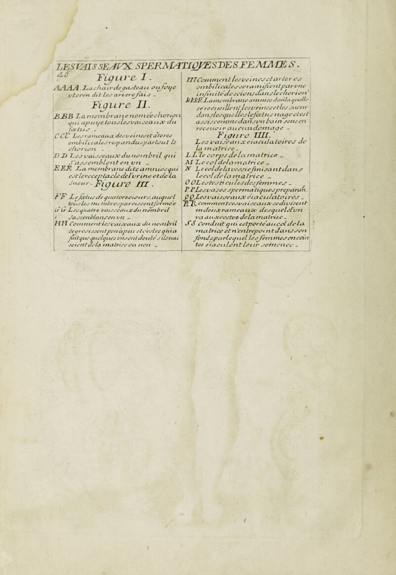 LBSimssEJVK- SFERAMT10BSiyESFi:AlAŒ S, TT', r-t , i ^ rt T rTJCotnnicixtlcsvcificJ't^ti-U'ievc^ T^Live^ I. jULÆA La chaivcie^a^'tcULi att/vifC \ (dit lej' cjlxvs , j Fi^vira II. 3£B La niembfajxexioxxieeckorioix LjLLL aj:>iii/eloiLjLejnja-LJcaiiA' lili jœLiLO- . CC L^j’rLtrtuatLO: dcj-vcmcj-etaterc.s onibilLcalej- ras^aixdujjjat'tviit le L'/ioriatx - 'D T> 7.CJ vuLjj-eixiiX du riombriL yitt S’asa^eni blc txten un _ '^ELZ La nicmbeanc dite anmioe<jui eet lcreceptacle del'v r ine etde ici Lieur. pipi^ire III . r I e/veine de tfiiatorz.et£>it r\r, aïK^nûl tene/ve fui xub/^spareieeent/vriiice dirLee.jl.a trt vatseeasixdii nombril ! JasectibUiiiserivn - un Ccinitientlewaiecanx dn neaih'ii Jepfvvij-.^ciitpc/iajxeti etveeteeijliia Jùitijiiv P i el<ji tes vue en tdoutc'e ils nui ectvntdelà ntalncc on non _ om bilioalcveovanii/i on tpcir vue iti/in i te lie eeioiijdunelec/iorioi / IchUk L a niontbt luie a ni nioe don lu ij/idlr se re et tei Un il losvrn loeetleo oi toi i r diinslceiincllrj-le/ccl nsi tape oies t asstseoniiuedansun bain sens eu receiioI r ail Cliiidenxage _ tipin'i^ LUI.  L es uaijeai IX eiaeiilulvii'es de la m a h'i ee . LL le COrps de la m atvice ^ Ai Le COldelaino-tri ce _ N Le col delà vessi ejiii isa ntdans Leroi de la m ali'ic e _ 0 OLeoteotioitlesdcojimmex - V l'Lejua'ses spertria tiifiiesprcpamn. ^Ç/LesvaisoeaitxéiaciilatOLrej _ /J 2i. coimnenteeavaiseanOcsediuisciit- endetixraniecitiOo dcstjiielsL’uiz l'a aiixcostc/2.dela matrice _ if S Conduit (jm estparte'aiicol delà, maIrice etn. ’entrepen n tdaiisson /ondspartcijiieL lesdèiimiexenccin tes eiaenLen.tleur eohteneo -