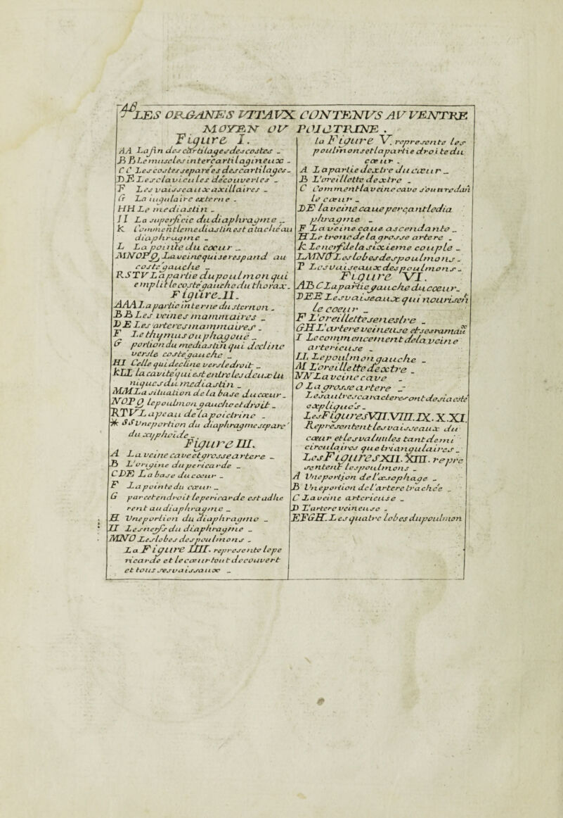 Z£S OBJ^ANES VTTAVK. CONTRlsTES AVVEETTEB ElOYES- ülA nuaTFJDsTE . Yiqiirù I. /iA L.ajxn de^citrtHa^ej-clejcojt&s _ Pi fiLciiitucLej'tntercartila^ineuoc - rC Le^cortexjepare'esde^cartila^cs- PP laPj-ciauiciiles de'cotiverles _ 7^ Lex vct-ixxcaitJcaxiLlaïres ~ Cr 'La ntLftila 'ive externe . HH Le mediusliti _ Il L a xupc^cie dudiaptu'ai/ttie _ le CanuncritictticdiiXslin est a tac/te au dictp/iru^tnc _ L Lc^oottitetiu coeur ^ AINLu veinequijé respand au caste'^atacJie - PSTltLapaHtedupouLmou qui e tnpli t lecoste^auehedii tliorax. F i^ure.U. ■ÆAA.l>a pcu'lîc interne du jtcrnotx ^ PP Le J veuiej itiamniaircs L) F Les artèresmairntiaireJ' _ -F Le thqniusouphu^otie „ d portion du niediastiii qu i dûclil te oerj/e coste'^asichc _ H1 delle ejUL décliné versledroit' _ kjjL idca.vLte'quLesteuLt'cLejdcujclj,i niques du inediastiii _ M3£La siluuLion de la base du coeur. NOF^ Lcpoidnioitpaj-udiccLdroijt _ 'R.TF'L apeau de/apotclniio _ ^ '^‘^tinefjortion du diap/irapnicsepare' du xijphoïde - Figure III. A T * St ■uavcinecaveetaresseartere _ By t • / . X. UKijpLne aupericat'ue _ CLJÎj L a baj-e du coeur _ F La pointe du ccctit'^ G parcetendi'oitlepertrarde cstudhc rent au diup/traynic _ JS. Unepprlion du diapliraqiiie _ LJ Lesne^sdu dljxphraptiie _ NJALOLeslobesdûspoiiltnons _ La.Fi^Llt'E IXH. representeIcpe ricarde et le cou ttr tout découvert et tous ses va i ssa ux _ Lui LdtlVP représenté les pouliriansetlaparlie droite du cceiir . A Laparlie dcjcLre dit coeur.. P L'irreiilette dextre . C dointnerxtlaveinecave s'oun-redan Le cœii /» _ LF laveiiiecauepercantledia p/u'apnta _ F Laveine cane ascendante ^ LL Le ti'oncde laprosse artere . Je Le n^^de la siocieine coup Le _ LJHLLuLûSLobesdesponlinoits . T Lcsvaisecu.ixdesponlntons^ F Lettre VJ. AP GLupaHlej^auLc/te dsLCOClir. LFFLesvdisccmjcqin itoiirisen le coeur _ F l’ei'eilletteseitcslre tsIIL ixrtere oeineitse eLsesrantàîi I Leconiinenceineirtdelaveine a rtc rieuse . LL Leponlniongaiiclte J^t L'oreLUettedeocti'e . HNLavcinc c cive O La presse ci rtere c L Csa I I h -cscdra ctei -eson tdesia esté expliques _ LesFi^urcjVn\L[n:.JX.X.XI. Fcpi'cscntent tes vaisseaux du ■ coeur etlesvaluules tarUrdenii circiilatt'cs queh'ianpulaires LesFLOUreSLÇll.yjLL. repre sentent lespoiilinons . ' A Vnepoit^ion del'ocsophape _ P Vnepoition dcl'artercIrache'e . C Laveinc artcriciise _ L L'artereveineuse . FFGSi.L CSquab'c lobesdupoulmori