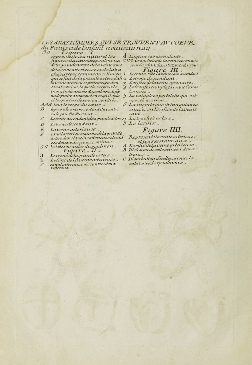 l.ESÆSrASTûALOSBS ÜVJSR TKûl^^£NTAVCOBllP^ diL Pœtiis et de le n/iifif nouLieeiLi nai/ _ S^O- Figure. F. ^ repre^axte (XutxaliLreL Le^ ci l,t3veinc eau a,^ccii Jante . JxgiLrcj'du.cceur.Jeapoulnx.on.j-, Ç PC Ln'aJirliclcj'Jclavcinecproiaxifc delà.^r'unJearter'c.delu veinecave. j-criic'ej'dLinalajiibj-tanceJiicaMf dclaueimarterieua-e ecde txb'a FlüII VC m. ciieeixeeef'C,COinnteaiiPL LiLutoti X Lclfpnc die lavcinccave ajccndant ait t refait Jeta grixnJû artereJah % Xchonc Jcvcenda/it . (aueineartenctise partcmcifcn J'vn ^ JL’ori/iccJcla.ucine cvvattuivc. canaldftpriatv.laptc/levcrtpaiiflLX ^ Leli'Oiilûi'tanLpLctcitCLintl’cuicu ' iTampiradenelainp cénpotttirtvn dttjce to'tiacc . titsjepinb'carnancfttûenceijti'ilapLi ^ La valtiuleettpcftelcttc ijiii cat ce Icppartieerilextrcjaii ceneteee. apaaec accLwit ^ ÆÆcl tant le corps lJu cae Lit' . F Lu me ni hfutics’b'iïUigiLiuu'co'. Ji leiiranJecirtet'esai'tantJitvenlt'i siliLCCJ’Ctl lûrificedeIciVCUiC cilletfaitelteJii eaettt' - caVC _ JLeit'oncascendantJclagitindeai'tet'e.rj Lu h'uelice at'lere _ JLeh'oncdeseendunt ~ 8 Fc Leu'ulx ^ Luueine urterieiise . TLüure nn. Canalai'tci'LCii'X'piiivadelugrufteie CP 1 ai'teredanslavcineartciiriipecti'cnd Fep/cjenleluveuieuttei icii jc I ceodeitxvaij'seatix'eenltntLJ' - , û ff Icjlobeseu ailles dupoithiiûn - I Tigiire.ll. A Leit'ûtjcdelaqmndenrtere - 1) LetenedeldveinearterteitJ-e - C canal artet'teiiarvnissantlesdcnx vaiseaitx - ettanSCCduntcLLiLu: - A. L’en-^cdcla velueat lecieuce - JS FlttLsieudLcellevetueeii deua- Lt'oucj' _ C Fijbilniliûu dïccllepartaute Icx SLibstcatcedeJ'poidtttcnis -