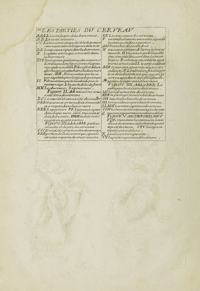 EAliriES DU CER KEyiU A/LÛ-Liccostedextre delà dure 77iere Le cpj'te'j-eriestrc _ CC Lah'oLjietne jeiiuosLte'deLadiiremere j-avanc;antjelen.LiLûn^ticiirdeLi tejte ^.ûddl^rancJiej deeecpnduit „ LL lesvaija.uxejparsdanjLadurernere. }£ vaueaiixsût'tansdelalrpiSLcmcse E Xcs/jelitcs arUrej<jui se trament dans ladureniere - ETF Sic ns sûrlancpurLcslrvus du evancet se disb’dusu is dans lep et ici 'a ne et Lapeau t nus^ule U se, ûûG.Fihi 'c^ortaelLcrt, EE Les uaLseaux cil L cervccLiL _ F vnconduitcenime vneveine sêparan lecerveau endeiixparties ^ nue site. IL Va iseai ix qui de la piah i en le sin 11 esi tcjin issent dans Les nia 11 branes .Le cemmencanenLde La. ijUa biehiestntiosileLL Lecvipscaltux JVLALSiniufsiteTjiZpurc ntesciuxce rps c^ennLjansctaLtjacliansLudurcnia'e, calletix,2d.L'endraitOLiJtnitLa.por II atiae . BH ^FibivssartansparLa su turc sapittalepourL'oiiyuieUupcricranc FLb ressei-turuparla latiidoulepourLe | niesrnevsapc L La cavité de lésduJi'Oilt .7\ltB.l‘esduerajLe. Lcpericranc ^ Figure II. B A trcisicme sitixi esite dèlcLcLii reri lei'e . jB C La CfA.viteetseixuositeelccOLiS^r LLJ) Veiise aux set -ta ns de la s ma a site etse rcspandanslupie merc ^ EFELapiemere FF. Vuiseaiixespars danslapie niere-âûû- Vaiscaiix deladi ircniei'c . BliLi LadiUY'niere '■ eoupeéeriuualieparlies . FL^Ur&ULsislAetBLL .pa vLies Senestre eteiextre ducerueciiL . C CClè rv! idsetaii/i'acli lasite z du Cd 'vca vi HLLpsrlisn de Ladltremei'e ijui scpoJvLc I cet 'uea u a iportie de xtreetseï lesh'e . tiondeladiiremere qui séparé Le J ce rue a mendeux etcjutfàitlédnncille . âVportion delàpie merestilure inere F LJ Lire Iin.BA/lptBBB.La yaitieyaucheetdexlredu eci'oeau . JXDLesanfracluûsilez. du cerveau . EEE La pai'licpriseoucendi'cedu ceivcau GJL lapavticpliisblanclie du ceix’eau - JU.leccnpscalleiia'separe'JavccLccei'vca11 . LLJVIA lUsvenh-es siipci'ieiirsdncctx'cau O OLP Ic.rdlorpide etl esva iseauxp lise ho l'oide Qj vaisc aux auivontalanicnibvane déliée FlJUre.\^.ABCLEFt?HJL2VmÛ F^F. ilxonsLventlesveulricules, Icsvai seaux du cerveau,Leplischct'oidcpuont déjà cstédescLa i ee. S Tld le cotps voit te'poitesurirûlspiliers _ X La cl ci son ivanspuventc - 'SFCl.apavhesupertciivcdelà cloison -