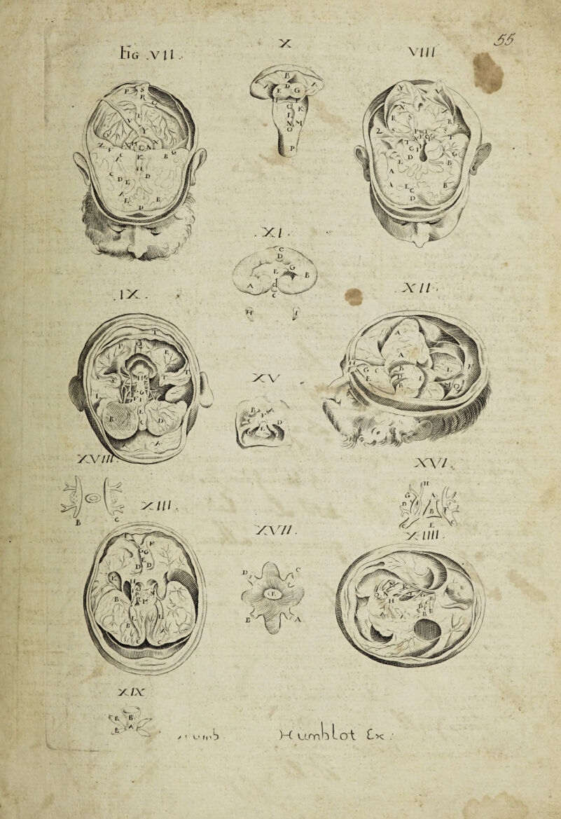 x/x y (I' d Lirnh Loi ;